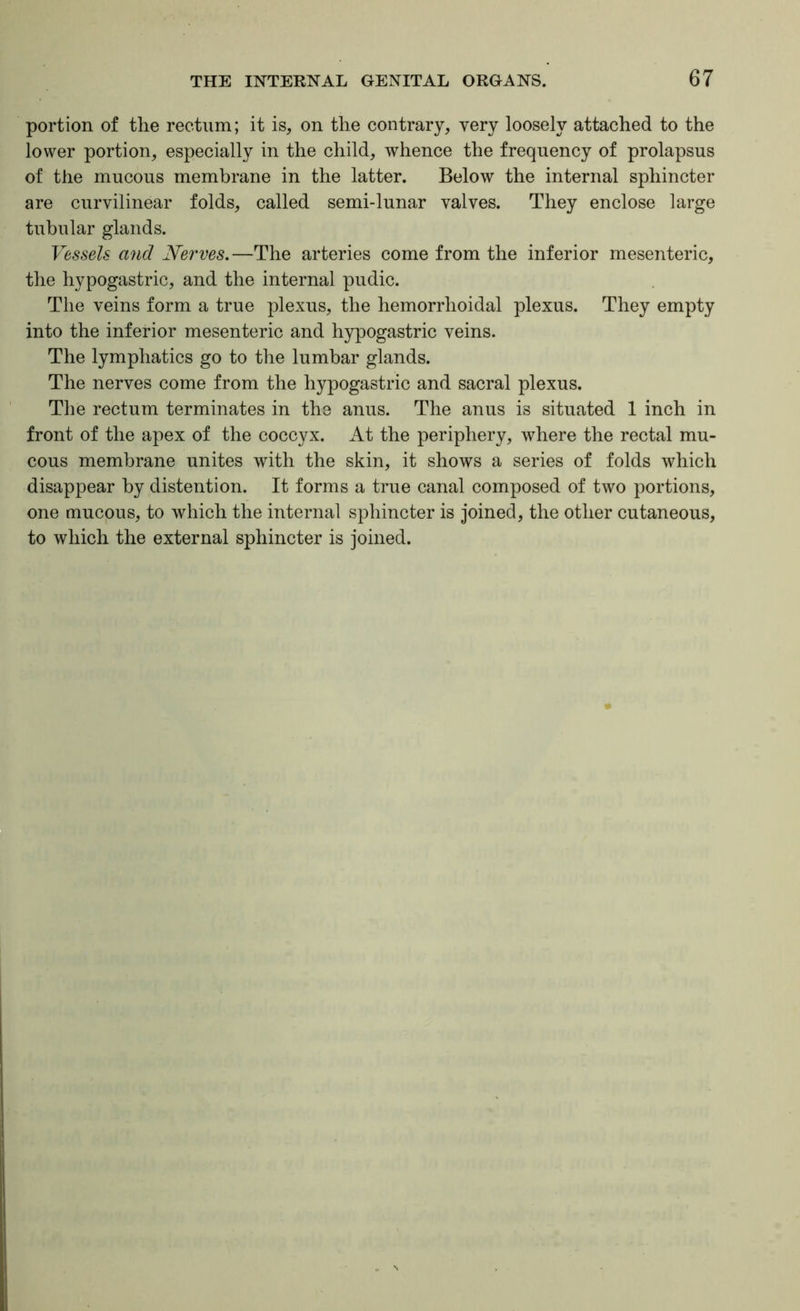 portion of the rectum; it is, on the contrary, very loosely attached to the lower portion, especially in the child, whence the frequency of prolapsus of the mucous membrane in the latter. Below the internal sphincter are curvilinear folds, called semi-lunar valves. They enclose large tubular glands. Vessels and Nerves.—The arteries come from the inferior mesenteric, the hypogastric, and the internal pudic. The veins form a true plexus, the hemorrhoidal plexus. They empty into the inferior mesenteric and hypogastric veins. The lymphatics go to the lumbar glands. The nerves come from the hypogastric and sacral plexus. The rectum terminates in the anus. The anus is situated 1 inch in front of the apex of the coccyx. At the periphery, where the rectal mu- cous membrane unites with the skin, it shows a series of folds which disappear by distention. It forms a time canal composed of two portions, one mucous, to which the internal sphincter is joined, the other cutaneous, to which the external sphincter is joined.