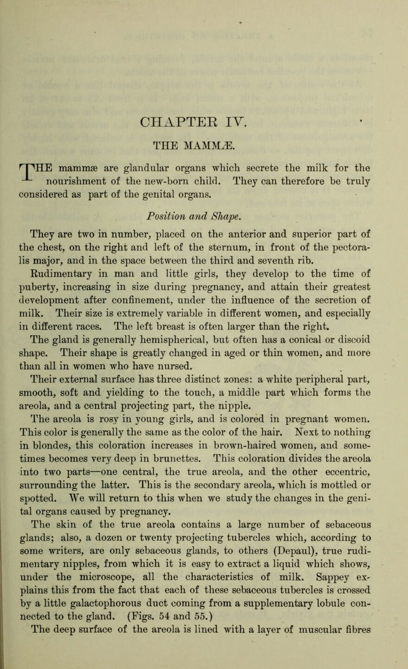 CHAPTEE IT. THE MAMM^. HE mammae are glandular organs which secrete the milk for the nourishment of the new-born child. They can therefore be truly considered as part of the genital organs. They are two in number, placed on the anterior and superior part of the chest, on the right and left of the sternum, in front of the pectora- lis major, and in the space between the third and seventh rib. Rudimentary in man and little girls, they develop to the time of puberty, increasing in size during pregnancy, and attain their greatest development after confinement, under the influence of the secretion of milk. Their size is extremely variable in ditferent women, and especially in different races. The left breast is often larger than the right. The gland is generally hemispherical, but often has a conical or discoid shape. Their shape is greatly changed in aged or thin women, and more than all in women who have nursed. Their external surface has three distinct zones: a white peripheral part, smooth, soft and yielding to the touch, a middle part which forms the areola, and a central projecting part, the nipple. The areola is rosy in young girls, and is colored in pregnant women. This color is generally the same as the color of the hair. Next to nothing in blondes, this coloration increases in brown-haired women, and some- times becomes very deep in brunettes. This coloration divides the areola into two parts—one central, the true areola, and the other eccentric, surrounding the latter. This is the secondary areola, which is mottled or spotted. We will return to this when we study the changes in the geni- tal organs caused by pregnancy. The skin of the true areola contains a large number of sebaceous glands; also, a dozen or twenty projecting tubercles which, according to some writers, are only sebaceous glands, to others (Depaul), true rudi- mentary nipples, from which it is easy to extract a liquid which shows, under the microscope, all the characteristics of milk. Sappey ex- plains this from the fact that each of these sebaceous tubercles is crossed by a little galactophorous duct coming from a supplementary lobule con- nected to the gland. (Eigs. 54 and 55.) The deep surface of the areola is lined with a layer of muscular fibres Position and Shape.