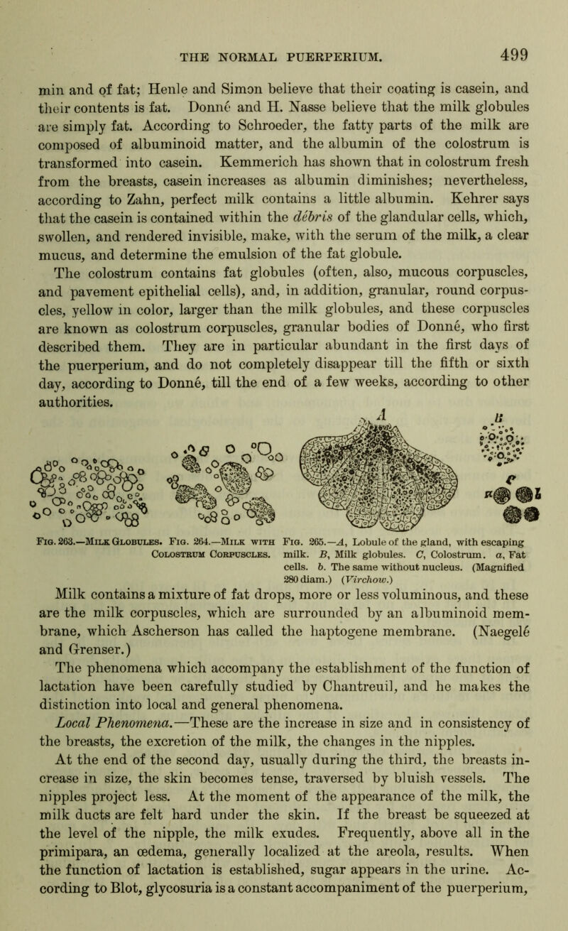 min and of fat; Henle and Simon believe that their coating is casein, and tlieir contents is fat. Donne and H. Nasse believe that the milk globules are simply fat. According to Schroeder, the fatty parts of the milk are composed of albuminoid matter, and the albumin of the colostrum is transformed into casein. Kemmerich has shown that in colostrum fresh from the breasts, casein increases as albumin diminishes; nevertheless, according to Zahn, perfect milk contains a little albumin. Kehrer says that the casein is contained within the dehris of the glandular cells, which, swollen, and rendered invisible, make, with the serum of the milk, a clear mucus, and determine the emulsion of the fat globule. The colostrum contains fat globules (often, also, mucous corpuscles, and pavement epithelial cells), and, in addition, granular, round corpus- cles, yellow in color, larger than the milk globules, and these corpuscles are known as colostrum corpuscles, granular bodies of Donne, who first described them. They are in particular abundant in the first days of the puerperium, and do not completely disappear till the fifth or sixth day, according to Donne, till the end of a few weeks, according to other authorities. Fig. 263.—Milk Globules. Fig. 264.—Milk with Fig. 265.-4, Lobule of the gland, with escaping Colostrum Corpuscles, milk. Milk globules. C, Colostrum, a, Fat cells. 6. The same without nucleus. (Magnified 280diam.) {Virchow.) Milk contains a mixture of fat drops, more or less voluminous, and these are the milk corpuscles, which are surrounded by an albuminoid mem- brane, which Ascherson has called the haptogene membrane. (Naegele and Grenser.) The phenomena which accompany the establishment of the function of lactation have been carefully studied by Chantreuil, and he makes the distinction into local and general phenomena. Local Phenomena.—These are the increase in size and in consistency of the breasts, the excretion of the milk, the changes in the nipples. At the end of the second day, usually during the third, the breasts in- crease in size, the skin becomes tense, traversed by bluish vessels. The nipples project less. At the moment of the appearance of the milk, the milk ducts are felt hard under the skin. If the breast be squeezed at the level of the nipple, the milk exudes. Frequently, above all in the primipara, an oedema, generally localized at the areola, results. When the function of lactation is established, sugar appears in the urine. Ac- cording to Blot, glycosuria is a constant accompaniment of the puerperium.