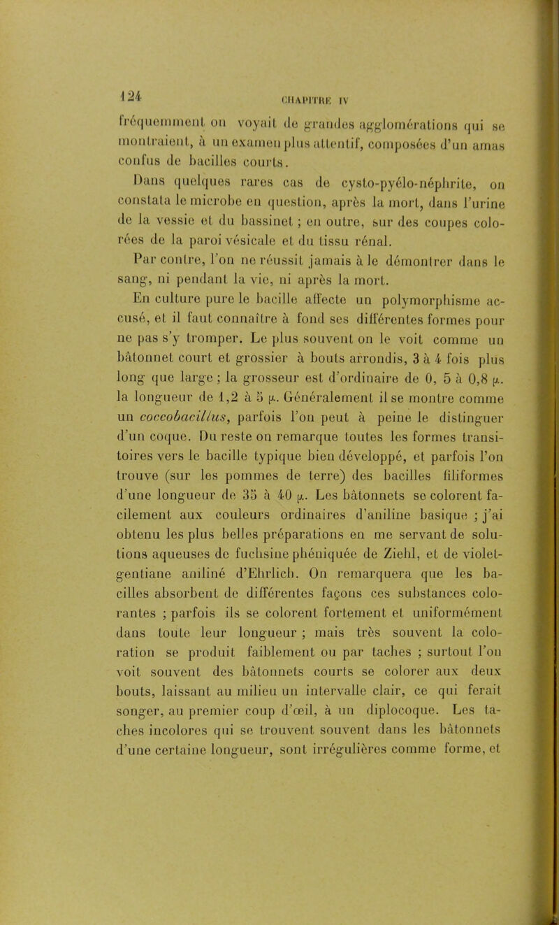 trcr|nomment on voyaiL do grandes agglomérations qui so montraient, a un examen plus attentif, composées d’un amas confus de bacilles courts. Dans quelques rares cas de cysto-pyélo-néphrite, on constata le microbe en question, après la mort, dans l’urine de la vessie et du bassinet ; en outre, sur des coupes colo- rées de la paroi vésicale et du tissu rénal. Par contre, l’on ne réussit jamais à le démontrer dans le sang, ni pendant la vie, ni après la mort. En culture pure le bacille affecte un polymorphisme ac- cusé, et il faut connaître à fond ses différentes formes pour ne pas s’y tromper. Le plus souvent on le voit comme un bâtonnet court et grossier à bouts arrondis, 3 à 4 fois plus long que large ; la grosseur est d’ordinaire de 0, 5 à 0,8 g. la longueur de 1,2 à 5 g. Généralement il se montre comme un coccobacilius, parfois l’on peut à peine le distinguer d’un coque. Du reste on remarque toutes les formes transi- toires vers le bacille typique bien développé, et parfois l’on trouve (sur les pommes de terre) des bacilles filiformes d’une longueur de 3o à 40 g. Les bâtonnets so colorent fa- cilement aux couleurs ordinaires d’aniline basique ; j’ai obtenu les plus belles préparations en me servant de solu- tions aqueuses de fuchsine phéniquéc de Ziehl, et de violet- gentiane aniliné d’Ehrlich. On remarquera que les ba- cilles absorbent de différentes façons ces substances colo- rantes ; parfois ils se colorent fortement et uniformément dans toute leur longueur ; mais très souvent la colo- ration se produit faiblement ou par taches ; surtout l’on voit souvent des bâtonnets courts se colorer aux deux bouts, laissant au milieu un intervalle clair, ce qui ferait songer, au premier coup d’œil, à un diplocoque. Les ta- ches incolores qui se trouvent souvent dans les bâtonnets d’une certaine longueur, sont irrégulières comme forme, et