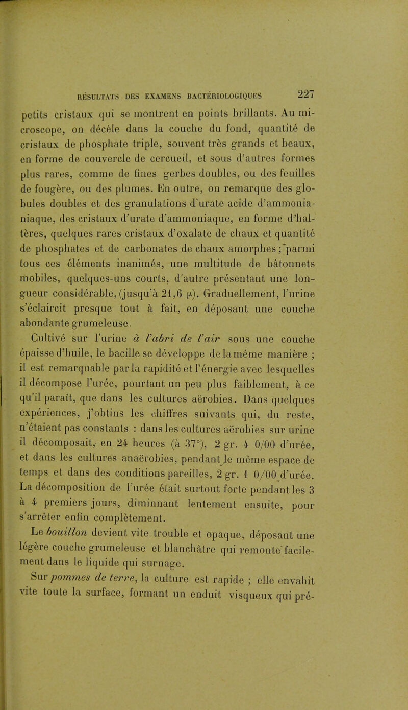 petits cristaux qui se montrent en points brillants. Au mi- croscope, on décèle dans la couche du fond, quantité de cristaux de phosphate triple, souvent très grands et beaux, en forme de couvercle de cercueil, et sous d’autres formes plus rares, comme de fines gerbes doubles, ou des feuilles de fougère, ou des plumes. En outre, on remarque des glo- bules doubles et des granulations d’urate acide d’ammonia- niaque, des cristaux d’urate d’ammoniaque, en forme d’hal- tères, quelques rares cristaux d’oxalate de chaux et quantité de phosphates et de carbonates de chaux amorphes /parmi tous ces éléments inanimés, une multitude de bâtonnets mobiles, quelques-uns courts, d’autre présentant une lon- gueur considérable, (jusqu’à 21,6 g). Graduellement, l’urine s’éclaircit presque tout à fait, en déposant une couche abondante grumeleuse. Cultivé sur l’urine à l'abri de l’air sous une couche épaisse d’huile, le bacille se développe de la même manière ; il est remarquable parla rapidité et l’énergie avec lesquelles il décompose l’urée, pourtant un peu plus faiblement, à ce qu’il paraît, que dans les cultures aérobies. Dans quelques expériences, j’obtins les chiffres suivants qui, du reste, n’étaient pas constants : dans les cultures aérobies sur urine il décomposait, en 24 heures (à 37°), 2 gr. 4 0/00 d’urée, et dans les cultures anaérobies, pendant le même espace de temps et dans des conditions pareilles, 2 gr. 1 0/00 d’urée. La décomposition de l’urée était surtout forte pendant les 3 à 4 premiers jours, diminuant lentement ensuite, pour s’arrêter enfin complètement. Le bouillon devient vite trouble et opaque, déposant une légère couche grumeleuse et blanchâtre qui remonte'facile- ment dans le liquide qui surnage. Sur pommes de terre, la culture est rapide ; elle envahit vite toute la surface, formant un enduit visqueux qui pré-