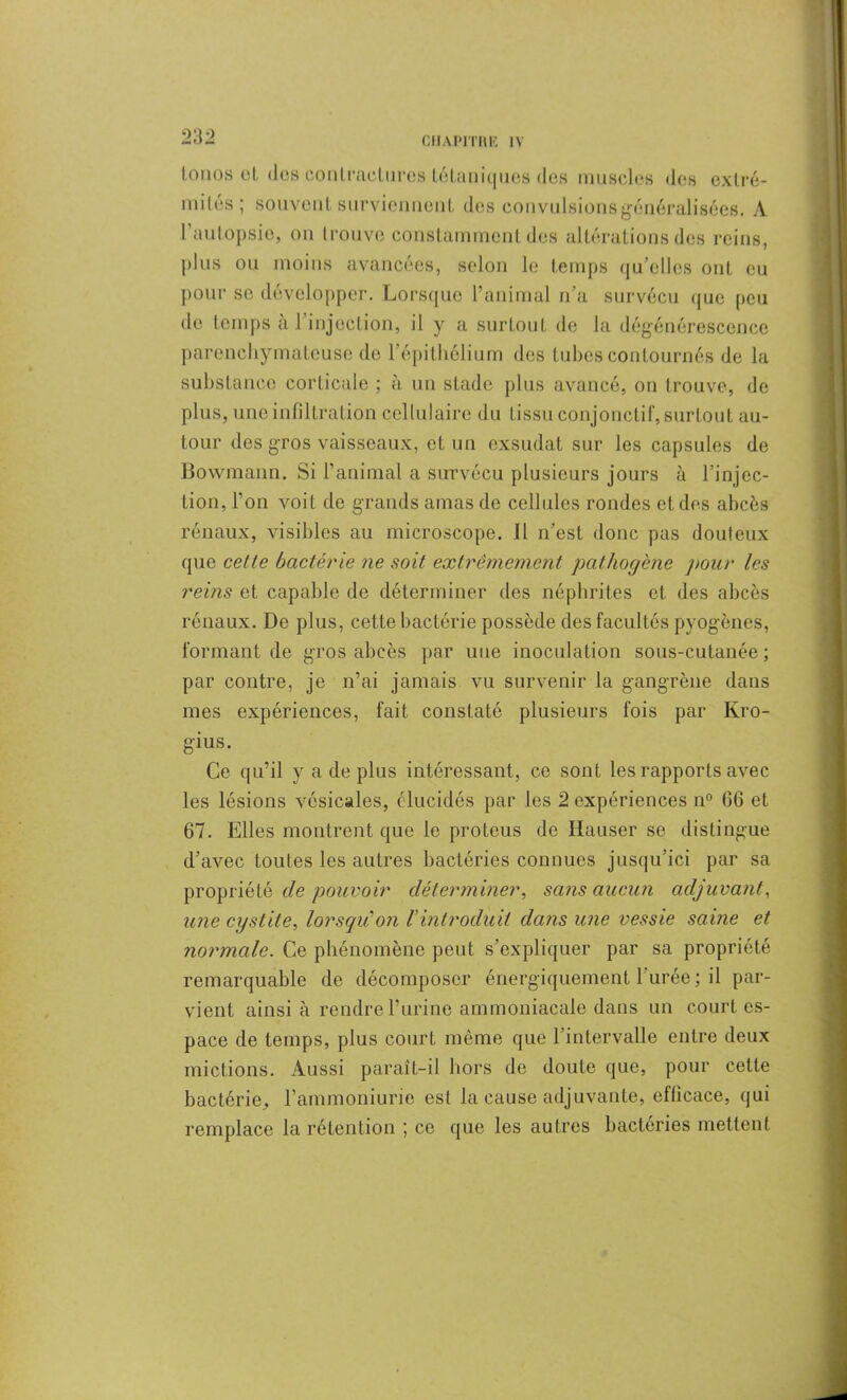tonos et des contractures tétaniques dos muscles des extré- mités; souvent surviennent, des convulsions généralisées. A 1 autopsie, on trouve constamment des altérations des reins, plus ou moins avancées, selon le temps qu’elles ont eu pour se développer. Lorsque l’animal n’a survécu que peu de temps al injection, il y a surtout de la dégénérescence parenchymateuse de l’épithélium des tubes contournés de la substance corticale ; à un stade plus avancé, on trouve, de plus, une infiltration cellulaire du tissu conjonctif, surtout au- tour des gros vaisseaux, et un exsudât sur les capsules de Bowmann. Si l’animal a survécu plusieurs jours à l’injec- tion, l’on voit de grands amas de cellules rondes et des abcès rénaux, visibles au microscope. Il n’est donc pas douteux que celte bactérie ne soit extrêmement pathogène pour les rems et capable de déterminer des néphrites et des abcès rénaux. De plus, cette bactérie possède des facultés pyogènes, formant de gros abcès par une inoculation sous-cutanée; par contre, je n’ai jamais vu survenir la gangrène dans mes expériences, fait constaté plusieurs fois par Kro- gius. Ce qu’il y a de plus intéressant, ce sont les rapports avec les lésions vésicales, élucidés par les 2 expériences n° 66 et 67. Elles montrent que le proteus de Hauser se distingue d’avec toutes les autres bactéries connues jusqu’ici par sa propriété de pouvoir déterminer, sans aucun adjuvant, une cystite, lorsqu'on Vintroduit dans une vessie saine et normale. Ce phénomène peut s’expliquer par sa propriété remarquable de décomposer énergiquement l’urée; il par- vient ainsi à rendre l’urine ammoniacale dans un court es- pace de temps, plus court même que l’intervalle entre deux mictions. Aussi paraît-il hors de doute que, pour cette bactérie., l’ammoniurie est la cause adjuvante, efficace, qui remplace la rétention ; ce que les autres bactéries mettent