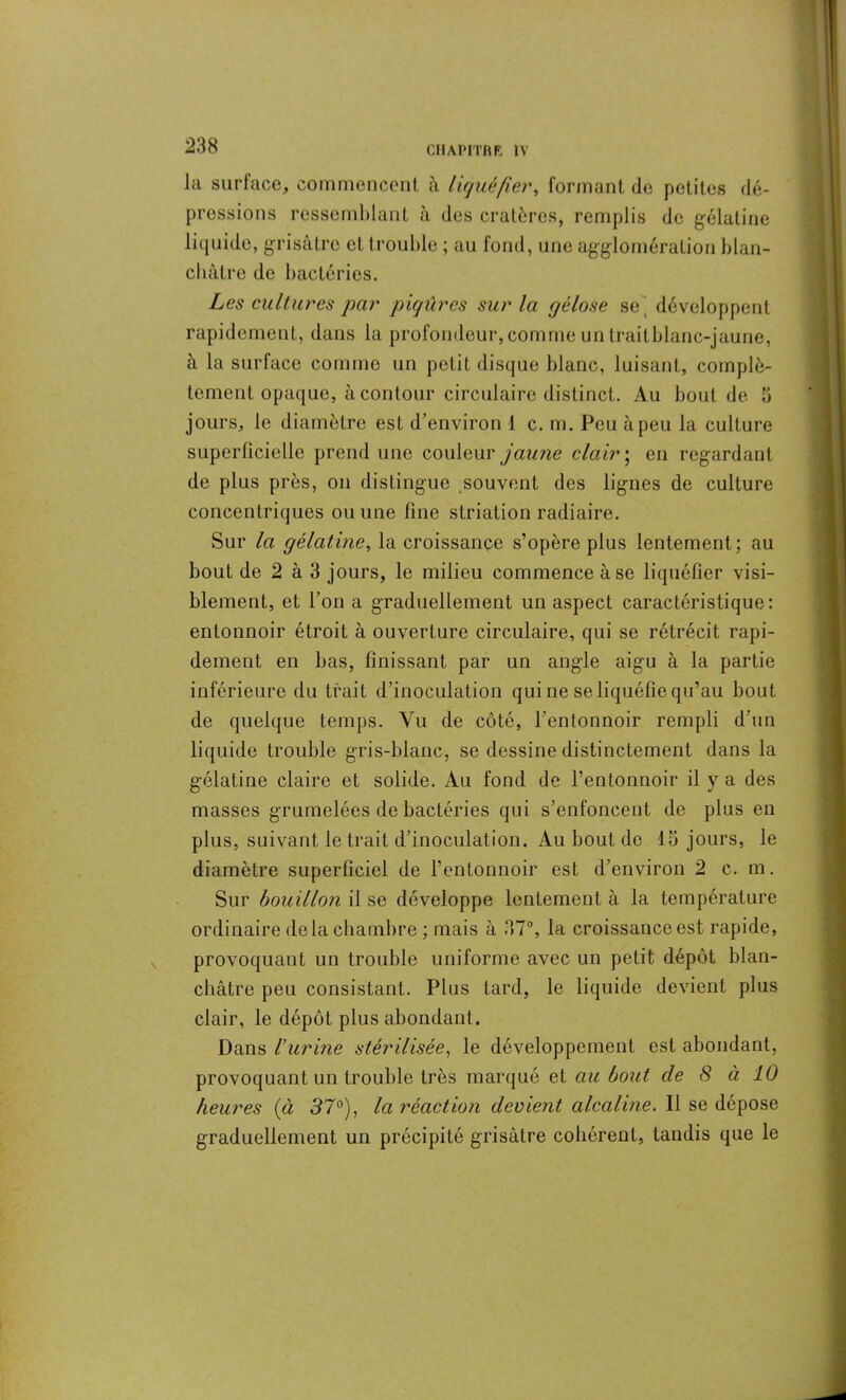 la surface, commencent à liquéfier, formant de petites dé- pressions ressemblant à des cratères, remplis de gélatine liquide, grisâtre et trouble ; au fond, une agglomération blan- châtre de bactéries. Les cultures par piqûres sur la gélose se , développent rapidement, dans la profondeur, comme un traitblanc-jaune, à la surface comme un petit disque blanc, luisant, complè- tement opaque, à contour circulaire distinct. Au bout de 3 jours, le diamètre est d’environ 1 c. m. Peu à peu la culture superficielle prend une couleur jaune clair ; en regardant de plus près, ou distingue souvent des lignes de culture concentriques ou une fine striation radiaire. Sur la gélatine, la croissance s’opère plus lentement; au bout de 2 à 3 jours, le milieu commence à se liquéfier visi- blement, et l’on a graduellement un aspect caractéristique: entonnoir étroit à ouverture circulaire, qui se rétrécit rapi- dement en bas, finissant par un angle aigu à la partie inférieure du trait d’inoculation qui ne se liquéfie qu’au bout de quelque temps. Vu de côté, l’entonnoir rempli d'un liquide trouble gris-blanc, se dessine distinctement dans la gélatine claire et solide. Au fond de l’entonnoir il y a des masses grumelées de bactéries qui s’enfoncent de plus en plus, suivant le trait d’inoculation. Au bout de 13 jours, le diamètre superficiel de l’entonnoir est d’environ 2 c. m. Sur bouillon il se développe lentement à la température ordinaire de la chambre ; mais à 37°, la croissance est rapide, provoquant un trouble uniforme avec un petit dépôt blan- châtre peu consistant. Plus tard, le liquide devient plus clair, le dépôt plus abondant. Dans l’urine stérilisée, le développement est abondant, provoquant un trouble très marqué et au bout de 8 à 10 heures (à 37°), la réaction devient alcaline. Il se dépose graduellement un précipité grisâtre cohérent, tandis que le