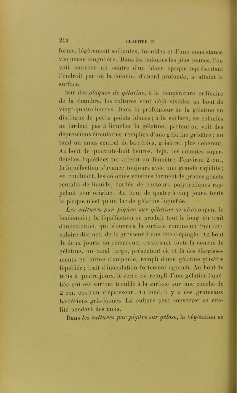 tonne, légèrement saillantes, humides et d’une consistance visqueuse singulière. Dans les colonies les plus jeunes, l’on voit souvent un centre d’un blanc opaque représentant 1 endroit par où la colonie, d’abord profonde, a atteint la surface. Sur des plaques de gélatine, à la température ordinaire de la chambre, les cultures sont déjà visibles au bout de vingt-quatre heures. Dans la profondeur de la gélatine on distingue de petits points blancs; à la surface, les colonies ne tardent pas à liquéfier la gélatine; partout on voit des dépressions circulaires remplies d’une gélatine grisâtre; au fond un amas central de bactéries, grisâtre, plus cohérent. Au bout de quarante-huit heures, déjà, les colonies super- ficielles liquéfiées ont atteint un diamètre d’environ 2 cm., la liquéfaction s’avance toujours avec une grande rapidité; en confluant, les colonies voisines forment de grands godets remplis de liquide, bordés de contours polycycliques rap- pelant leur origine. Au bout de quatre à cinq jours, toute la plaque n’est qu’un lac de gélatine liquéfiée. Les cultures par piqûre sur gélatine se développent le lendemain; la liquéfaction se produit tout le long du trait d’inoculation, qui s'ouvre à la surface comme un trou cir- culaire distinct, de la grosseur d’une tète d’épingle. Au bout de deux jours*, on remarque, traversant toute la couche de gélatine, un canal large, présentant çà et là des élargisse- ments en forme d’ampoule, rempli d’une gélatine grisâtre liquéfiée; trait d’inoculation fortement agrandi. Au bout de trois à quatre jours, le verre est rempli d’une gélatine liqué- fiée qui est surtout trouble à la surface sur une couche de 2 cm. environ d’cpaisseur. Au fond, il y a des grumeaux bactériens gris-jaunes. La culture peut conserver sa vita- lité pendant des mois. Dans les cultures par piqûre sur gélose, la végétation se