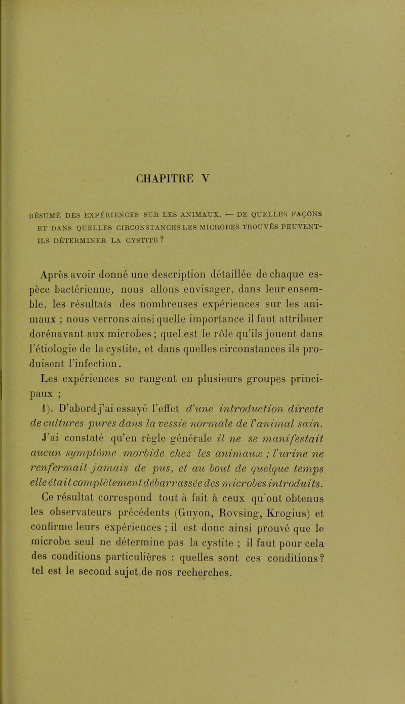 RÉSUMÉ DES EXPÉRIENCES SUR LES ANIMAUX. — DE QUELLES FAÇONS ET DANS QUELLES CIRCONSTANCES LES MICRORES TROUVÉS PEUVENT- ILS DÉTERMINER LA CYSTITE? Après avoir donné une description détaillée de chaque es- pèce bactérienne, nous allons envisager, dans leur ensem- ble. les résultats des nombreuses expériences sur les ani- maux ; nous verrons ainsi quelle importance il faut attribuer dorénavant aux microbes ; quel est le rôle qu’ils jouent dans l’étiologie de la cystite, et dans quelles circonstances ils pro- duisent l’infection. Les expériences se rangent en plusieurs groupes princi- paux ; 1). D’abordj’ai essayé l’effet d’une introduction directe de cultures pures dans la vessie normale de Vanimal sain. J’ai constaté qu’en règle générale il ne se manifestait aucun symptôme morbide chez les animaux ; l'urine ne renfermait jamais de pus, et au bout de quelque temps elle était complètement débarrassée des microbes introduits. Ce résultat correspond tout à fait à ceux qu'ont, obtenus les observateurs précédents (Guyon, Rovsing, Krogius) et confirme leurs expériences ; il est donc ainsi prouvé que le microba seul ne détermine pas la cystite ; il faut pour cela des conditions particulières : quelles sont ces conditions? tel est le second sujet de nos recherches.