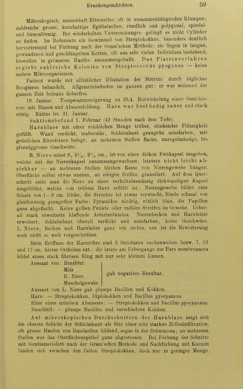 Mikroskopisch, massenhaft Eiterzellen, oft in zusammenhängenden Klumpen; zahlreiche grosse, kernhaltige Epithelzellen, rundlich und polygonal, spindel- und birnenförmig. Bei wiederholten Untersuchungen gelingt es nicht Cylinder zu finden. Im Bodensatz ein Gewimmel von Streptokokken, besonders deutlich liervortretcnd bei Färbung nach der Gram'schen Methode; sie liegen in langen, gewundenen und geschlängelten Ketten, oft aus sehr vielen Individuen bestehend, bisweilen in grösseren Haufen zusammengeballt. Pas Plattenverfahren ergiebt zahlreiche Kolonien von Streptococcus pyogenes — keine andere Mikroorganismen. Patient wurde mit allmälicher Dilatation der Strictur durch tägliches Bollgieren behandelt. Allgemeinbefinden im ganzen gut; er war während der ganzen Zeit beinahe fieberfrei. 19. Januar. Temperatursteigerung zu 39,4, Entwickelung einer Gesichts- rose mit Blasen und Abscessbildung. Harn war beständig sauer und stark eitrig. Exitus let. 31. Januar. Sektionsbefund 1. Februar (42 Stunden nach dem Tode). Harnblase mit einer reichlichen Menge trüher, stinkender Flüssigkeit gefüllt. Wand verdickt, trabeculär, Schleimhaut graugrün missfarben, mit grünlichen Eiterfetzen belegt; an mehreren Stellen flache, unregelmässige, bis pfenniggrosse Geschwüre. R. Niere misst 8, ö'/z, cm., ist von einer dicken Fettkapsel umgeben, welche mit der Nierenkapsel zusammengewachsen; letztere nicht leicht ab- ziehbar — an mehreren Stellen bleiben Reste von Nierengewebe hängen. Oberfläche selbst etwas uneben, an einigen Stellen granuliert. Auf dem Quer- schnitt sieht man die Niere zu einer verhältnissmässig dickwandigen Kapsel umgebildet, welche von trübem Harn erfüllt ist; Nierengewebe bildet eine Schale von 1—2 cm. Dicke; die Structur ist etwas verwischt, Rinde schmal von gleichmässig graugelber Farhe; Pyramiden niedrig, rötlich blau, die Papillen ganz abgeflacht. Keine gelben Punkte oder radiäre Streifen im Gewebe. Ueber- au stark erweiterte klaffende Arterienlumina. Nierenhecken und Harnleiter erweitert, Schleimhaut überall verdickt und missfarben, keine Geschwüre. L. Niere, Becken und Harnleiter ganz wie rechts, nur ist die Erweiterung noch nicht so weit vorgeschritten. Beim Eröffnen der Harnröhre sind 3 Stricturen nachzuweisen hezw. 7, 12 und 17 cm. hinter Orificium ext.; die letzte am Uehergange zur Pars merabranacea bildet einen stark fibrösen Ring mit nur sehr kleinen Lumen. Aussaat von: Herzblut Aussaat von L. Niere gab plumpe Bacillen und Kokken. Harn: — Streptokokken, Diplokokken und Bacillus pyocyaneus. Eiter eines urinösen Ab.scesses: — Streptokokken und Bacillus pyocyaneus. Bauchfell: — plumpe Bacillen und verschiedene Kokken. Auf mikroskopischen Durchschnitten der Harnblase zeigt sich die oberste Schicht der Schleimhaut als Sitz einer sehr starken Zelleninfiltration, oft grosse Haufen von Rundzellen bildend, sogar in der Submucosa; an mehreren Stellen war das Oberflächenepithel ganz abgestossen. Bei Färbung der Schnitte mit Gentianaviolett nach der Gram'schen Methode und Nachfärbung mit Kannin fanden sich zwischen den Zellen Streptokokken, doch nur in geringer Menge. Milz R. Niere Muschelgewehe gab negatives Resultat.