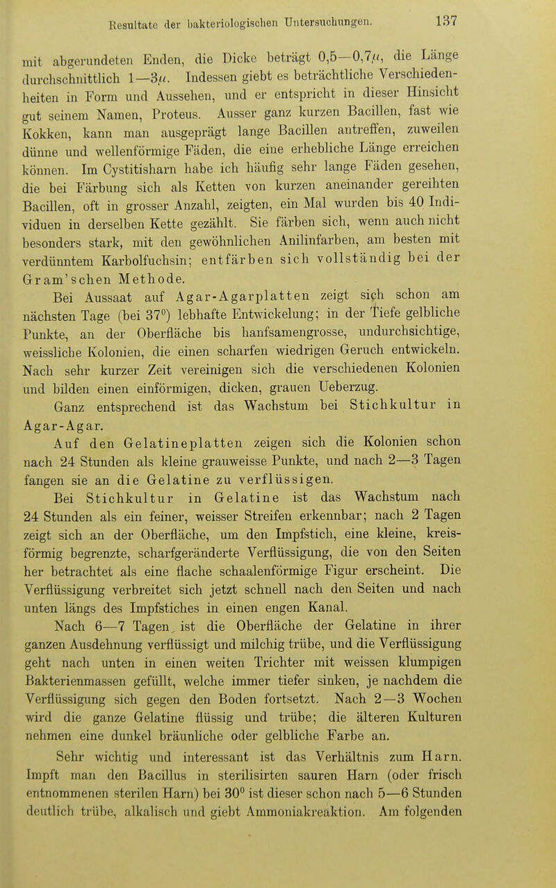 mit abgerundeten Enden, die Dicke beträgt 0,5-0,7/^, die Länge durchschnittlich 1—3,«. Indessen giebt es beträchtliche Verschieden- heiten in Form und Aussehen, und er entspricht in dieser Hinsicht gut seinem Namen, Proteus. Ausser ganz kurzen Bacillen, fast wie Kokken, kann man ausgeprägt lange Bacillen antreffen, zuweilen dünne und wellenförmige Fäden, die eine erhebliche Länge erreichen können. Im Cystitisharn habe ich häufig sehr lange Fäden gesehen, die bei Färbung sich als Ketten von kurzen aneinander gereihten Bacillen, oft in grosser Anzahl, zeigten, ein Mal wurden bis 40 Indi- viduen in derselben Kette gezählt. Sie färben sich, wenn auch nicht besonders stark, mit den gewöhnlichen Anilinfarben, am besten mit verdünntem Karbolfuchsin; entfärben sich vollständig bei der Gram'schen Methode. Bei Aussaat auf Agar-Agarplatten zeigt sich schon am nächsten Tage (bei 37) lebhafte Entwickelung; in der Tiefe gelbliche Punkte, an der Oberfläche bis hanfsamengrosse, undurchsichtige, weissliche Kolonien, die einen scharfen wiedrigen Geruch entwickeln. Nach sehr kurzer Zeit vereinigen sich die verschiedenen Kolonien und bilden einen einförmigen, dicken, grauen Ueberzug. Ganz entsprechend ist das Wachstum bei Stichkultur in Agar-Agar. Auf den Gelatineplatten zeigen sich die Kolonien schon nach 24 Stunden als kleine grauweisse Punkte, und nach 2—3 Tagen fangen sie an die Gelatine zu verflüssigen. Bei Stichkultur in Gelatine ist das Wachstum nach 24 Stunden als ein feiner, weisser Streifen erkennbar; nach 2 Tagen zeigt sich an der Oberfläche, um den Impfstich, eine kleine, kreis- förmig begrenzte, scharfgeränderte Verflüssigung, die von den Seiten her betrachtet als eine flache schaalenförmige Figur erscheint. Die Verflüssigung verbreitet sich jetzt schnell nach den Seiten und nach unten längs des Impfstiches in einen engen Kanal. Nach 6—7 Tagen, ist die Oberfläche der Gelatine in ihrer ganzen Ausdehnung verflüssigt und milchig trübe, und die Verflüssigung geht nach unten in einen weiten Trichter mit weissen klumpigen Bakterienmassen gefüllt, welche immer tiefer sinken, je nachdem die Verflüssigung sich gegen den Boden fortsetzt. Nach 2—3 Wochen wird die ganze Gelatine flüssig und trübe; die älteren Kulturen nehmen eine dunkel bräunliche oder gelbliche Farbe an. Sehr wichtig und interessant ist das Verhältnis zum Harn. Impft man den Bacillus in sterilisirten sauren Harn (oder frisch entnommenen sterilen Harn) bei 30° ist dieser schon nach 5—6 Stunden deutlich trübe, alkalisch und giebt Ammoniakreaktion. Am folgenden