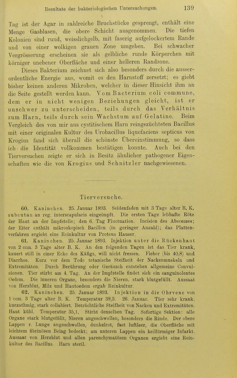 Tag ist der Agar in zalilreiche Bruchstücke gesprengt, enthält eine Menge Gasblasen, die obere Schicht ausgenommen. Die tiefen Kolonien sind rund, weisslichgelb, mit faserig aufgelockertem Rande und von einer wolkigen grauen Zone umgeben. Bei schwacher Vergrösserung erscheinen sie als gelbliche runde Körperchen mit körniger unebener Oberfläche und einer helleren Randzone. Dieses Bakterium zeichnet sich also besonders durch die ausser- ordentliche Energie aus, womit es den Harnstoff zersetzt; es giebt bisher keinen anderen Mikroben, welcher in dieser Hinsicht ihm an die Seite gestellt werden kann. VomBacterium coli commune, dem er in nicht wenigen Beziehungen gleicht, ist er unschwer zu unterscheiden, teils durch das Verhältnis zum Harn, teils durch sein Wachstum auf Gelatine. Beim Vergleich des von mir aus cystitischem Harn reingezüchteten Bacillus mit einer originalen Kultur des Urobacillus liquefaciens septicus von Krogius fand sich überall die schönste Übereinstimmung, so dass ich - die Identität vollkommen bestätigen konnte. Auch bei den Tierversuchen zeigte er sich in Besitz ähnlicher pathogener Eigen- schaften wie die von Krogius und Schnitz 1er nachgewiesenen. Tierversuche. 60. Kaninchen. 25. Januar 1893. Seidenfaden mit 3 Tage alter B. K. subcutan an reg. interscapularis eingeimpft. Die ersten Tage lebhafte Eöte der Haut an der Impfstelle; den 6. Tag Fluctuation. Incision des Abscesses; der Eiter enthält mikroskopisch Bacillen (in geringer Anzahl); das Platten- verfahren ergiebt eine Reinkultur von Proteus Hauser. 61. Kaninchen. 25. Januar 1893. Injektion unter die Rückenbaut von 2 ccm. 3 Tage alter B. K. An den folgenden Tagen ist das Tier krank, kauert still in einer Ecke des Käfigs, will nicht fressen. Fieber (bis 40,8) und Diarrhoe. Kurz vor dem Tode tetanische Steifheit der Nackenmuskeln und Extremitäten. Durch Berührung oder Geräusch entstehen allgemeine Convul- sionen. Tier stirbt am 4. Tag. An der Impfstelle findet sich ein sanguinolentes Gedern. Die inneren Organe, besonders die Nieren, stark blutgefüllt. Aussaat von Herzblut, Milz und Hautoedem ergab Reinkultur. 62. Kaninchen. 25. Januar 1893. Injektion in die Ohrvene von 1 ccm. 3 Tage alter B. K. Temperatur 39,3. 26. Januar. Tier sehr krank, kurzathmig, stark collabiert. Beträchtliche Steifheit von Nacken und Extremitäten. Haut kühl. Temperatur 35,1. Stirbt denselben Tag. Sofortige Sektion: alle Organe stark blutgefüllt, Nieren angeschwollen, besonders die Rinde. Der obere Lappen r. Lunge angeschwollen, dunkelrot, fast luftleer, die Oberfläche mit leichtem fibrinösen Belag bedeckt; am unteren Lappen ein keilförmiger Infarkt. Aussaat von Herzblut und allen parenchymatösen Organen ergiebt eine Rein- kultur des Bacillus. Harn steril.