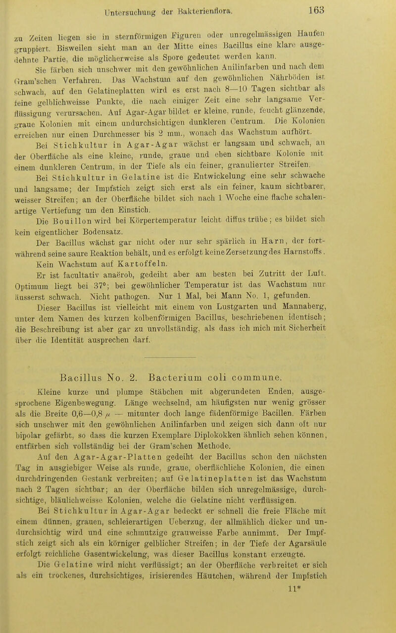 zu Zeiten liegen sie in sternförmigen Figuren oder unregelmässigen Haufen -Tuppiert. Bisweilen sieht man au der Mitte eines Bacillus eine klare ausge- ilehnte Partie, die möglicherweise als Spore gedeutet werden kann. Sie färben sich unschwer mit den gewöhnlichen Anilinfarben und nach dem (iram'schen Verfahren. Das Wachstum auf den gewöhnlichen Nährböden ist schwach, auf den Gelatineplatten wird es erst nach 8—10 Tagen sichtbar als feine gelblichweisse Punkte, die nach einiger Zeit eine sehr langsame Ver- flüssigung verursachen. Auf Agar-Agar bildet er kleine, runde, feucht glänzende, graue Kolonien mit einem undurchsichtigen dunkleren Centrum. Die Kolonien erreichen nur einen Durchmesser bis 2 mm., wonach das Wachstum aufhört. Bei Stichkultur in Agar-Agar wächst er langsam und schwach, an der OberÜäche als eine kleine, runde, graue und eben sichtbare Kolonie mit einem dunkleren Centrum, in der Tiefe als ein feiner, granulierter Streifen. Bei Stichkultur in Gelatine ist die Bntwickelung eine sehr schwache und langsame; der Impfstich zeigt sich erst als ein feiner, kaum sichtbarer, weisser Streifen; an der Oberfläche bildet sich nach 1 Woche eine flache schalen- artige Vertiefung um den Einstich. Die Bouillon wird bei Körpertemperatur leicht diffus trübe; es bildet sich kein eigentlicher Bodensatz. Der Bacillus wächst gar nicht oder nur sehr spärlich in Harn, der fort- während seine saure Reaktion behält, und es erfolgt keine Zersetzung des Harnstoffs. Kein Wachstum auf Kartoffeln. Er ist facultativ anaerob, gedeiht aber am besten bei Zutritt der Luft. Optimum liegt bei 37; bei gewöhnlicher Temperatur ist das Wachstum nur äusserst schwach. Nicht pathogen. Nur 1 Mal, bei Mann No. 1, gefunden. Dieser Bacillus ist vielleicht mit einem von Lustgarten und Mannaberg, unter dem Namen des kurzen kolbenförmigen Bacillus, beschriebenen identisch; die Beschreibung ist aber gar zu unvollständig, als dass ich mich mit Sicherheit über die Identität ansprechen darf. Bacillus No. 2. Bacterium coli commune. Kleine kurze und plimipe Stäbchen mit abgerundeten Enden, ausge- sprochene Eigenbswegung. Länge wechselnd, am häufigsten nur wenig grösser als die Breite 0,6—0,8 fi — mitunter doch lange fadenförmige Bacillen. Färben sich unschwer mit den gewöhnlichen Anilinfarben und zeigen sich dann oft nur bipolar gefärbt, so dass die kurzen Exemplare Diplokokken ähnlich sehen können, entfärben sich vollständig bei der Gram'schen Methode. Auf den Agar-Agar-Platten gedeiht der Bacillus schon den nächsten Tag in ausgiebiger Weise als runde, graue, oberflächliche Kolonien, die einen durchdringenden Gestank verbreiten; auf Gelatineplatten ist das Wachstum nach 2 Tagen sichtbar; an der Oberfläche bilden sich unregelmässige, durch- sichtige, bläulichweisse Kolonien, welche die Gelatine nicht verflüssigen. Bei Stichku Itur in Agar-Agar bedeckt er schnell die freie Fläche mit einem dünnen, grauen, schleierartigen Ueberzug, der allmählich dicker und un- durchsichtig wird und eine schmutzige grauweisse Farbe annimmt. Der Impf- stich zeigt sich als ein körniger gelblicher Streifen; in der Tiefe der Agarsäule erfolgt reichliche Gasentwickelung, was dieser Bacillus konstant erzeugte. Die Gelatine wird nicht verflüssigt; an der Oberfläche verbreitet ersieh als ein trockenes, durchsichtiges, irisierendes Häutchen, während der Impfstich 11*