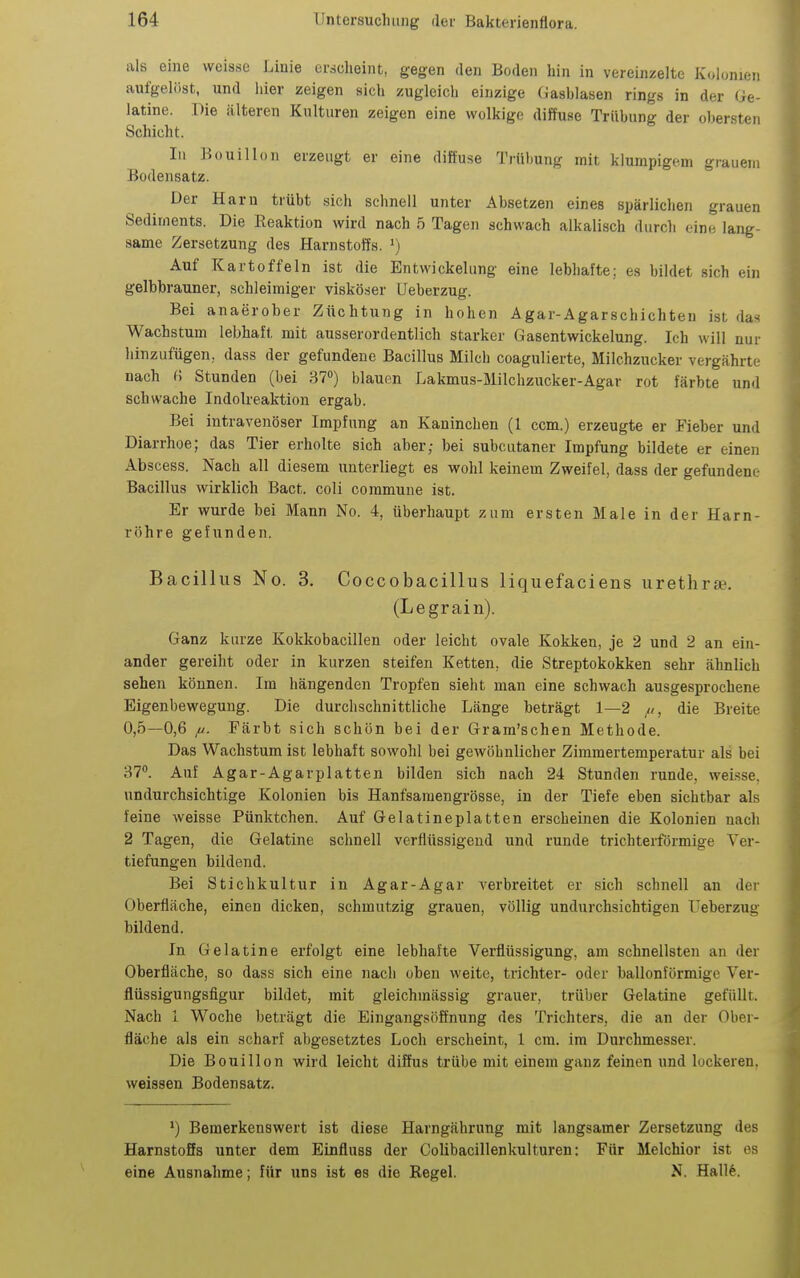 als eine weisse Linie erscheint, gegen den Boden hin in vereinzelte Kolonien aufgelöst, und hier zeigen sich zugleich einzige Gasblasen rings in der Ge- latine. Die älteren Kulturen zeigen eine wolkige diffuse Trübung der obersten Schicht. In Bouillon erzeugt er eine diffuse Trübung mit klumpigem grauem Bodensatz. Der Harn trübt sich schnell unter Absetzen eines spärlichen grauen Sediments. Die Reaktion wird nach 5 Tagen schwach alkalisch diircli eine lang- same Zersetzung des Harnstoffs. ') Auf Kartoffeln ist die Entwickelung eine lebhafte; es bildet sich ein gelbbrauner, schleimiger viskoser Ueberzug. Bei anaeroher Züchtung in hohen Agar-Agarschichten ist das Wachstum lebhaft mit ausserordentlich starker Gasentwickelung. Ich will nur hinzufügen, dass der gefundene Bacillus Milch coagulierte, Milchzucker vergährte nach () Stunden (bei 37) blauen Lakmus-Milchzucker-Agar rot färbte und schwache Indolreaktion ergab. Bei intravenöser Impfung an Kaninchen (1 com.) erzeugte er Fieber und Diarrhoe; das Tier erholte sich aber; bei subcutaner Impfung bildete er einen Abscess. Nach all diesem unterliegt es wohl keinem Zweifel, dass der gefundene Bacillus wirklich Bact. coli commune ist. Er wurde bei Mann No. 4, überhaupt zum ersten Male in der Harn- röhre gefunden. Bacillus No. 3. Coccobacillus liquefaciens urethr«. (Legrain). Ganz kurze Kokkobacillen oder leicht ovale Kokken, je 2 und 2 an ein- ander gereiht oder in kurzen steifen Ketten, die Streptokokken sehr ähnlich sehen können. Im hängenden Tropfen sieht man eine schwach ausgesprochene Eigenbewegung. Die durchschnittliche Länge beträgt 1—2 //, die Breite 0,5—0,6 fi. Färbt sich schön bei der Gram'schen Methode. Das Wachstum ist lebhaft sowohl bei gewöhnlicher Zimmertemperatur als bei 37. Auf Agar-Agar platten bilden sich nach 24 Stunden runde, weisse, undurchsichtige Kolonien bis Hanfsamengrösse, in der Tiefe eben sichtbar als feine weisse Pünktchen. Auf Gelatineplatten erscheinen die Kolonien nach 2 Tagen, die Gelatine schnell verflüssigend und runde trichterförmige Ver- tiefungen bildend. Bei Stichkultur in Agar-Agar verbreitet er sich schnell an der Oberfläche, einen dicken, schmutzig grauen, völlig undurchsichtigen Feberzug bildend. In Gelatine erfolgt eine lebhafte Verflüssigung, am schnellsten an der Oberfläche, so dass sich eine nach oben weite, trichter- oder ballonförmige Ver- flüssigungsfigur bildet, mit gleichmässig grauer, trüber Gelatine gefüllt. Nach 1 Woche beträgt die Eingangsöffnung des Trichters, die an der Ober- fläche als ein scharf abgesetztes Loch erscheint, 1 cm. im Durchmesser. Die Bouillon wird leicht diffus trübe mit einem ganz feinen und lockeren, weissen Bodensatz. Bemerkenswert ist diese Harngährung mit langsamer Zersetzung des Harnstoffs unter dem Einfluss der Colibacillenkulturen: Für Melchior ist es eine Ausnahme; für uns ist es die Regel. N. Hall6.