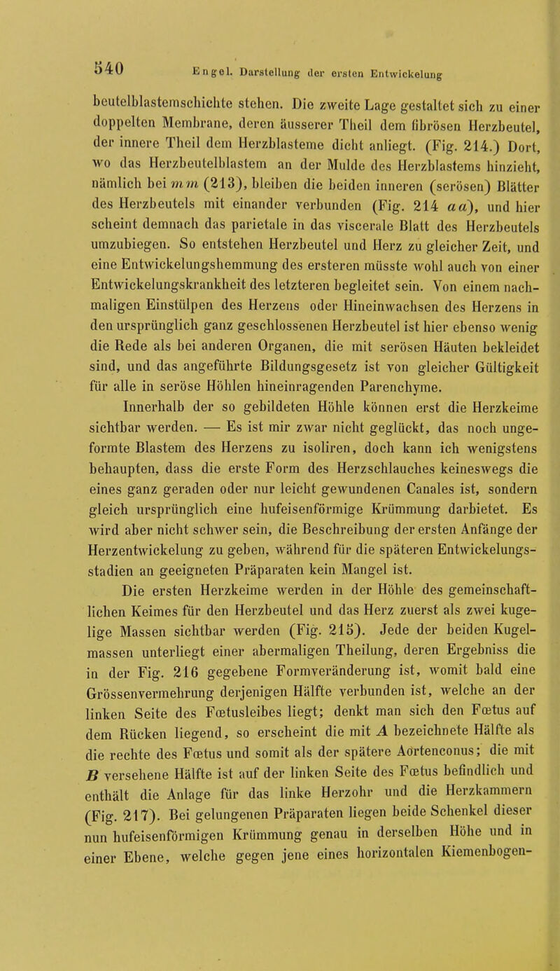 beutelblastemschichte stehen. Die zweite Lage gestaltet sich zu einer doppelten Membrane, deren äusserer Theil dem fibrösen Herzbeutel, der innere Theil dem Herzblasteme dicht anliegt. (Fig. 214.) Dort, f wo das Herzbeutelblastem an der Mulde des Herzblastems hinzieht, nämlich bei mm (213), bleiben die beiden inneren (serösen) Blätter des Herzbeutels mit einander verbunden (Fig. 214 ad), und hier scheint demnach das parietale in das viscerale Blatt des Herzbeutels umzubiegen. So entstehen Herzbeutel und Herz zu gleicher Zeit, und eine Entwickelungshemmung des ersteren müsste wohl auch von einer Entwickelungskrankheit des letzteren begleitet sein. Von einem nach- maligen Einstülpen des Herzens oder Hineinwachsen des Herzens in den ursprünglich ganz geschlossenen Herzbeutel ist hier ebenso wenig die Rede als bei anderen Organen, die mit serösen Häuten bekleidet sind, und das angeführte Bildungsgesetz ist von gleicher Gültigkeit für alle in seröse Höhlen hineinragenden Parenchyrae. Innerhalb der so gebildeten Höhle können erst die Herzkeime sichtbar werden. — Es ist mir zwar nicht geglückt, das noch unge- formte Blastem des Herzens zu isoliren, doch kann ich wenigstens behaupten, dass die erste Form des Herzschlauches keineswegs die eines ganz geraden oder nur leicht gewundenen Canales ist, sondern gleich ursprünglich eine hufeisenförmige Krümmung darbietet. Es wird aber nicht schwer sein, die Beschreibung der ersten Anfänge der Herzentwickelung zu geben, während für die späteren Entwickelungs- stadien an geeigneten Präparaten kein Mangel ist. Die ersten Herzkeime werden in der Höhle des gemeinschaft- lichen Keimes für den Herzbeutel und das Herz zuerst als zwei kuge- lige Massen sichtbar werden (Fig. 215). Jede der beiden Kugel- massen unterliegt einer abermaligen Theilung, deren Ergebniss die in der Fig. 216 gegebene Formveränderung ist, womit bald eine Grössenvermehrung derjenigen Hälfte verbunden ist, welche an der linken Seite des Fcetusleibes liegt; denkt man sich den Fffitus auf dem Rücken liegend, so erscheint die mit A bezeichnete Hälfte als die rechte des Foetus und somit als der spätere Aortenconus; die mit B versehene Hälfte ist auf der linken Seite des Fcetus befindlich und enthält die Anlage für das linke Herzohr und die Herzkammern (Fig. 217). Bei gelungenen Präparaten liegen beide Schenkel dieser nun hufeisenförmigen Krümmung genau in derselben Höhe und in einer Ebene, welche gegen jene eines horizontalen Kiemenbogen-