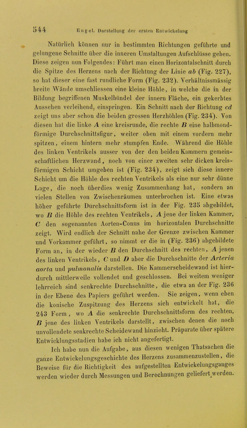 Natürlicli können nur in bestimmten Richtungen geführte und gelungene Schnitte über die inneren Umstaltungen Aufschlüsse geben. Diese zeigen nun Folgendes: Führt man einen Horizontalschnitt durch die Spitze des Herzens nach der Richtung der Linie ah (Fig. 227), so bat dieser eine fast rundliche Form (Fig. 232). Verhältnissmässig breite Wände umschliessen eine kleine Höhle, in welche die in der Bildung begriffenen Muskelbündel der innern Fläche, ein gekerbtes Aussehen verleihend, einspringen. Ein Schnitt nach der Richtung cd zeigt uns aber schon die beiden grossen Herzhöhlen (Fig. 234). Von diesen bat die linke A eine kreisrunde, die rechte B eine halbmond- förmige Durchschnittsfigur, weiter oben mit einem vordem mehr spitzen, einem hintern mehr stumpfen Ende. Während die Höhle des linken Ventrikels ausser von der den beiden Kammern gemein- schaftlichen Herzwand, nocb von einer zweiten sehr dicken kreis- förmigen Schicht umgeben ist (Fig. 234), zeigt sich diese innere Schicht um die Höhle des rechten Ventrikels als eine nur sehr dünne Lage, die noch überdies wenig Zusammenhang hat, sondern an vielen Stellen von Zwischenräumen unterbrochen ist. Eine etwas höher geführte Durchschnittsform ist in der Fig. 235 abgebildet, wo B die Höhle des rechten Ventrikels, A jene der linken Kammer, C den sogenannten Aorten-Conus im horizontalen Durchschnitte zeigt. Wird endlich der Schnitt nahe der Grenze zwischen Kammer und Vorkammer geführt, so nimmt er die in (Fig. 236) abgebildete Form an, in der wieder B den Durchschnitt des rechten, A jenen des linken Ventrikels, C und D aber die Durchschnitte der Arieria aorta und pulmonalis darstellen. Die Kammerscheidewand ist hier- durch mittlerweile vollendet und geschlossen. Bei weitem weniger lehrreich sind senkrechte Durchschnitte, die etwa an der Fig. 236 in der Ebene des Papiers geführt werden. Sie zeigen, wenn eben die konische Zuspitzung des Herzens sich entwickelt hat, die 243 Form, wo A die senkrechte Durchschnittsform des rechten, B jene des linken Ventrikels darstellt, zwischen denen die noch unvollendete senkrechte Scheidewand hinzieht. Präparate über spätere Entwicklungsstadien habe ich nicht angefertigt. Ich habe nun die Aufgabe, aus diesen wenigen Thatsachen die ganze Entwickelungsgeschichte des Herzens zusammenzustellen, die Beweise für die Richtigkeit des aufgestellten Entwickelungsganges werden wieder durch Messungen und Berechnungen geliefert^werden.