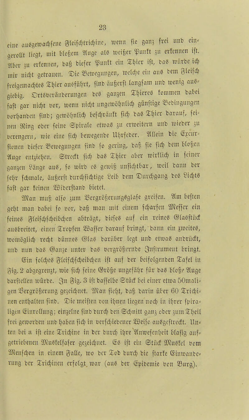 eine au^gewad;fene g(ei[cf)tric^)inc, \mm fie gan', frei itnb ein^ gevoüt liegt, mit btcjjem §(iige al8 iucifeer ^unft erfeniien ift. gibcr SU erfennen, bafj biefer ^ünU ein Stüter ift, bci§ luiirbe id; mir uid;t getrauen. ®ie 33euiegungen, iDetdie ein an8 bem gleifd; fveigemod;te^ Sfjier au^füt)vt, finb einwerft langfam unb tcenig auS^- giebig. Ortötoeränberuugen beS gansen Sl)iere8 fommen babei faft gar nic^t üor, »enn nid^t ungen)M}n(id; günftige 23ebiuguugen torl^anben [inb; geiDÖf^nlic^) befd^ränft fid; ba« Stüter barauf, fet= nen &iing ober feine ©^^irale etruaS jn erweitern unb mieber ju üerengeru, ane eine fic^ beipegeube U()rfeber. Allein bie ©j-cur^ fionen biefer 3?eU)eguugeu finb fo gering, bafe fie fid; bem blojjeu ^2luge ent^ie^eu. ©tredt fid} baS S^ter aber tüirftid} in feiner gansen ^äuge auS, fo njirb cS getviß unftd^tbar, m'ü bann ber fe{)r fd)male, anwerft burd;fidjtige Seib bem Durd;gaug beg Sid;tÖ faft gar feinen Sffiiberftanb bietet. man mn^ atfo jum 23ergrö§erung«glafe greifen, ^m beften gel)t man babei fo t?or, ba^ man mit einem fd;arfen SDieffer ein feiueö gfeifc^)fd;eibd)en abträgt, biefeg auf ein retneS ©taöftücf ausbreitet, einen tropfen SBaffer barauf bringt,-bann ein jiüeiteS, lucmögtid) recbt bünne« ®la8 bariiber legt unb ettuaS anbrüd't, unb nun baö ©an^e unter ba« öcrgrö^ernbe 3nfirument bringt. ®in fo(d;eö |^(eifd)fc^eibd;en ift auf ber beifolgenben Safel in gig. 2 abgegrenzt, roie fid; feine ©rö^e ungefät)r für bas bbjje Siuge barfteöen iinirbe. ^n gig- 3 ift baffelbe @tüd' bei einer ettoa 50mali= gen 33ergrö6ernng ge^eid}uet. Sian fie^t, ba^ barin über 60 S;rid;i= nen enthalten finb. Die meiflen ßou il}nen liegen \\o<i) in t^rer fpira^ ligcn (Sinrcfiung; einzelne finb burd^ ben ©d^nitt ganj ober jnm Sl^eit frei getüorben unb l^aben fid; in ßerfd;iebener SBeife auSgeflredt. lln= ten bei a ift eine 5£ric^ine in ber bnrd; i^re'3ln\t>efenl}eit blafig auf* getriebenen ?OhiöMfafer gejet^net. @g ift ein ©tüd 3}inefet J>om ?DJenfd;en in einem gaüe, tuo ber Sob burc^ bie ftarfe ©inmanbe« rung ber 2;rid;inen erfotßt. mx (au« ber (Spibemte toon 23urg).