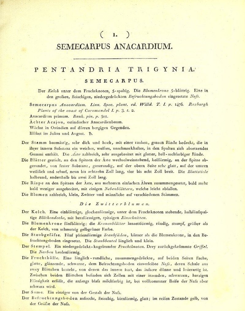 SEMECARPUS ANACARDIUM, PENTANDRIA T R I G Y N I A. SEMECARPUS. Der Kelch unter dem Fruchtknoten, Die Blumenkrone 5-bIättrig. Eine in den grofsen, fleischigen, niedergedrückten Befruchtungsboden eingesetzte Nuß. Semecarpus Anacardium. Linn. Spec. plant, ed. Willd. T. I. p. Roxburgh Plants of the coast of Coromandel I. p. 3- t. 2. Anacardium primum. Bank. pin. p. 5ii- Ächter Acajou, ostindischer Anacardienbaum. Wächst in Ostindien auf dürren bergigen Gegenden. Blühet im Julius und August, t?. Der Stamm baumästig, sehr dick und hoch, mit einer rauhen, grauen Rinde bedeckt, die in ihrer innern Substanz ein weiches, weifses, unschmackhaftes, in den Spalten sich absetzendes Gummi enthält. Die Aste zahlreich, sehr ausgebreitet mit glatter, hell-aschfarbiger Rinde. Die Blätter gestielt, an den Spitzen der Äste wechselweisstehend, keilförmig, an der Spitze ab- gerundet, von fester Substanz, ganzrandig, auf der obern Seite sehr glatt, auf der untern weifslich und scharf, neun bis achtzehn Zoll lang, vier bis acht Zoll breit. Die Blattstiele halbrund, anderthalb bis zwei Zoll lang. Die Rispe an den Spitzen der Äste, aus mehreren einfachen Ähren zusammengesetzt, bald mehr bald weniger ausgebreitet, mit einigen Nebenblättern, welche leicht abfallen. Die Blumen zahlreich, klein, Zwitter und männliche auf verschiedenen Stämmen. Die Zwitterblumen. Der Kelch. Eine einblättrige, glockenförmige, unter dem Fruchtknoten stehende, halbfiinfspal- t.ige Bliithendecke, mit herzförmigen, spitzigen Einschnitten. Die Blumenkrone fünfblättrig; die Kronenblätter lanzettförmig, rändig, stumpf, größer als der Kelch, von schmutzig gelbgrüner Farbe. Die Staubgefäfse. Fünf pfriemförmige Staubfäden, kürzer als die Blumenkrone, in den Be- fruchtungsboden eingesetzt. Die Staubbeutel länglich und klein. Der Stempel. Ein niedergedrückt-kugelrunder Fruchtknoten. Drey zurückgekrümmte Griffel. Die Narben keulenförmig. Die Fruchthülle. Eine länglich - rundliche, zusammengedrückte, auf beiden Seiten flache, glatte, glänzende, schwarze, dem Befruchtungsboden einverleibte Nuß, deren Schale aus zwey Blättchen besteht, von denen das innere hart, das äußere dünne und lederartig ist. Zwischen beiden Blättchen befinden sich Zellen mit einer ätzenden, schwarzen, harzigen Flüssigkeit erfüllt, die anfangs blaß milchfarbig ist, bei vollkommner Reife der Nuß aber schwarz wird. Der Same. Ein einziger von der Gestalt der Nuß. Der Befruchtungsboden aufrecht, fleischig, bimförmig, glatt; im reifen Zustande gelb, von der Größe der Nuß.