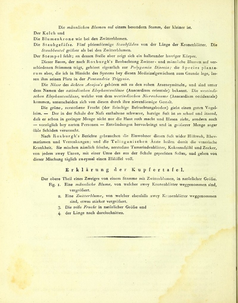 Die männlichen Blumen auf einem besondem Stamm, der kleiner ist. Der Kelch und Die Blumenkrone wie bei den Zwitterblumen. Die Staubgefäfse. Fünf pfriemförmige Staubfäden von der Länge der Kronenblätter. Die Staubbexitel gröfser als bei den Zwitterblumen. Der Stempel fehlt; an dessen Stelle aber zeigt sich ein halbrunder haariger Körper. Dieser Baum, der nach Roxburgh’s Beobachtung Zwitter- und männliche Blumen auf ver- schiedenen Stämmen trägt, gehöret eigentlich zur Polygamia Dioecia; die Species planta- rum aber, die ich in Hinsicht des Systems bey diesen Medizinalgewächsen zum Grunde lege, las- sen ihm seinen Platz in der Pe?itandria Trigynia. Die Nüsse des ächten Acajous gehören mit zu den rohen Ärzeneymitteln, und sind unter dem Namen der ostindischen Elephantenlänse (Anacardium orientale) bekannt. Die westindi- schen Elephantenläuse, welche von dem westindischen Nierenbaume (Anacardium occidentale) kommen, unterscheiden sieh von diesen durch ihre nierenförmige Gestalt. Die grüne, zerstofsene Frucht (der fleischige Befruchtungsboden) giebt einen guten Vogel- leim. — Der in der Schale der Nufs enthaltene schwarze, harzige Saft ist so scharf und ätzend, dafs er schon in geringer Menge nicht nur die Haut roth macht und Blasen zieht, sondern auch — vorzüglich bey zarten Personen — Entzündungen hervorbringt und in gröfserer Menge sogar üble Schäden verursacht. Nach Pioxburgh’s Berichte gebrauchen die Einwohner diesen Saft wider Hüftweh, Rhev- matismen und Verrenkungen; und die Telinganischen Arzte heilen damit die venerische Krankheit. Sie mischen nämlich frische, zerstofsne Tamarindenblätter, Kokosnuf^öhl und Zucker, von jedem zwey Unzen, mit einer Unze des aus der Schale geprefsten Saftes, und geben von dieser Mischung täglich zweymal einen EfslöfFel voll. Erklärung der Kupfertafel. Der obere Theil eines Zweiges von einem Stamme mit Zwitterblumen, in natürlicher Gröfse. Fig. i. Eine männliche Blume, von welcher zwey Kronenblätter weggenommen sind, vergröfsert. 2. Eine Zwitterblume, von welcher ebenfalls zwey Kronenblätter weggenommen sind, etwas stärker vergröfsert. 3. Die reife Frucht in natürlicher Gröfse und 4. der Länge nach durchschnitten.