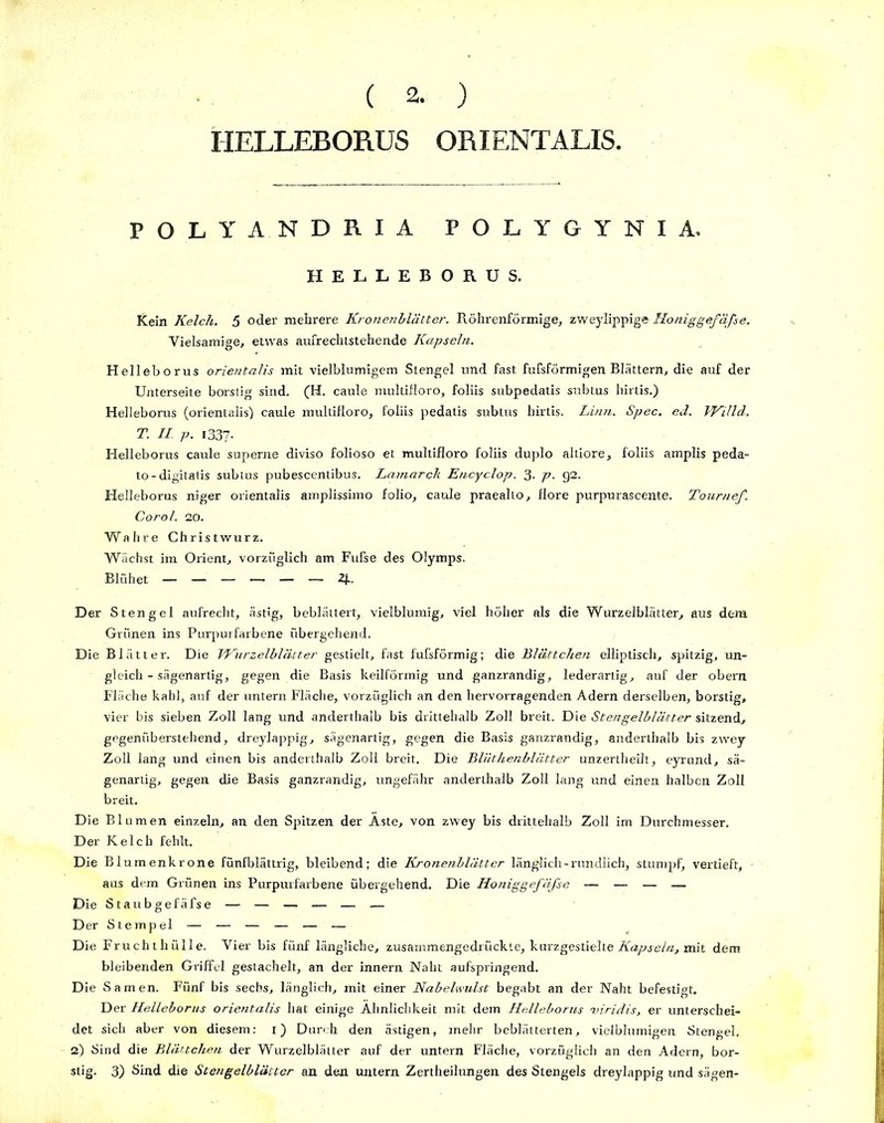 ( 2. ) IIELLEBORUS ORIENTALE. POLYANDRIA POLYGYNIA. HELLEBORUS. Kein Kelch. 5 oder mehrere Kronenblätter. Röhrenförmige, zweylippige Honiggefäfse. Yielsamige, etwas aufrechtstehende Kapseln. Helleborus orientalis mit vielblumigem Stengel und fast fufsförmigen Blättern, die auf der Unterseite borstig sind. (H. caule multifloro, foliis subpedatis subtus hirtis.) Helleborus (orientalis) caule multifloro, foliis pedatis subtus hirtis. Linn. Spec. ed. Willd. T. II p. 1337- Helleborus caule superne diviso folioso et multifloro foliis duplo altiore, foliis amplis peda- to-digitatis subtus pubescentibus. Lamarck Encyclop. 3- p. 92. Helleborus niger orientalis amplissimo folio, caule praealto, flore purpurascente. Tournef. Corol. 20. Wahre Christwurz. Wächst im Orient, vorzüglich am Fufse des Olymps. Blühet — — — >— — — 2j.. Der Stengel aufrecht, ästig, beblättert, vielblumig, viel höher als die Wurzelblätter, aus dem Grünen ins Purpurfarbene übergehend. Die Blätter. Die Wurzelblätter gestielt, fast fufsförmig; die Blättchen elliptisch, spitzig, un- gleich - sägenartig, gegen die Basis keilförmig und ganzrandig, lederartig, auf der obern Fläche kahl, auf der untern Fläche, vorzüglich an den hervorragenden Adern derselben, borstig, vier bis sieben Zoll lang und anderthalb bis drittehalb Zoll breit. Die Stengelblätter sitzend, gegenüberstehend, dreylappig, sägenartig, gegen die Basis ganzrandig, anderthalb bis zwey Zoll lang und einen bis anderthalb Zoll breit. Die Bliithenblätter unzertheilt, eyrund, sä- genartig, gegen die Basis ganzrandig, ungefähr anderthalb Zoll lang und einen halben Zoll breit. Die Blumen einzeln, an den Spitzen der Aste, von zwey bis drittehalb Zoll im Durchmesser. Der Kelch fehlt. Die Blumenkrone fünfblättrig, bleibend; die Kronenblätter länglich-rundlich, stumpf, vertieft, aus dem Grünen ins Purpurfarbene übergehend. Die Honiggefäfse — — — — Die Staubgefäfse — — — — — — Der Stempel — — — — — — Die Fruchthülle. Vier bis fünf längliche, zusammengedrückte, kurzgestielte Kapseln, mit dem bleibenden Griffel gestachelt, an der innern Naht aufspringend. Die Samen. Fünf bis sechs, länglich, mit einer Nabelwulst begabt an der Naht befestigt. Der Helleborus orientalis hat einige Ähnlichkeit mit dem Helleborus viridis, er unterschei- det sich aber von diesem: 1) Durch den ästigen, mehr beblätterten, vielblumigen Stengel. 2) Sind die Blättchen der Wurzelblätter auf der untern Fläche, vorzüglich an den Adern, bor-