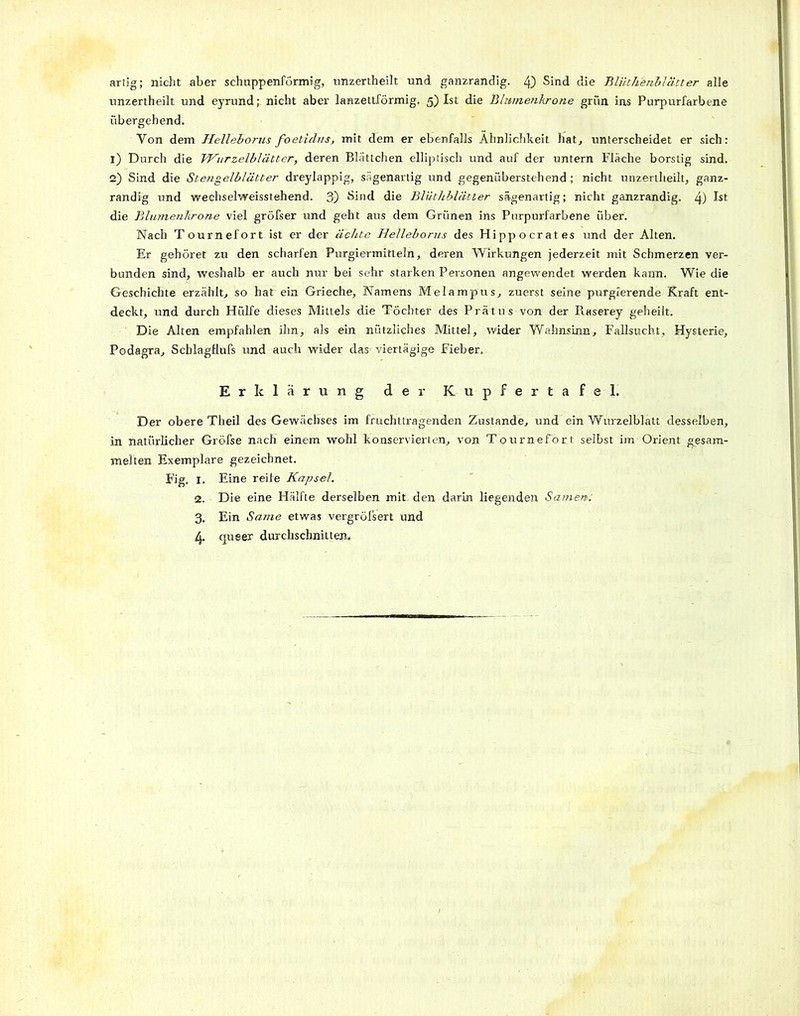 unzertheilt und eyrund;. nicht aber lanzettförmig. 5) Ist die Blumenkrone grün ins Purpurfarbene übergehend. Yon dem Helleborus foetidus, mit dem er ebenfalls Ähnlichkeit hat, unterscheidet er sich: 1) Durch die Wurzelblätter, deren Blättchen elliptisch und auf der untern Fläche borstig sind. 2) Sind die Stengelblätter dreylappig, sägenartig und gegenüberstehend ; nicht unzertheilt, ganz- randig und weehselweisstehend. 3) Sind die Blüthblätter sägenartig; nicht ganzrandig. 4) Ist die Blumenkrone viel gröfser und geht aus dem Grünen ins Purpurfarbene über. Nach Tournefort ist er der ächte Helleborus des Hippocrates und der Alten. Er gehöret zu den scharfen Purgiermitteln, deren Wirkungen jederzeit mit Schmerzen ver- bunden sind, weshalb er auch nur bei sehr starken Personen angewendet werden kann. Wie die Geschichte erzählt, so hat ein Grieche, Namens Melampus, zuerst seine purgierende Kraft ent- deckt, und durch Hülfe dieses Mittels die Töchter des Prätus von der Raserey geheilt. Die Alten empfahlen ihn, als ein nützliches Mittel, wider Wahnsinn, Fallsucht, Hysterie, Podagra, Schlagflufs und auch wider das viertägige Fieber. Erklärung der Kupfertafel. Der obere Theil des Gewächses im fruchttragenden Zustande, und ein Wurzelblatt desselben, in natürlicher Gröfse nach einem wohl konservierten, von Tournefort selbst im Orient gesam- melten Exemplare gezeichnet. Fig. I. Eine reife Kapsel. 2. Die eine Hälfte derselben mit-den darin liegenden Samen: 3. Ein Same etwas vergröfsert und