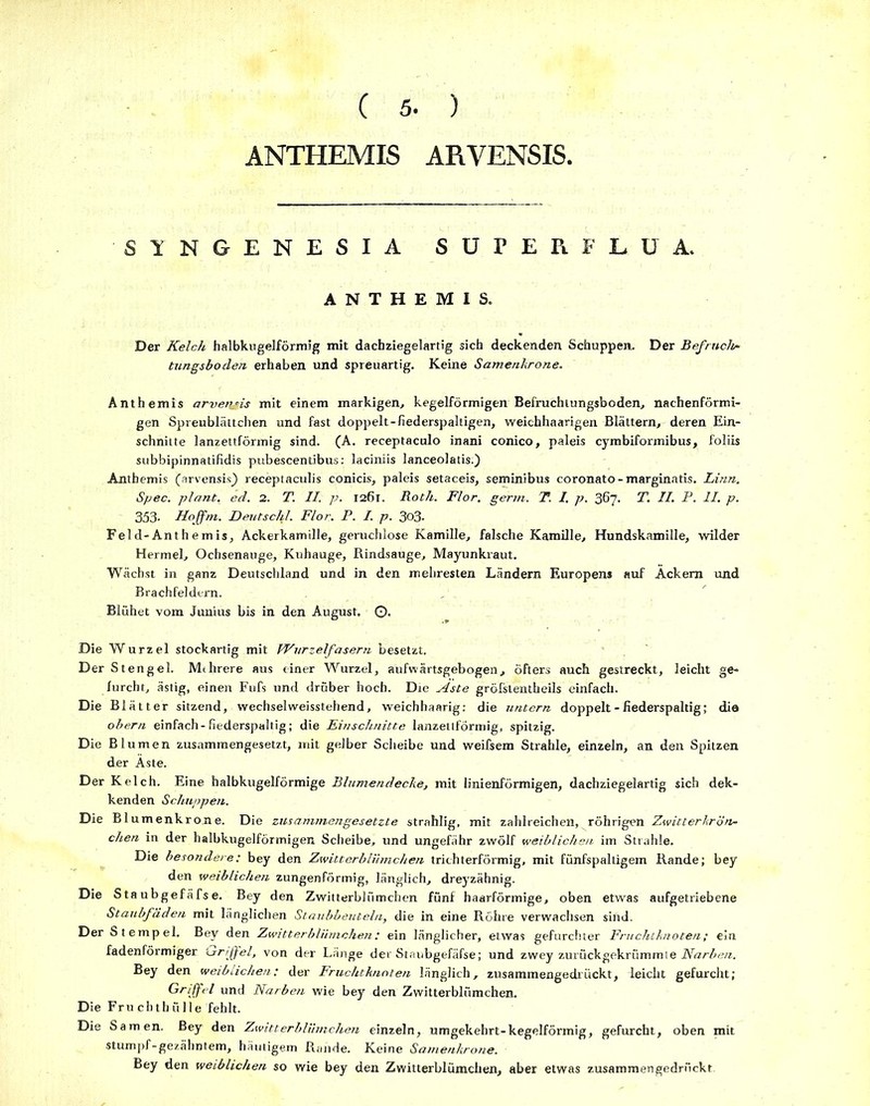 ) C 5. ANTHEMIS ARVENSIS. ■S1NGENESIA SUPER F LU A. ANTHEMIS. Der Kelch halbkugelförmig mit dachziegelartig sich deckenden Schuppen. Der Befrucht tungsboden erhaben und spreuartig. Keine Samenkrone. Anthemis arveryis mit einem markigen, kegelförmigen Befruchtungsboden, nachenförmi- gen Spreublättchen und fast doppelt-fiederspaltigen, weichhaarigen Blättern, deren Ein- schnitte lanzettförmig sind. (A. receptaculo inani conico, paleis cymbiformibus, foliis subbipinnatifidis pubescentibus: laciniis lanceolatis.) Anthemis (arvensis) receptaculis conicis, paleis setaceis, seminibus coronato - marginatis. Linn. Spec. plant, ed. 2. T. II. p. 1261. Roth. Flor, germ. T. I. p. 367. T. II. F. II. p. 353- Hojfm. Deutschi. Flor. P. I. p. 3o3- Feld-Anthemis, Ackerkamille, geruchlose Kamille, falsche Kamille, Hundskamille, wilder Hermel, Ochsenauge, Kuhauge, Rindsauge, Mayunkraut. Wächst in ganz Deutschland und in den meliresten Ländern Europens auf Äckern und Brachfeldern. Blühet vom Junius bis in den August. (•)• Die Wurzel stockartig mit kVurzelfasern besetzt. Der Stengel. Mthrere aus einer Wurzel, aufwärtsgebogen, öfters auch gestreckt, leicht ge- furcht, ästig, einen Fufs und drüber hoch. Die Aste gröfstentheils einfach. Die Blätter sitzend, wechselweisstehend, weichhaarig: die untern doppelt - fiederspaltig; die obern einfach-fiederspaltig; die Einschnitte lanzettförmig, spitzig. Die Blumen zusammengesetzt, mit gelber Scheibe und weifsem Strahle, einzeln, an den Spitzen der Äste. Der Kelch. Eine halbkugelförmige Blumendecke, mit linienförmigen, dachziegelartig sich dek- kenden Schuppen. Die Blumenkrone. Die zusammengesetzte strahlig, mit zahlreichen, röhrigen Zwitterkrön- chen in der halbkugelförmigen Scheibe, und ungefähr zwölf weiblichen im Strahle. Die besondere: bey den Zwitterblümchen trichterförmig, mit fünfspaltigem Rande; bey den weiblichen zungenförmig, länglich, dreyzähnig. Die Sta ubgefäfs e. Bey den Zwitterblümchen fünf haarförmige, oben etwas aufgetriebene Staubfäden mit länglichen Staubbeuteln, die in eine Röhre verwachsen sind. Der Stempel. Bey den Zwitterblümchen: ein länglicher, etwas gefurchter Fruchtknoten; ein fadenförmiger Lrr/ff'el, von der Länge der Staubgefäfse; und zwey zurückgekrümmle Narben. Bey den weiblichen: der Fruchtknoten länglich, zusammengedrückt, leicht gefurcht; Griffel und Narben wie bey den Zwitterblümchen. Die Fru cbthülle fehlt. Die Samen. Bey den Zwitterblümchen einzeln, umgekehrt-kegelförmig, gefurcht, oben mit stumpf-gezähntem, häutigem Rande. Keine Samenkrone. Bey den weiblichen so wie bey den Zwitterblümchen, aber etwas zusammen gedrückt