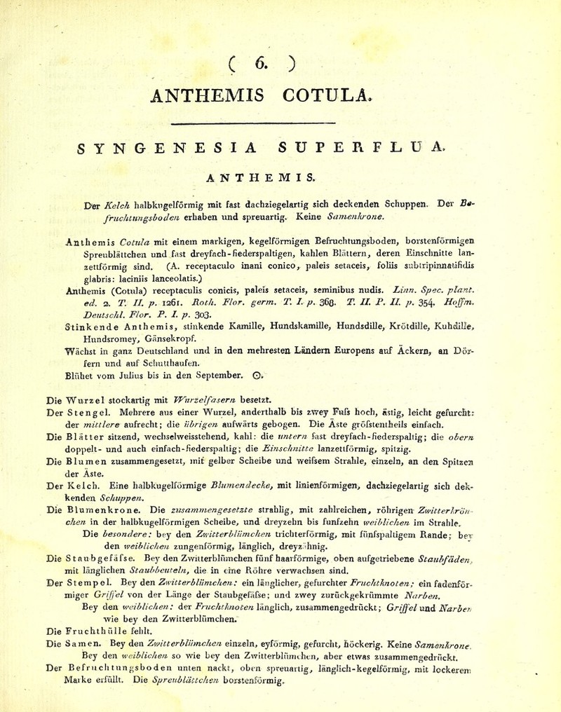 ANTHEMIS COTULA SYNGENESIA SUPERFLUA. A N T H E M I S. I>er Kelch halbkngelformig mit fast dachziegelartig sich deckenden Schuppen. Der Be- frucht ungsb öden erhaben und spreuartig. Keine Samenlwone. Anthemis Cotula mit einem markigen, kegelförmigen Befruchtungsboden, borstenförmigen Spreublättchen und fast dreyfach-fiederspaltigen, kahlen Blättern, deren Einschnitte lan- zettförmig sind. (A. receptaculo inani conico, paleis setaceis, foliis subtripinnatifidis glabris: laciniis lanceolatis.) Anthemis (Cotula) receptaculis conicis, paleis setaceis, seminibus nudis. Linn. Spec. plant, ed. a. T. II. p. 1261. Roth. Flor. germ. T. I. p. 36ß. T. II. P. II. p. 354. Hoff/n. Deutschi. Flor. P. I. p. 3o3. Stinkende Anthemis, stinkende Kamille, Hundskamille, Hundsdille, Krötdille, Kuhdille, Hundsromey, Gänsekropf. Wächst in ganz Deutschland und in den mehresten Ländern Euxopens auf Äckern, an Dör- fern und auf Schutthaufen. Blühet vom Julius bis in den September. ©» Die Wurzel stockartig mit Wnrtelfäsern besetzt. Der Stengel. Mehrere aus einer Wurzel, anderthalb bis zwey Fufs hoch, ästig, leicht gefurcht: der mittlereaufrecht; die übrigen aufwärts gebogen. Die Äste gröfstentheils einfach. Die Blätter sitzend, wechselweisstehend, kahl: die untern fast dreyfach-fiederspaltig; die obern doppelt- und auch einfach-fiederspaltig; die Einschnitte lanzettförmig, spitzig. Die Blumen zusammengesetzt, mit gelber Scheibe und weifsem Strahle, einzeln, an den Spitzen der Äste. Der Kelch. Eine halbkugelförmige Blumendecke, mit lmienförmigen, dachziegelartig sich dek- kenden Schuppen. Die Blumenkrone. Die zusammengesetzte strahlig, mit zahlreichen, rührigen- Zwitterkrcin- chen in der halbkugelförmigen Scheibe, und dreyzehn bis fünfzehn weiblichen im Strahle. Die besondere: bey den Zwitterblümchen trichterförmig, mit fiinfspaltigem Rande; bev den weiblichen zungenförmig, länglich, dreyz hnig. Die Staubgefäfse. Bey den Zwitterblümchen fünf haarförmige, oben aufgetriebene Staubfäden. mit länglichen Staubbeuteln, die in eine Röhre verwachsen sind. Der Stempel. Bey den Zwitterbliimche?i: ein länglicher, gefurchter Fruchtknoten; ein fadenför- miger Griffel von der Länge der Staubgefäfse; und zwey zurückgekrümmte Narben. Bey den weiblichen: der Fruchtknoten länglich, zusammengedrückt; Griffel und Narben wie bey den Zwitterblümchen. Die Fruchthülle fehlt. Die Samen. Bey den Zwitterblümchen einzeln, eyförmig, gefurcht, höckerig. Keine Samenkrone. Bey den weiblichen so wie bey den Zwitterblümchen, aber etwas zusammengedrückt. Der Befruchtungsboden unten nackt, oben spreuartig, länglich-kegelförmig, mit lockerem Marke erfüllt. Die Spreublättchen borstenförmig.