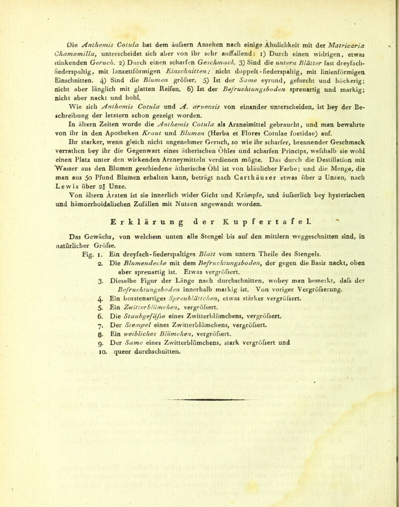 Die Anthemis Cotula hat dem äufsern Ansehen nach einige Ähnlichkeit mit der Matricaria Chamomilla, unterscheidet sich aber von ihr sehr auffallend: x) Durch einen widrigen, etwas stinkenden Geruch. 2) Durch einen scharfen Geschmack. 3) Sind die untern Blätter fast dreyfach- fiederspaltig, mit lanzettförmigen Einschnitten; nicht doppelt-iiederspaltig, mit linienförmigen Einschnitten. 4) Sind die Blumen grölser. 5) Ist der Same eyrund, gefurcht und höckerig; nicht aber länglich mit glatten Reifen. 6) Ist der Befruchtungsboden spreuartig und markig; nicht aber nackt und hohl. Wie sich Anthemis Cotula und A. arvensis von einander unterscheiden, ist hey der Be- schreibung der letztem schon gezeigt worden. In altern Zeiten wurde die Antliemis Cotula als Arzneimittel gebraucht, und man bewahrte von ihr in den Apotheken Kraut und Blumen (Herba et Flores Cotulae foetidae) auf. Ihr starker, wenn gleich nicht angenehmer Geruch, so wie ihr scharfer, brennender Geschmack verrathen bey ihr die Gegenwart eines ätherischen Ohles und scharfen Princips, wefshalb sie wohl einen Platz unter den wirkenden Arzneymitteln verdienen mögte. Das durch die Destillation mit 'Wasser aus den Blumen geschiedene ätherische Ohl ist von bläulicher Farbe; und die Menge, die man aus 50 Pfund Blumen erhalten kann, beträgt nach Carthäuser etwas über 2 Unzen, nach Lewis über 2§ Unze. Von ältem Ärzten ist sie innerlich wider Gicht und Krämpfe, und äufserlich bey hysterischen und hämorrhoidalischen Zufällen mit Nutzen angewandt worden. Erklärung der Kupfertafel. Das Gewächs, von welchem unten alle Stengel bis auf den mittlern weggeschnitten sind, in natürlicher Gröfse. Fig. 1. Ein dreyfach-fiederspaltiges Blatt vom untern Theile des Stengels. 2. Die Blumendecke mit dem Befruchtungsboden, der gegen die Basis nackt, oben aber spreuartig ist. Etwas vergröfsert. 3. Dieselbe Figur der Länge nach durchschnitten, wobey man bemerkt, dafs der Befruchtungsboden innerhalb markig ist. Von voriger Vergröfserung. 4. Ein borstenartiges Spreublättchen, etwas stärker vergröfsert. 5. Ein Zwitterblümchen, vergröfsert. 6. Die Staubgefäße eines Zwitterblümchens, vergröfsert. 7. Der Stempel eines Zwitterblümchens, vergröfsert. ß. Ein weibliches Blümchen, vergröfsert. 9. Der Same eines Zwitterblümchens, stark vergröfsert und 10. queer durchschnitten.