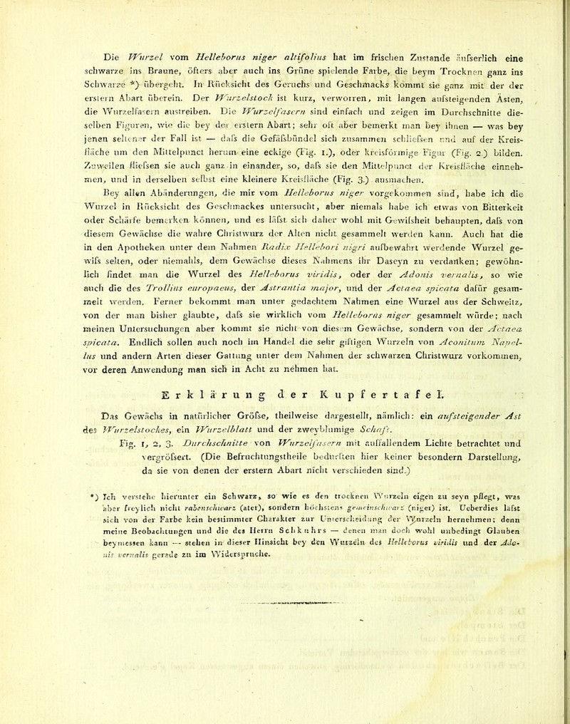 Die Wurzel vom Iielleborus niger altifolius hat im frischen Zustande äußerlich eine schwarze ins Braune, öfters aber auch ins Grüne spielende Farbe, die beym Trocknen ganz ins Schwarze *y übergeht. In Rücksicht des Geruchs und Geschmacks kommt sie ganz mit der der erstem Abart überein. Der Wurzelstoch ist kurz, verworren, mit langen aufsteigenden Ästen, die Wurzelfasern austreiben, Die Wurzelfasern sind einfach und zeigen im Durchschnitte die- selben Figuren, wie die bey der erstem Abart; sehr oft aber bemerkt man bey ihnen — was bey jenen seltener der Fall ist — dafs die Gefäfsbündel sich zusammen schliefsen und auf der Kreis- fläche um den Mittelpunct herum eine eckige (Fig. i.), oder kreisförmige Figur (Fig. 2.) bilden. Zuweilen fließen sie auch ganz in einander, so, dafs sie den Mittelpunct der Kreisfläche einneh- men, und in derselben selbst eine kleinere Kreisfläche (Fig. 30 ausmachen. Bey allen Abänderungen, die mir vom Iielleborus niger vorgekommen sind, habe ich die Wurzel in Rücksicht des Geschmackes untersucht, aber niemals habe ich etwas von Bitterkeit oder Schärfe bemerken können, und es läßt sich daher wohl mit Gewißheit behaupten, daß von diesem Gewächse die wahre Chrislwurz der Alten nicht gesammelt werden kann. Auch Hat die in den Apotheken, unter dem Nahmen Radix Hellebori nigri aufbeWahrt Werdende Wurzel ge- wifs selten, oder niemahls, dem Gewächse dieses Nahmens ihr Daseyn zu verdanken; gewöhn- lich findet man die Wurzel des Helleborus viridis, oder der Adonis vernalis, so Wie auch die des Trollins europaeus, der Astraritia rnajor, und der Actaea spicata dafür gesam- melt werden. Ferner bekommt man unter gedachtem Nahmen eine Wurzel aus der Schweitz, von der man bisher glaubte, dafs sie wirklich vom Helleborils niger gesammelt würde; nach meinen Untersuchungen aber kommt sie nicht von dies m Gewächse, sondern von der Actaea spicata. Endlich sollen auch noch ixn Handel die sehr giftigen Wurzeln von Aconitum Napel- lus und andern Arten dieser Gattung unter dem Nahmen der schwarzen Christwurz Vorkommen, vor deren Anwendung man sich in Acht zu nehmen hat. Erklärung der K u p f e r t a f e I. Das Gewächs in natürlicher Gröfse, theilweise daigestellt, nämlich: ein aufsteigender Ast des Wiirzelstoches, ein Wurzelblatt und der zweyblumige Schaft. Fig. r, 1, 3. Durchschnitte von Wurzelfasern mit auffallendem Lichte betrachtet und vergröfsert. (Die Befruchtungstheile bedurften hier keiner besondern Darstellung, da sie von denen der erstem Abart nicht verschieden sind.) *) Ich verstehe hierunter ein Schwarz» so wie es den trocknen Wurzeln eigen zu seyn pflegt, was aber freylich nicht rabenschwarz (ater), sondern höchstens g'eineinschwarz (niger) ist. Ueberdies läfst sich von der Farbe kein bestimmter Charakter zur Unterscheidung der Wnrzeln hernehmen; denn meine Beobachtungen und die des Herrn Schkuhrs — denen man doch wohl unbedingt Glauben bey messen kann — stehen in- dieser Hinsicht bey de a Wurzeln des Helleborus viridis und der Ada* nis vernalis gerade za im Widerspruche.