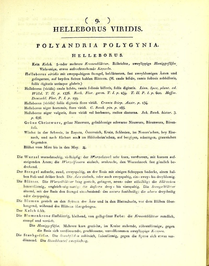 ( 9- ) HELLEBORUS VIRIDIS. POLYANDRIA POLYGYNIA. HELLEBORUS. Kein Kelch. 5-oder mehrere Konenblätter. Röhrichte, zweylippige Honiggefäfse Viels mnige, etwas aufrechtstehende Kapseln. Helleborus viridis mit zweyspaltigem Stengel, beblätterten, fast zweyblumigen Ästen und gefingerten, auf beyden Seiten kahlen Blättern. (H. caule bifido, ramis foliosis subbifloris, foliis digitatis utrinque glabris.) 1 Helleborus (viridis) caule bifido, ramis foliosis bifloris, foliis digitatis. Linn. Spec. plant, ed. Willd. T. II. p. 1336. Roth. Flor. germ. T. I. p. 23-p T. II. F. I. p. 600. Hpffm. Dentschl. Flor. P. I. p. 19g. Helleborus (viridis) foliis digitatis flore viridi. Crantz Stirp. Austr. p. 134- Helleborus niger hortensis, flore viridi. C. Bank. pin. p. i85- Helleborus niger vulgaris, flore viridi vel herbaceo, radice diuturna. Joh. Bank, histor. 3- p. 63b. Grüne Christwurz, grüne Nieswurz, grünblumige schwarze Nieswurz, Bärenwurz, Bären- fufs. Wächst in der Schweiz, in Bayern, Österreich, Krain, Schlesien, im Nassati’schen, bey Eise- nach, und nach Ehrhart aucfc im Hildesheim’schen, auf bergigen, schattigen, grasreichen Gegenden. Blühet vom März bis in den May. 2JL. Die Wurzel wurzelstockig, vielköpfig: der Wurzelstock sehr kurz, verworren, mit kurzen auf- steigenden Ästen; die Wurzelfasern einfach, senkrecht, den Wurzelstock fast gänzlich be- deckend. Der Stengel aufrecht, rund, zweyspaltig, an der Basis mit einigen Schuppen bedeckt, einen hal- ben Fuls und drüber hoch. Die Aste einfach, oder auch zweyspaltig, ein- zwey- bis dreyblumig. Die Blätter. Die Witrzelblätter lang gestielt, gefingert, neun- oder eilfzählig: die Blättchen lanzettförmig, ungleich-sägenartig: die äufsern drey - bis vierspaltig. Die Stengelblätter sitzend, mit der Basis den Stengel einscheidend: das lmtere funftheilig; die obern dreytheilig oder dreyspaltig. Die Blumen gestielt an den Spitzen der Äste und in den Blattachseln, vor dem Blühen über- hangend, während des Blühens übergebogeu. Der Kelch fehlt. Die Blumenkrone fünfblättrig, bleibend, von gelbgrüner Färbet die Kronehblätter rundlich, stumpf und vertieft. Die Honiggefäfse. Mehrere kurz gestielte, im Kreise stehende, röhrenförmige, gegen die Basis sich verdünnende, geschlossene, unvollkommen zweylippige Kappen. Die Staubgefäfse. Die Staubfäden zahlreich, fadenförmig, gegen die Spitze sich etwas ver- dünnend. Die Staubbeutel zweyfächng.