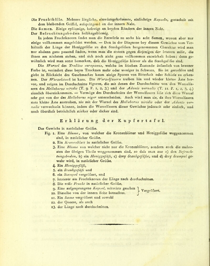Die Fruchthülle. Mehrere längliche, einwärtsgekrümmte, einfächrige Kapseln, gestachelt mit dem bleibenden Griffel, aufspringend an der innern Naht. Die Samen. Einige eyförjnige., befestigt an beyden Rändern der innern Naht. Der Befruchtungsboden halbkugelförmig. In jedem Fruchtknoten findet man die Entwürfe zu sechs bis acht Samen, wovon aber nur einige vollkommen ausgebildet werden. — Den in der Diagnose bey diesem Gewächse vom Ver- hältnifs der Länge der Honiggefäfse zu den Staubgefäfsen hergenommnen Charakter wird man nur alsdann ganz passend finden, wenn man die erstem gegen diejenigen der letztem mifst, die ihnen am nächsten stehen, und sich noch nicht ganz vollkommen entwickelt haben; denn ge- wöhnlich wird man sonst bemerken, dafs die Honiggefäfse kürzer als die Staubgefifse sind. Die Wurzel des Trollius europaeus, welche im frischen Zustande äußerlich von brauner Farbe ist, verändert diese beym Trocknen mehr oder weniger in Schwarz. Sie ist geruchlos und giebt in Rücksicht des Geschmackes kaum einige Spuren von Bitterkeit oder Schärfe zu erken- nen. Der Wurzelstock ist kurz. Die Wurzelfasern treiben hin und wieder kleine Äste her- vor, und zeigen im Durchschnitte Figuren, die mit denen der Durchschnitte von den Wurzelfa- sern des Helleborus viridis (T. g. F. i, 2, 3.) und der Adonis vernalis (T. n. F. x, 2, 3, 4.) ziemlich Übereinkommen. — Vermöge des Durchschnitts der Wurzelfasem läfst sich diese Wurzel sehr gut von der des Hellekorns niger unterscheiden. Auch wird man sie, da ihre Wurzelfasem stets kleine Äste austreiben, nie mit der Wurzel des Hell eborus viridis oder der Adonis ver- nalis verwechseln können, indem die Wurzelfasem dieser Gewächse jederzeit sehr einfach, und noch überdiefs beträchtlich stärker oder dicker sind. Erklärung der Kupfertafel. Das Gewächs in natürlicher Gröfse. Fig. 1. Eine Blume, von welcher die Kronenblätter und Honiggefäfse weggenommen sind, in natürlicher Gröfse. 2. Ein Kronenblatt in natürlicher Gröfse. 3. Eine Blume von welcher nicht nur die Kronenblätter, sondern auch die mehre- sten der übrigen Theile weggenommen sind, so dafs man nur n) den Befruch- tnngsboden, b) ein Honiggefäß, c) drey Staubgefäfse, und d) drey Stempel ge- wahr wird, in natürlicher Gröfse. 4. Ein Honiggefäfs, 5. ein Staubgefäß und 6. ein Stempel vergröfsert, und 7. letzterer am Fruchtknoten der Länge nach durchschnitten. 8. Die reife Frucht in natürlicher Gröfse. g. Eine aufgesprungene Kapsel, seitwärts gesehen 1 y -fert IO. Dieselbe von der innern Seite betrachtet. j* ert>lo-ser* ir. Ein Same vergröfsert und sowohl 12. der Queere, als auch