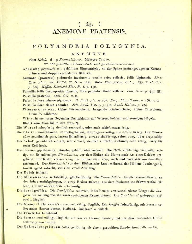 ( 23. ) ANEMONE PRATENSIS. POLYANDRIA POLYGYNIA. ANEMONE. Kein Kelch. 6 — g Kronenblätter. Mehrere Samen. ** Mit gehülltem Blumenstiele und geschwänzten Samen. Anemone pratensis mit gehülltem Blumenstiele, an der Spitze zurückgebogenen Kronen- blättern und doppelt-gefiederten Blättern. Anemone (pratensis) pedunculo involucrato petalis apice reflexis, foliis bipinnatis. Linn. Spee. plant, ed. IVilld. T. II. p. 1274. Roth. Flor. germ. T. I. p. 235- T. II. P. I. p. 604. Hojfm. Deutschi Flor. P. I. p. igo. Pulsatilla foliis decompositis pinnatis, flore pendulo: limbo reflexo. Flor. Suec. p. 447* 482. Pulsatilla pratensis. Mill. dict. n. 2. Pulsatilla flore minore nigricante. C. Bauh. pin. p. 177. Berg. Flor. Franc, p. 156. n. 2. Pulsatilla flore clauso coeruleo. loh, Bauh. hist. 3- p■ 410- Buxb. Halens, p. 274. Wiesen-Anemone, kleine Küchenschelle, hangende Küchenschelle, kleine Osterblume, kleine Windblume. Wächst in mehreren Gegenden Deutschlands auf Wiesen, Feldern und sonnigen Hügeln. Blühet vom März bis in den May. Zf.. Die Wurzel schopfartig ziemlich senkrecht, oder auch schief, etwas ästig'. Die Blätter wurzelständig, doppelt-gefiedert, die jiingern zottig, die altern haarig. Die Fieder- chen gewöhnlich ganz, lanzett-linienförmig, etwas sichelförmig, selten zwey- oder dreyspaltig. Der Schaft gewöhnlich einzeln, sehr einfach, ziemlich aufrecht, stielrund, sehr zottig, zwey bis sechs Zoll hoch; Die Blume gipfelständig, einzeln, gehüllt, überhangend. Die Hülle einblättrig, vieltheilig, zot- tig, mit linienförmigen Einschnitten, vor dem Blühen die Blume nach Art eines Kelches um- gebend, durch die Verlängerung des Blumenstiels aber, nach und nach sich von derselben entfernend. Der Blumenstiel vor dem Blühen sehr kurz, während des Blühens überhangend, fruchttragend aufrecht, sechs bis zwölf Zoll lang. Der Kelch fehlend. Die Blumenkrone sechsblättrig, glockenförmig: die Kronenblätter länglich-lanzettförmig, an der Spitze zurückgebogen, in zwey Reihen stehend, aus dem Violetten ins Schwarzrothe fal- lend, auf der äufsern Seite sehr zottig. Die Staubgefäfse. Die Staubfäden zahlreich, fadenförmig, von verschiedener Länge: die lan- gem fast so lang wie die zurückgebogenen Kronenblätter. Die Staubbeutel gedoppelt, auf- recht, länglich. Der Stempel. Die Fruchtknoten mehrzählig, länglich. Die Griffel fadenförmig, mit kurzen an- liegenden Haaren besetzt, bleibend. Die Narben einfach. Die Fruchthülle fehlend. Die Samen mehrzählig, länglich, mit kurzen Haaren besetzt, und mit dem bleibenden Griffel federartig geschwänzt. Der Befruchtungsboden halbkugelförmig mit einem gestrahlten Rande, innerhalb markig.