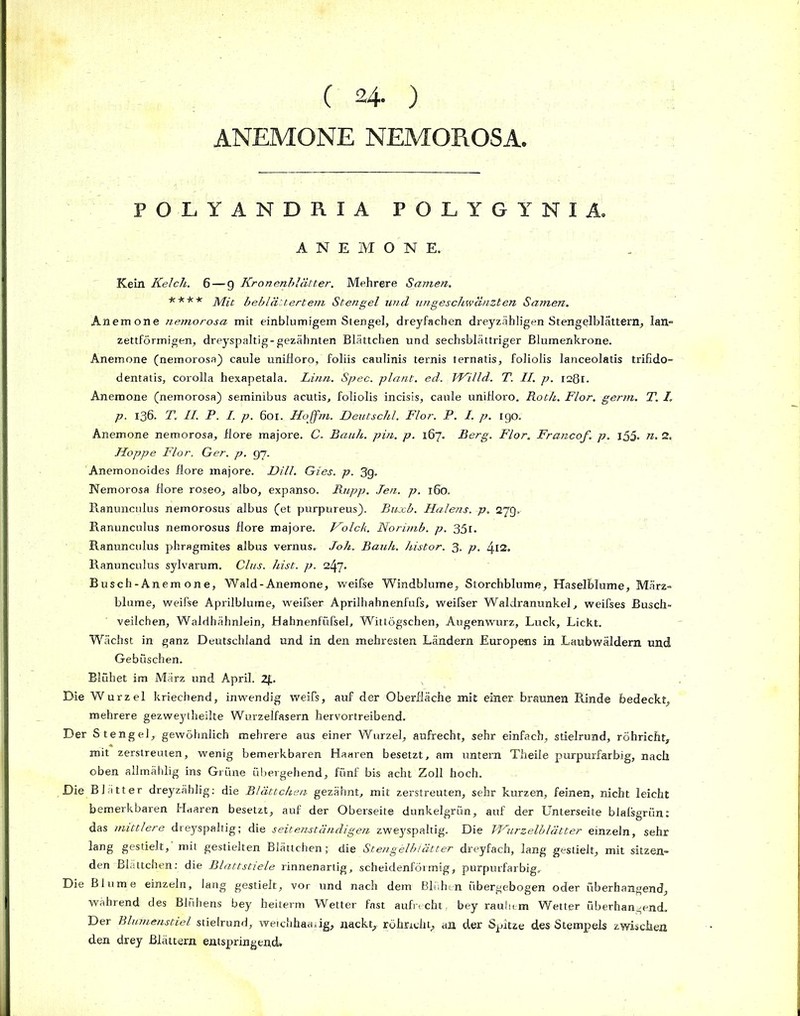 ( 24. ) ANEMONE NEMOROSA. POLYANDRIA POLYGYNIA. ANEMONE. Kein Kelch. 6 — g Kronenblätter. Mehrere Samen. ■r-k-k* Afit beblättertem Stengel und ungeschwänzten Samen. Anemone nemorosa mit einblumigem Stengel, dreyfachen dreyzäbligen Stengelblättern, lan- zettförmigen, dreyspaltig-gezähnten Blättchen und sechsblättriger Blumenkrone. Anemone (nemorosa) caule unifloro, foliis caulinis ternis ternatis, foliolis lanceolatis trifido- dentatis, corolla hexapetala. Linn. Spec. plant, ed. Willd. T. II. p. 1281. Anemone (nemorosa) seminibus acutis, foliolis incisis, caule unifloro. Roth. Flor. germ. T. I. p. 136. T. II. P. I. p. 601. Hojfm. Deutschi. Flor. P. I, p. 190. Anemone nemorosa, More majore. C. Bauh. pin. p. 167. Berg. Flor. Francof. p. l55- n. 2. Hoppe Flor. Ger. p. 97. Anemonöides flore majore. Dill. Gies. p. 3g. Nemorosa flore roseo, albo, expanso. Rupp. Jen. p. 160. Ranunculus nemorosus albus (et purpureus). Buxb. Halens, p. 279. Ranunculus nemorosus flore majore. Holck. Norimb. p. 351. Ranunculus phragmites albus vernus. Jok. Bauh. histor. 3. p. 4.12. Ranunculus sylvarum. Clus. hist. p. 2l\~[. Busch-Anem one, Wald-Anemone, weifse Windblume, Storchblume, Haselblume, März» blume, weifse Aprilblume, weifser Aprilhahnenfufs, weifser Waldranunkel, weifses Busch- veilchen, Waldhähnlein, Hahnenfüfsel, Wittögschen, Augenwurz, Luck, Lickt. Wächst in ganz Deutschland und in den mehresten Ländern Europens in Laubwäldern und Gebüschen. Blühet im März und April. 2J.. Die Wurzel kriechend, inwendig weifs, auf der Oberfläche mit einer braunen Rinde bedeckt, mehrere gezweytheilte Wurzelfasern hervortreibend. Der Stengel, gewöhnlich mehrere aus einer Wurzel, aufrecht, sehr einfach, stielrund, röhricht, mit zerstreuten, wenig bemerkbaren Haaren besetzt, am untern Theile purpurfarbig, nach oben allmählig ins Grüne übergehend, fünf bis acht Zoll hoch. Die Blätter dreyzählig: die Blättchen gezähnt, mit zerstreuten, sehr kurzen, feinen, nicht leicht bemerkbaren Haaren besetzt, auf der Oberseite dunkelgrün, auf der Unterseite biafsgrün: das mittlere dreyspaltig; die seitenständigen, zwej'spaltig. Die Wurzelblätter einzeln, sehr lang gestielt, mit gestielten Blättchen; die Stengelblätter dreyfach, lang gestielt, mit sitzen- den Blättchen; die Blattstiele rinnenartig, scheidenförmig, purpurfarbig. Die Blume einzeln, lang gestielt, vor und nach dem Blühen übergebogen oder überhangend, während des Blühen« bey heiterm Wetter fast aufrecht bey rauhem Wetter überhangend. Der Blumenstiel stielrund, weichhaaiig, nackt,, röhricht, an der Spitze des Stempels zwischen den drey Blättern entspringend.