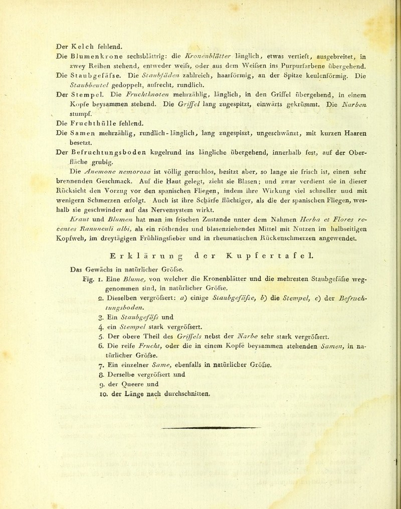 Die BJumenkrone sechsblättrig: die Kronenblätter länglich, etwas vertieft, ausgebreitet, in zwey Reihen stehend, entweder weifs, oder aus dem Weifsen ins Purpurfarbene übergehend. Die Staubgefäfse. Die Staubfäden zahlreich, haarförmig, an der Spitze keulenförmig. Die Staubbeutel gedoppelt, aufrecht, rundlich. Der Stempel. Die Fruchtknoten mehrzählig, länglich, in den Griffel übergehend, in einem Kopfe beysammen stehend. Die Griffel lang zugespitzt, einwärts gekrümmt. Die Karben stumpf. Die Fruchthülle fehlend. Die Samen mehrzählig, rundlich - länglich, lang zugespiszt, ungeschwänzt, mit kurzen Haaren besetzt. Der Befruchtungsboden kugelrund ins längliche übergehend, innerhalb fest, auf der Ober- fläche grubig. Die Anemone nemorosa ist völlig geruchlos, besitzt aber, so lange sie frisch ist, einen sehr brennenden Geschmack. Auf die Haut gelegt, zieht sie Blasen; und zwar verdient sie in dieser Rücksicht den Vorzug vor den spanischen Fliegen, indem ihre Wirkung viel schneller uud mit wenigem Schmerzen erfolgt. Auch ist ihre Schärfe flüchtiger, als die der spanischen Fliegen, wes- halb sie geschwinder auf das Nervensystem wirkt. Kraut und Blumen hat man im frischen Zustande unter dem Nahmen Herba et Flores re- centes Ranunculi albi, als ein röthendes und blasenziehendes Mittel mit Nutzen im halbseitigen Kopfweh, im dreytägigen Frühlingsfieber und in rheumatischen Rückenschmerzen angewendet. Erklärung der Kupfertafel. Das Gewächs in natürlicher Gröfse. Fig. I. Eine Blume, von welcher die Kronenblätter und die mehresten Staubgefäfse weg- genommen sind, in natürlicher Grölse. E. Dieselben vergröfsert: d) einige Staubgefäfse, b) die Stempel, c) der Befruch- tungsboden. 3. Ein Staubgefäß und 4. ein Stempel stark vergröfsert. 5- Der obere Theil des Griffels nebst der Narbe sehr stark vergröfsert. 6. Die reife Frucht, oder die in einem Kopfe beysammen stehenden Samen, in na- türlicher Grölse. 7. Ein einzelner Same, ebenfalls in natürlicher Gröfse. ß. Derselbe vergröfsert und g. der Queere und 10. der Länge nach durchschnitten.