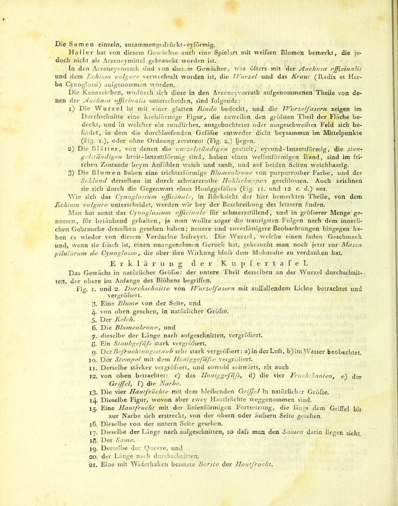 Die Samen einzeln, zusammengedrückt-eyförmig. Haller hat von diesem Gewächse auch eine Spielart mit weifsen Blumen bemerkt, die je- doch nicht als Arzeneymittel gebraucht worden ist. In den Arzeneyvorrath sind von diesem Gewächse, was öfters mit der Anchusa ojficina'lis und dem Echium vulgare verwechselt worden ist, die Wurzel und das Kraut (Radix et Her- ba Cynoglossi) aufgenommen worden. Die Kennzeichen, wodurch sich diese in den Arzeneyvorrath aufgenommenen Theile von de- nen der Anchusa ojficinalis unterscheiden, sind folgende: j) Die Wurzel ist mit einer glatten Ritide bedeckt, und die Wurzelfasern zeigen im Durchschnitte eine kreisförmige Figur, die zuweilen den gröbsten Theil der Fläche be- deckt, und in welcher ein rundliches, ausgebuchtetes oder ausgeschweiftes Feld sich be- findet, in dem die durchlaufenden Gefäfse entweder dicht beysammsn im Mittelpunkte (Fig, i.), oder ohne Ordnung .zerstreut (Fig. 2.) liegen. 2} Die Blätter, von denen die wurzelständigen gestielt, eyrund-lanzettförmig, die sten- gelständigen breit-lanzettförmig sind, haben einen wellenförmigen Rand, sind im fri- schen Zustande beym Anfühlen weich und sanft, und auf beiden Seiten weichhaarig. 3) Die Blumen haben eine trichterförmige Blumenkrone von purpurrother Farbe, und der Schlund derselben ist durch schwarzrothe Hohlschuppen geschlossen. Auch zeichnen sie sich durch die Gegenwart eines Honiggefäfses (Fig. ii. und t2. c. d.j) aus. Wie sich das Cynoglossum officinale, in Rücksicht der hier bemerkten Theile, von dem Echium vulgare unterscheidet, werden wir bey der Beschreibung des letztem finden. Man hat sonst das Cynoglossum officinale für schmerzstillend, und in grölserer Menge ge- nossen, für betäubend gehalten, ja man wollte sogar die traurigsten Folgen nach dem innerli- chen Gebrauche desselben gesehen haben; neuere und zuverlässigere Beobachtungen hingegen ha- ben es wieder von diesem Verdachte befreyet. Die Wurzel, welche einen faden Geschmack und, wenn sie frisch ist, einen unangenehmen Geruch hat, gebraucht man noch jetzt zur Massa pilularum de Cynoglosso, die aber ihre Wirkung blofs dem Mohnsafte zu verdanken hat. Erklärung der K u p f e r t a f e 1. Das Gewächs in natürlicher Gröfse: der untere Theil desselben an der Wurzel durchschniL teil, der obere im Anfänge des Bliihens begriffen. Fig. 1. und 2. Durchschnitte von Wurzelfasern mit auffallendem Lichte betrachtet und vergröfsert. 3. Eine Blume von der Seite, und 4. von oben gesehen, in natürlicher Gröfse. 5. Der Kelch. 6. Die Blumenhrone, und 7. dieselbe der Länge nach aufgeschnitten, vergröfsert. 3. Ein Staubgefäfs stark vergröfsert. g. T)ex Befruchtungsstaub sehr stark vergröfsert: a)in der Luft, b)im Wasser beobachtet. 10. Der Stempel mit dem Honiggefafse vergröfsert. 11. Derselbe stärker vergröfsert, und sowohl seitwärts, als auch 12. von oben betrachtet: c) das Honiggefäfs, d) die vier Fruchtknoten, e) der Griffel, f) die Narbe. 13. Die vier Hautfrüchte mit dem bleibenden Griffel in natürlicher Gröfse. l4- Dieselbe Figur, wovon aber zwey Hautfrüchte weggenommen sind. 15. Eine Hautfrucht mit der linienförmigen Fortsetzung, die längs dem Griffel bis zur Narbe sich erstreckt, von der obern oder äufsern Seite gesehen. 16. Dieselbe von der untern Seite gesehen. 17. Dieselbe der Länge nach aufgeschnitten, so dafs man den Samen darin liegen sieht, lg. Der Same. ig. Derselbe der Queere, und 20. der Länge nach durchschnitten. 21. Eine mit Widerhaken besetzte Borste der Hautfrucht.