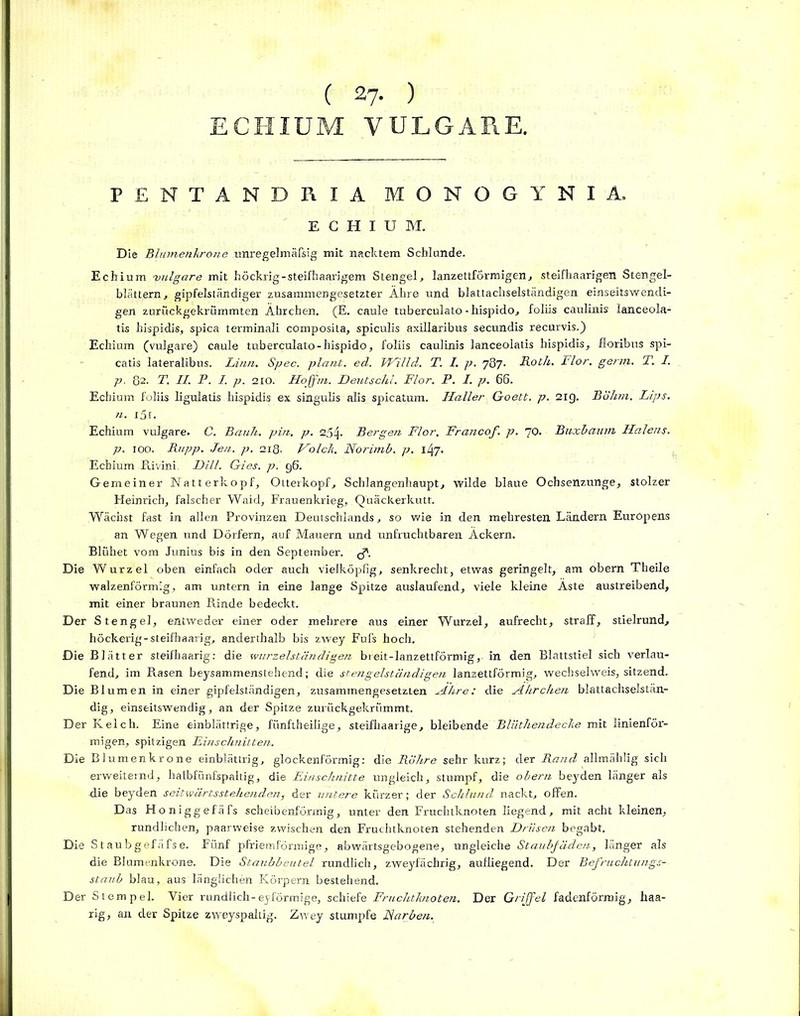 ( 27. ) ECHIUM VULGARE. PENTANDRIA MONOGYNIA. ECHIUM. Die BltnnefiJiro7ie unregelmäßig mit nacktem Schlunde. Echium 'vulgare mit höckrig-steifhaarigem Stengel, lanzettförmigen, steifhaarigen Stengel- blättern , gipfelständiger zusammengesetzter Ähre und blattachselständigen einseitswendi- gen zurückgekrümmten Ährchen. (E. caule tuberculato - hispido, foliis caulinis lanceola- tis hispidis, spica terminali composita, spiculis axillaribus secundis recurvis.) Echium (vulgare) caule tuberculato-hispido, foliis caulinis lanceolatis hispidis, floribus spi- catis lateralibus. Linn. Spec. plant, ecl. Willd. T. I. p. 787. Roth. Flor. genn. T. I. p. 82. T. II. P. I. p. 210. Hoff/n. Deutschi. Flor. P. I. p. 66. Echium foliis ligulatis hispidis ex singulis alis spicatum. Haller Goett. p. 21g. Böhm. Lips. n. l5l. Echium vulgare. C. Bauh. pin. p. 254. Bergen Flor. Francof. p. 70. Buxbaum Hafens. p. 100. Rupp. Jen. p. 218. Volck. Norimb. p. Echium Rivini. Dill. Gl es. p. 96. Gemeiner Natterkopf, Otterkopf, Schlangenhaupt, wilde blaue Ochsenzunge, stolzer Heinrich, falscher Waid, Frauenkrieg, Quackerkutt. Wächst fast in allen Provinzen Deutschlands, so wie in den mehresten Ländern Euröpens an Wegen und Dörfern, auf Mauern und unfruchtbaren Äckern. Blühet vom Juniüs bis in den September, g. Die Wurzel oben einfach oder auch vielköpfig, senkrecht, etwas geringelt, am obern Theile walzenförmig, am untern in eine lange Spitze auslaufend, viele kleine Äste austreibend, mit einer braunen Rinde bedeckt. Der Stengel, entweder einer oder mehrere aus einer Wurzel, aufrecht, straff, stielrund, höckerig-steifhaarig, anderthalb bis zwey Fufs hoch. Die Blätter steifhaarig: die wurzelständigen breit-lanzettförmig,- in den Blattstiel sich verlau- fend, im Rasen beysammenstehend; die stengelständigen lanzettförmig, wechselweis, sitzend. Die Blumen in einer gipfelständigen, zusammengesetzten Ähre: die Ährchen blattachselstän- dig, einseitswendig, an der Spitze zurückgekrümmt. Der Kelch. Eine einblättrige, fünftheilige, steifhaarige, bleibende Blüthendecke mit linienför- migen, spitzigen Einschnitt eit. Die Blumenkrone einblättrig, glockenförmig: die Röhre sehr kurz; der Rand allmählig sich erweiternd, halbfünfspaltig, die Einschnitte ungleich, stumpf, die obern beyden länger als die beyden seitwärtsstehendeii, der untere kürzer; der Schlund nackt, offen. Das Honiggefäfs scheibenförmig, unter den Fruchtknoten liegend, mit acht kleinen, rundlichen, paarweise zwischen den Fruchtknoten stehenden Drüsen begabt. Die Staubgefäfse. Fünf pfriemförmige, abwärtsgebogene, ungleiche Staubfäden, länger als die Blumenkrone. Die Staubbeutel rundlich, zweyfächrig, aufliegend. Der Befruchtungs- staub blau, aus länglichen Körpern bestehend. Der Stempel. Vier rundlich-eyförmige, schiefe Fruchtknoten. Der Griffel fadenförmig, haa- rig, an der Spitze zweyspaltig. Zwey stumpfe Narben.