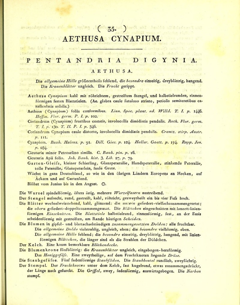 AETHUSA CYNAPIUM, PENTANDRIA DIGYNIA. AETHUSA. Die allgemeine Hülle gröfstentheils fehlend, die besondre einseitig, dreyblättrig, hangend. Die Kronenblätter ungleich. Die Frucht gerippt. Aethusa Cynapium kahl mit röhrichtem, gestreiftem Stengel, und halbstielrunden, rinnen- förmigen festen Blattstielen. (Ae. glabra caule fistuloso striato, petiolis semiteretibus ca- näliculads solidis.) Aethusa (Cynapium) foliis conformibus. Linn. Spec. plant, ed. TVilld. T. I. p. l446. Hoffm. Flor. germ. P. I. p. 102. Coriandrum (Cynapium) fructibus costatis, involucellis dimidiatis pendulis. Roth. Flor. germ. T. I. p. i3o. T. II. P. I. p. 346. Coriandrum Cynapium caule distorto, involucellis dimidiatis pendulis. Crantz, stirp. Austr. p. III. Cynapium. Buxb. Halejis. p. 91. Dill. Gies. p. \<2\. Haller. Goett. p. 174. Rupp. Jen. p. 284. Cicutaria minor Petroselino similis. C. Bauh. pin. p. 16. Cicutaria Apii folio. Joh. Bauh. hist. 3. Lib. 27, p. 7g. Garten-Gleifs, kleiner Schierling, Glanzpetersilie, Hundspetersilie, stinkende Petersilie, tolle Petersilie, Glanzpeterlein, faule Grete. Wächst in ganz Deutschland, so wie in den übrigen Ländern Europerjs an Hecken, auf Äckern und auf Gartenland. Blühet vom Junius bis in den August. O. Die Wurzel spindelförmig, öfters ästig, mehrere TVurzelfasern austreibend. Der Stengel aufrecht, rund, gestreift, kahl, röhricht, gezweytheilt ein bis vier Fufs hoch. Die Blätter wechselweisstehend, kahl, glänzend: die untern gefiedert-vielfachzusammengesetzt; die obern gefiedert-doppeltzusammengeseizt. Die Blättchen eingeschnitten mit lanzett-linien- förmigen Einschnitten. Die Blattstiele halbstielrund, rinnenförmig, fest, an der Easis scheidenförmig mit gestreiften, am Rande häutigen Scheiden. Die Blumen in gipfel- und blattachselständigen zusammengesetzten Dolden: alle fruchtbar. Die allgemeine Dolde vielstrahlig, ungleich, eben; die besondre vielblumig, eben. Die allgenieine Ilillle fehlend; die besondre einseitig, dreyblättrig, hangend, mit linien- förmigen Blättchen, die länger sind als die Strahlen der Döldchen. Der Kelch. Eine kaum bemerkbare Blüthendecke. Die Blumenkrone fünfblättrig: die Kronenblätter ungleich, eingebogen-herzförmig. Das Honiggefäfs. Eine zweytheilige, auf dem Fruchtknoten liegende Drüse. Die Staubgefäfse. Fünf fadenförmige Staubfäden. Die Staubbeutel rundlich, zweyfächrig. Der Stempel. Der Fruchtknoten unter dem Kelch, fast kugelrund, etwas zusammengedrückt, der Länge nach gefurcht. Die Griffel, zvvey, fadenförmig, auswärtsgebogen. Die Narben stumpf.