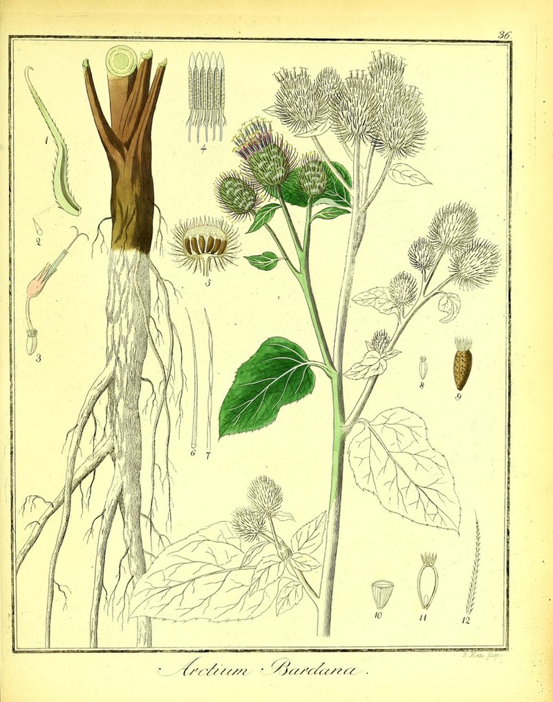 No text description is available for this image