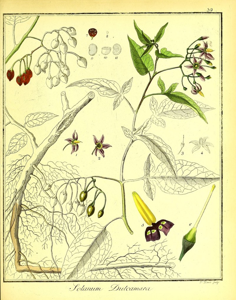 No text description is available for this image