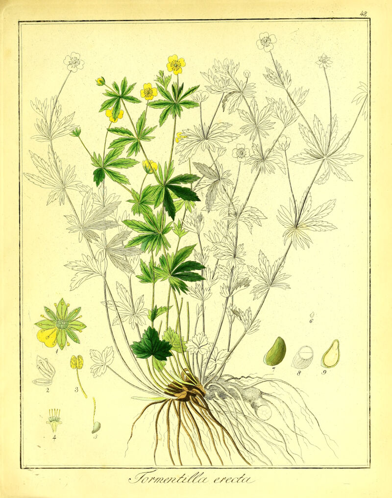 No text description is available for this image