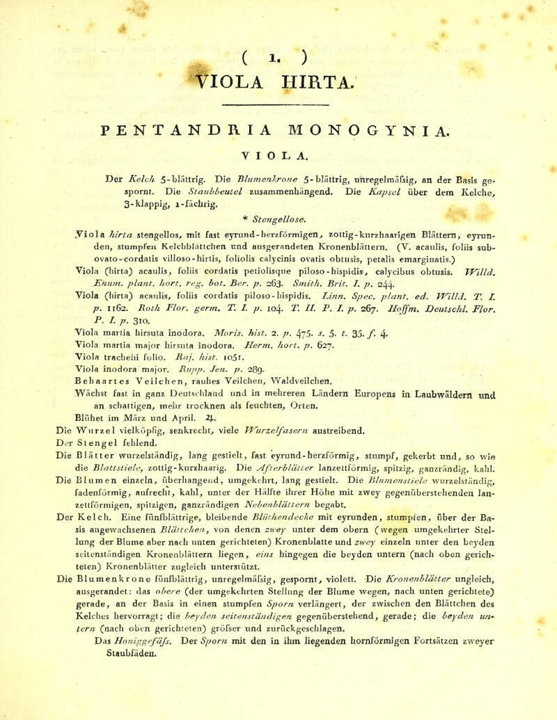 ( 1• ) VIOLA HIR.TA. PENTANDRIA MONOGYNIA. VIOLA. Der Kelch, 5-blättrig. Die Blumenkrone 5-blättrig, unregelmäfsig, an der Basis ge- spornt. Die Staubbeutel zusammenhängend. Die Kapsel über dem Kelche, 3-klappig, l-fächrig. * Stengellose. Viola hirta stengellos, mit fast eyrund-herzförmigen, zottig-kurzhaarigen Blättern, eyrun- den, stumpfen Kelchblättchen und ausgerandeten Kronenblättem. (Y. acaulis, foliis sub- ovato-cordatis villoso-hirtis, foliolis calycinis ovatis obtusis, petalis emarginatis.) Viola (hirta) acaulis, foliis cordatis petiolisque piloso-hispidis, calycibus obtusis. Willd. E'num. plant, hört. reg. bot. Ber. p. 263. Smith. Brit. I. p. 244. Viola (hirta) acaulis, foliis cordatis piloso-hispidis. Linn. Spec, plant, ed. Willd. T. I. p. 1162. Roth Flor. germ. T. 1. p. 104. T. II. P. I. p. 267. Ilojfm. Deutschi. Flor. P. I. p. 310. Viola martia hirsuta inodora. Moris. hist. 2. p. 475- s. 5• t. 35. f 4 Viola martia major hirsuta inodora. Herrn, hört. p. 627. Viola trachelii folio. Raj. hist. io5t. Viola inodora major. Rupp. Jen. p. 2ßg. Behaartes Veilchen, rauhes Veilchen, Waldveilchen. .Wächst fast in ganz Deutschland und in mehreren Ländern Europens in Laubwäldern und an schattigen, mehr trocknen als feuchten. Orten. Blühet im März und April. 2j.. Die Wurzel vielköpfig, senkrecht, viele Wurzelfasern austreibend. Der Stengel fehlend. Die Blätter wurzelständig, lang gestielt, fast eyrund-herzförmig, stumpf, gekerbt und, so wie die Blattstiele, zottig-kurzhaarig. Die Afterblätter lanzettförmig, spitzig, ganzrändig, kahl. Die Blumen einzeln, überhangend, umgekehrt, lang gestielt. Die Blumenstiele wurzelständig, fadenförmig, aufrecht, kahl, unter der Hälfte ihrer Höhe mit zwey gegenüberstehenden lan- zettförmigen, spitzigen, ganzrändigen Nebenblättern begabt. Der Kelch. Eine fünfblättrige, bleibende Bliithendeche mit eyrunden, stumpfen, über der Ba- sis angewachsenen Blättchen, von denen zwey unter dem obern (wegen umgekehrter Stel- lung der Blume aber nach unten gerichteten) Kronenblatte und zwey einzeln unter den beyden seitenständigen Kronenblättern liegen, eins hingegen die beyden untern (nach oben gerich- teten) Kronenblätter zugleich unterstützt. Die Blumenkrone fünfblättrig, unregelmäfsig, gespornt, violett. Die Krone?iblätter ungleich, ausgerandet: das obere (der umgekehrten Stellung der Blume wegen, nach unten gerichtete) gerade, an der Basis in einen stumpfen Sporn verlängert, der zwischen den Blättchen des Kelches hervorragt; die beyden seitenständigen gegenüberstehend, gerade; die beyden un- tern (nach oben gerichteten) gröfser und zurückgeschlagen. Das Honiggefäfs. Der Sporn mit den in ihm liegenden hornförmigen Fortsätzen zweyer Staubfäden.