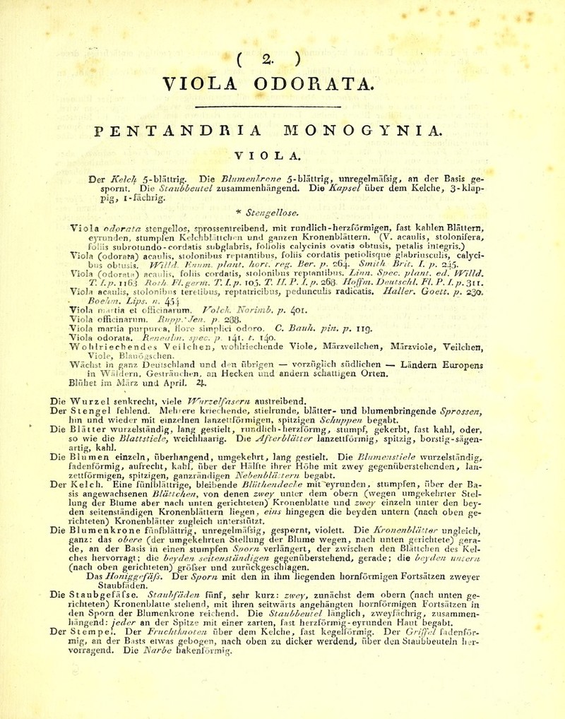 ( 2. ) VIOLA ODORATA, PENTANDRIA MONOGYNIA. VIOLA. Der Kelch 5-blättrig. Die Blumenkrone 5-blättrig, unregelmäßig, an der Basis ge- spornt. Die Staiibbeutel zusammenhängend. Die Kapsel über dem Kelche, 3-klap- pig, i-fächrig. * Stengellose. Viola odprata stengellos, sprossentreibend, mit rundlich-herzförmigen, fast kahlen Blättern, eyrunden, stumpfen Kelcnbliittchen und ganzen Kronenblättern. (V. acaulis, stolonifera, foiiis subrotundo-cordatis subglabris, foliohs calycinis ovatis obtusis, petalis integris.) Viola (odorata) acaulis, stolonibus reptantibus, foiiis cordatis petiolisque glabriusculis, calyci- bus obtusis. Willd. Knnm. plant, hört. reg. Ber. p. 264. Smith Brit. I. p. ai5. Viola (odorata) acaulis, foiiis cordatis, stolonibus reptantibus. Linn. Spec. plant, ed'. Willd. T. I. p. 1163 Roth Fl. gerrii. T. I. p. ioj. T. II. P. I. p. 268. Hoffm. Deutschi. Fl. P. I. p. 311. Viola acaulis, stolonibus teretibus, reptatricibus, pedunculis radicatis, Haller. Goett. p. 230. Boehm. Lips. n. 454 Viola martia et officinarum. Kolck. Norimb, p. 401. Viola officinarum. Riipp.' Jen. p. 288* Viola martia purpurea. Höre shnplici odoro. C. Banh. pin. p. 11g, Viola odorata. -Beneahn. spec. p. iA\. t. 140. Wohlriechendes Veilchen, wohlriechende Viole, Märzveilchen, Märzviole, Veilchen, Viole, Blauögschen. Wächst in ganz Deutschland und den übrigen — vorzüglich südlichen —- Ländern Europens in Wäldern, Gesträuchen, an Hecken und andern schattigen Orten. Blühet im März und April. 2J.. Die Wurzel senkrecht, viele Wurzelfasern austreibend. Der Stengel fehlend. Mehrere kriechende, stielrunde, blätter- und blumenbringende Sprossen, hm und wieder mit einzelnen lanzettförmigen, spitzigen Schuppen begabt. Die Blätter wurzelständig, lang gestielt, rundlich-nerzförmg, stumpf, gekerbt, fast kahl, oder, so wie die Blattstiele, weichhaarig. Die Afterblätter lanzettförmig, spitzig, borstig-sägen- artig, kahl. Die Blumen einzeln, überhangend, umgekehrt, lang gestielt. Die Blumenstiele wurzelständig, fadenförmig, aufrecht, kahl, über der Hälfte ihrer Höhe mit zwey gegenüberstehenden, lan- zettförmigen, spitzigen, ganzrändigen Nebenblättern begabt. Der Kelch. Eine fünfblättrige, bleibende Bliithendecke mit'eyrunden, stumpfen, über der Ba- sis angewachsenen Blättchen, von denen zwey unter dem obern (wegen umgekehrter Stel- lung der Blume aber nach unten gerichteten) Kronenblatte und zwey einzeln unter den bey- den seitenständigen Kronenblättern liegen, eins hingegen die beyden untern (nach oben ge- richteten) Kronenblätter zugleich unterstützt. Die Blumenkrone fünfblättrig, unregelmäßig, gespornt, violett. Die Kronenblätter ungleich, ganz: das obere (der umgekehrten Stellung der Blume wegen, nach unten gerichtete) gera- de, an der Basis in einen stumpfen Sporn verlängert, der zwischen den Blättchen des Kel- ches hervorragt; die beyden seitenständigen gegenüberstehend, gerade; die beyden untern (nach oben gerichteten) gröfser und zurnckgeschlagen. Das Honiggefäfs. Der Sporn mit den in ihm liegenden hornförmigen Fortsätzen zweyer Staubfäden. Die Staubgefäfse. Staubfäden fünf, sehr kurz: zwey, zunächst dem obern (nach unten ge- richteten) Kronenblatte stehend, mit ihren seitwärts angehängten hornförmigen Fortsätzen in den Sporn der Blumenkrone reichend. Die Staubbeutel länglich, zweyfächrig, zusammen- hängend: jeder an der Spitze mit einer zarten, fast herzförmig-eyrunden Haut begabt. Der Stempel. Der Fruchtknoten über dem Kelche, fast kegelförmig. Der Griffel fadenför- mig, an der Basts etwas gebogen, nach oben zu dicker werdend, über den Staubbeuteln her- vorragend. Die Narbe hakenförmig.