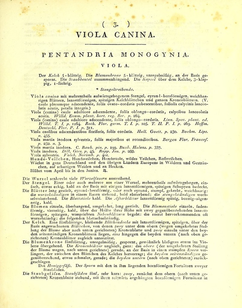 ( 3- ) VIOLA CANINA, PENTANDRIA MONOGYNIA. VIOLA. Der Kelch 5 - blättrig. Die Bltimenkrone 5-blättrig, unregelmäfsig, an der Basis ge- spornt. Die Staubbeutel zusammenhängend. Die Kapsel über dem Kelche, 3-klap- pig, i -fächrig. * Stengeltreibende. Viola canina mit mehrentheils aufwärtsgebogenem Stengel, eyrund-herzförmigen, weichhaa- rigen Blättern, lanzettförmigen, spitzigen Kelchblättchen und ganzen Kronenblättern. (V. caule plerumque adscendente, foliis ovato-cordatis pubescentibus, foliolis calycinis lanceo- latis acutis, petalis integris.) Viola (canina) caule adultiore adscendente, foliis oblongo - cordatis, calycibus lanceolatis acutis. TVilld. Enum. plant, hört. reg. Ber. p. 264. Viola (canina) caule adultiore adscendente, foliis oblongo - cordatis. Linn. Spec. plant, ed. JVilld. T. I. p. 1164. Roth. Flor. germ. T. I. p. Io5- T. II. P. I. p. 26g. Hoffm. Deutschi, Flor. P. I. p. 311. Viola caulibus adscendentibus floriferis, foliis cordatis. Hall. Goett. p. 230. Boehm. Lips. n- 455. Viola martia inodora sylvestris, foliis majoribus et rotundioribus. Bergen Flor. Francof. p. 232. n. 3. Viola martia inodora. C. Bauh. pin. p. igg. Buxb. Halens, p. 337* Viola inodora. Dill. Gies. p. 45. Rupp. Jen. p. 288• Viola sylvestris. Holck. Norimb. p. 4or. Hunde-Veilch en, Hundsveilchen, Hundsviole, wildes Veilchen, Rofsveilchen. Wächst in ganz Deutschland und den übrigen Ländern Europens in Wäldern und Gesträu- chen, auf schattigen Weiden und an Hecken. Blühet vom April bis in den Junius. 2f.. Die Wurzel senkrecht viele kVurzelfasern austreibend. Der Stengel. Einer oder auch mehrere aus einer Wurzel, mehrentheils aufwärtsgebogen, ein- fach, etwas eckig, kahl an der Basis mit einigen lanzettförmigen, spitzigen Schuppen bedeckt. Die Blätter lang gestielt, eyrund-herzförmig, oder auch eyrund, stumpf, gekerbt, weichhaarig: die wurzelständigen in einem Rasen stehend, bald absterbend; die stengelständigen wech- selweisstehend. Die Blattstiele kahl. Die Afterblätter lanzettförmig spitzig, borstig-sägen- artig, kahl. Die Blumen einzeln, überhangend, umgekehrt, lang gestielt. Die Blumenstiele einzeln, faden- förmig, vierseitig, kahl, über der Hälfte ihrer Höhe mit zwey gegenüberstehenden lanzett- förmigen, spitzigen, wimprichten Nebenblättern begabt: die zuerst hervorkommenden oft wurzelständig; die folgenden blattachselständig. Der Kelch. Eine fünfblättrige, bleibende Bliithendecke mit lanzettförmigen, spitzigen, über der Basis angewachsenen Blättchen, von denen zwey unter dem obern (wegen umgekehrter Stel- lung der Blume aber nach unten gerichteten) Kronenblatte und zwey einzeln unter den bey- den seitenständigen Kronenblättern liegen, eins hingegen die beyden untern (nach oben ge- richteten) Kronenblätter zugleich unterstützt. Die Blumenkrone fünfblättrig, unregelmäfsig, gespornt, gewöhnlich blafsgrau etwas ins Vio- lette übergehend. Die Kronenblätter ungleich, ganz: das obere (der umgekehrten Stellung der Blume wegen, nach unten gerichtete) gerade, an der Basis in einen stumpfen Sporn ver- längert, der zwischen den Blättchen des Kelches hervorragt; die beyden seitenständigen ge- genüberstehend, etwas schmaler, gerade; die beyden untern (nach oben gerichteten) zurück- geschlagen Das Honiggefäfs. Der Sporn mit den in ihm liegenden hornförmigen Fortsätzen zweyer Staubfäden. Die Staubgefäfse. Staubfäden fünf, sehr kurz: zwey, zunächst dem obern (nach unten ge- richteten) Kronenblatte stehend, mit ihren seitwärts angehängten hornförmigen Fortsätzen in