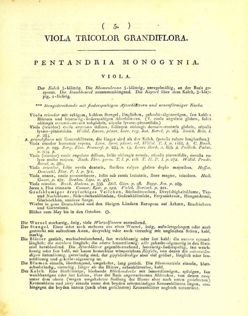 VIOLA TRICOLOR GRANDIFLORA. PENTANDRIA MONOGYNIA. VIOLA. Der Kelch 5-blättrig. Die Blumenkrone 5-blättrig, unregelmäfsig, an der Basis ge- spornt. Die Staubbeutel zusammenhängend. Die Kapsel über dem Kelch, 3-hlap- pig, i-fächrig. *** Stengeltreibende mit fiederspaltigen Afterblättern und urnenförmiger Narbe. Viola tricolor mit eckigem, kahlem Stengel, länglichen, gekerbt-sägenartigen, fast kahlen Blättern und leyerartig - fiederspaltigen Afterbiät! ern. (V. caule angulato glabro, folüs oblongis crenato-serratis subglabris, stipulis lyrato-pinnatifidis.) •Viola (tricolor) caule angulato diffuso, foliisque oblongis dentato-crenatis glabris, stipulis lyrato-pinnatifidis. Willd. Enum. plant, hört. reg. bot. Berol. p. 263. Smith. Brit. I. p. 234. ß. grandiflora mit Kronenblättern, die länger sind als der Kelch, (petalis calyce longioribus.) Viola tricolor hortensis repens. Linn. Spec. plant, ed. Willd. T. I. p. 1x68. ß■ C. Bauh. pin. p. 19g. Berg. Flor. Francof. p. 234- n- x3* Leers Herb. n. 635. ß- Pollich. Palat. n. 83g- ß- Viola (tricolor) caule angulato diffusa, foliis oblongis retusis, stipulis pinnatifidis, corolla ca- lyce multo majore. Roth. Flor. germ. T. I. p. 106. T. II. P. I. p. 272. Willd. Prodr. Berol. n. 361. Viola tricolor, foliis ovatis dentatis, floribus calyce glabro duplo majoribus. Hojfm. DeutschU Flor. P. I. p. 31 !• Viola annua, caule procumbente, foliis sub ramis laciniatis, flore magno, tricolore. Hall. Goett. p. 23r. Boehm. Lips. n. 453- Viola tricolor. Bnxb. Halens, p. 338- Dill. Gies. p. g6. Rupp. Jen. p. 289. Jacea s. Flos trinitatis. Camer. Epit. p. 912. Ko Ick. Norimb. p. 221. Grofsblumiges dreyfarbiges Veilchen, Stiefmütterchen, Dreyfaltigkeitsblume, Tag- und Nachtmume, Siebenfarbenblümlein, Gedenkblümlein, Freysamkraut, Hungerskraut, Glarböcklein, unnütze Sorge. Wächst in ganz Deutschland und den übrigen Ländern Europens auf Ackern, Brachäckern und Gartenland. Blühet vom May bis in den Öctober. Q. Die Wurzel stockartig, ästig, viele Wurzelfasern austreibend. Der Stengel. Einer oder auch mehrere aus einer Wurzel, ästig, aufwärtsgebogen oder auch gestreckt mit aufrechten Ästen, dreyeckig oder auch viereckig mit ungleichen Seiten, kahl, markig. Die Blätter gestielt, Wechsel weisstehend, fast weichhaarig oder fast kahl: die untern eyrund- länglich; die mittlern länglich; die obern lanzettförmig: alle gekerbt-sägenartig in den Blatt- stiel herablaufend. Die Afterblätter gegenüberstehend, leyerartig-fiederspaltig, fast weich- haarig oder fast kahl, mit kaum bemerkbar wimperichten Zipfeln, von denen die seitenstän- digen linienförmig, ganzrändig sind, der gipfelständige aber viel gröfser, länglich oder lan- zettförmig und gt kerbt -sägenartig ist. Die Blumen einzeln, überhangend, umgekehrt, lang gestielt. Die Blumenstiele einzeln, blatt- achselständig, vierseitig, länger als die Blätter, nebenblätterlos, kahl. Der Kelch. Eine fünfblättrige, bleibende Bliithendecke mit lanzettförmigen, spitzigen, fast weichhaarigen oder fast kahlen, über der Basis angewachsenen Blättchen, von denen zwey unter dem obern (wegen umgekehrter Stellung der Blume aber nach unten gerichteten) Kronenblatte und zwey einzeln unter den beyden seitenständigen Kronenblättern liegen, eins hingegen die beyden unter» (nach oben gerichteten) Kronen blätter zugleich unterstützt.