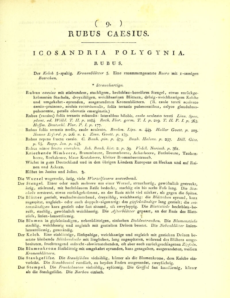 ( 9- ) RUBUS CAESIUS ICOSANDRIA POLYGYNIA. RUBUS. Der Kelch 5-spallig. Kronenblätter 5- Eine zusammengesetzte Beere mit i-sämigen Beerchen. * Strauchartige. Rubus caesius mit stielrundem, stachligem, hechtblau-bereiftem Stengel, etwas zurückge- krümmten Stacheln, dreyzähligen, weichhaarigen Blättern, drüsig-weichhaarigem Kelche und umgekehrt- eyrunden, ausgerandeten Kronenblättern. (R. caule tereti aculeato caesio-pruinoso, aculeis recurviusculis, foliis ternatis pubescentibus, calyce glanduloso- pubescente, petalis obovatis emarginatis.) Rubus (caesius) foliis ternatis subnudis: lateralibus hilobis, caule aculeato tereti Linn. Spec. plant, ed. Willd. T. II. p. 1084' Roth. Flor. germ. T. I. p. 2ig. T. II. P. I p. 563. Hoffm. Deutschi. Flor. P. I. p. 177. Rubus foliis ternatis nudis, caule aculeato. Boehm. Lips. n. 449* Haller Goett. p. 10g. Nonne Erford. p. 206. n. I. Zinn. Goett. p. i3g. Rubus repens fructu caesio. C. Bauh. ~pin. p. 479. Buxb. Halens, p. 237. Dill. Gies. p. 65. Rupp. Jen. p. 143. Rubus minor fructu coeruleo. Joh. Bauh. hist. 2. p. 5g» Ko Ick. Norimb. p. 361. Kriechende Himbeere, Brammbeere, Brommbeere, Ackerbeere, Fuchsbeere, Tauben- beere, Bocksbeere, blaue Kratzbeere, kleiner Brommbeerstraucb. Wächst in ganz Deutschland und in den übrigen Ländern Europens an Hecken und auf R.ai- nen und Ackern. Blühet im Junius und Julius, f). Die Wurzel wagerecht, ästig, viele Wurzelfasern austreibend. Der Stengel. Einer oder auch mehrere aus einer Wurzel, strauchartig, gewöhnlich gestreckt, ästig, stielrund, mit hechtblauem Reife bedeckt, stachlig ein bis sechs Fufs lang. Die Sta- cheln zerstreut, etwas zurückgekrümmt, an der Basis nicht viel stärker, als gegen die Spitze. Die Blätter gestielt, Wechsel weisstehend, dreyzählig, weichbaarig: die Blättchen eyrund, kurz zugespitzt, ungleich- oder auch doppelt-sägenartig: das gipfelständige lang gestielt; die sei- tenständigen kurz gestielt oder fast sitzend, oft zweylappig. Die Blattstiele hechtblaü-be- reift, stachlig, gewöhnlich weichhaarig. Die Nfterblätter gepaart, an der Basis des Blatt- stiels, linien-lanzettförmig. V Die Blumen in gipfelständigen, nebenblättrigen, einfachen Doldentrauben. Die Blumenstiele stachlig, weichhaarig und zugleich mit gestielten Drüsen besetzt. Die Nebenblätter linien- lanzettförmig, ganzrändig. Der Kelch. Eine einblättrige, fünfspaltige, weichhaarige und zugleich mit gestielten Drüsen be- setzte bleibende Bliithendecke mit länglichen, lang zugespitzten, während des Blühens ausge- breiteten, fruchttragend aufrecht-abwärtsstehenden, oft aber auch zurückgeschlagenen Zipfeln. Die Blumenkrone fünfblättrig mit umgekehrt eyrunden, kurz genagelten, ausgerandeten, weifsen Kronenblättern. Die Staubgefäfse. Die Staubfäden vielzählig, kürzer als die Blumenkrone, dem Kelche ein- verleibt. Die Staubbeutel rundlich, an beyden Enden ausgerandet, zweyfächrig. Der Stempel. Die Fruchtknoten vielzählig, eyförmig. Die Griffel fast haarförmig, kürzer als die Staubgefäfse. Die Narben einfach.