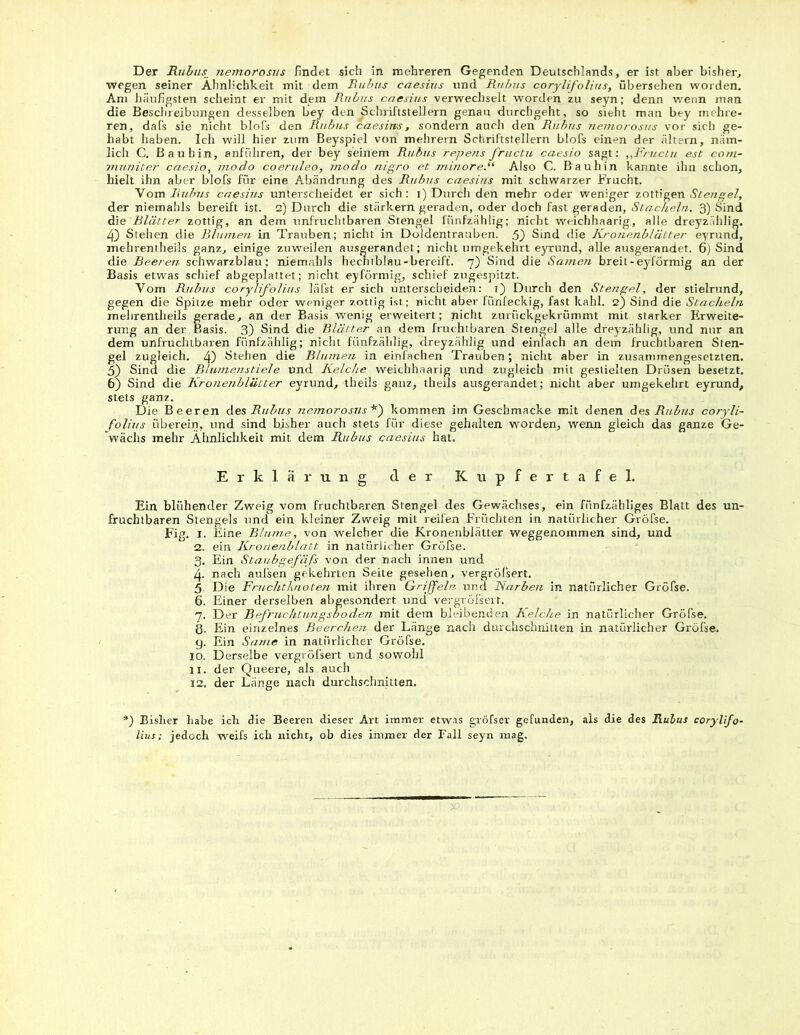 Der Ruins nemorosus findet sich in mehreren Gegenden Deutschlands, er ist aber bisher, wegen seiner Ähnlichkeit mit dem Ruins caesius und Ruins corylifolius, übersehen worden. Am häufigsten scheint er mit dem Ruins caesius verwechselt worden zu seyn; denn wenn man die Beschreibungen desselben bey den Schriftstellern genau durchgeht, so sieht man bey mehre- ren, dafs sie nicht blofs den Ruins caesiws, sondern auch den Ruins nemorosus vor sich ge- habt haben. Ich will hier zum Beyspiel von mehrern Schriftstellern blofs einen der ältern, näm- lich C. Bau hin, anführen, der bey seinem Ruins repens fructu caesio sagt: „Fructu est com- mimiter caesio, modo coeruleo, modo nigro et minore.“ Also C. Bau hin kannte ihn schon, hielt ihn aber blofs für eine Abändrung des Ruins caesius mit schwarzer Frucht. Vom Ruins caesius unterscheidet er sich: i) Durch den mehr oder weniger zottigen Stengel, der niemahls bereift ist. 2) Durch die stärkern geraden, oder doch fast geraden, Stacheln. 3) Sind die Blätter zottig, an dem unfruchtbaren Stengel fiinfzählig; nicht weichhaarig, alle dreyzählig. 4) Stehen die Blumen in Trauben; nicht in Doldentrauben. 5) Sind die Kronenblätter eyrund, mehrentheils ganz, einige zuweilen ausgerandet; nicht umgekehrt eyrund, alle ausgerandet. 6) Sind die Beeren schwarzblau; niemahls hecntblau-bereift. 7) Sind die Samen breit-eyförmig an der Basis etwas schief abgeplattet; nicht eyförmig, schief zugespitzt. Vom Ruins corylifolius läfst er sich unterscheiden: 1) Durch den Stengel, der stielrund, gegen die Spitze mehr oder weniger zottig ist; nicht aber fünfeckig, fast kahl. 2) Sind die Stacheln mehrentheils gerade, an der Basis wenig erweitert; nicht zurückgekrümmt mit starker Erweite- rung an der Basis. 3) Sind die Blätter an dem fruchtbaren Stengel alle dreyzählig, und nur an dem unfruchtbaren fünfzählig; nicht fünfzählig, dreyzählig und einfach an dem fruchtbaren Sten- gel zugleich. 4) Stehen die Blumen in einfachen Trauben; nicht aber in zusammengesetzten. 5) Sind die Blumenstiele und Kelche weichhaarig und zugleich mit gestielten Drüsen besetzt. 6) Sind die Kronenblätter eyrund, theils ganz, theils ausgerandet; nicht aber umgekehrt eyrund, stets ganz. Die Beeren des Ruins nemorosus*) kommen im Geschmacke mit denen des Ruins coryli- folius überein, und sind bisher auch stets für diese gehalten worden, wenn gleich das ganze Ge- wächs mehr Ähnlichkeit mit dem Rubus caesius hat. Erklärung der Kupfertafel. Ein blühender Zweig vom fruchtbaren Stengel des Gewächses, ein fünfzähliges Blatt des un- fruchtbaren Stengels und ein kleiner Zweig mit reifen Früchten in natürlicher Gröfse. Fig. I. Eine Blume, von welcher die Kronenblätter weggenommen sind, und 2. ein Kronenblatt in natürlicher Gröfse. 3. Ein Staubgefäfs von der nach innen und 4. nach aulsen gekehrten Seite gesehen, vergrößert. 5 Die Fruchtknoten mit ihren Griffeln und Narben in natürlicher Gröfse. 6. Einer derselben abgesondert und vergröfsert. 7. Der Befruchtungsboden mit dem bleibenden Kelche in natürlicher Gröfse. 8- Ein einzelnes Beerchen der Länge nach durchschnitten in natürlicher Gröfse. g. Ein Same in natürlicher Gröfse. 10. Derselbe vergröfsert und sowohl 11. der Queere, als auch 12. der Länge nach durchschnitten. *) Bisher habe ich die Beeren dieser Art immer etwas gröfser gefunden, als die des Rulus corylifo- lius ; jedoch weifs ich nicht, ob dies immer der Fall seyn mag. •;3ß.
