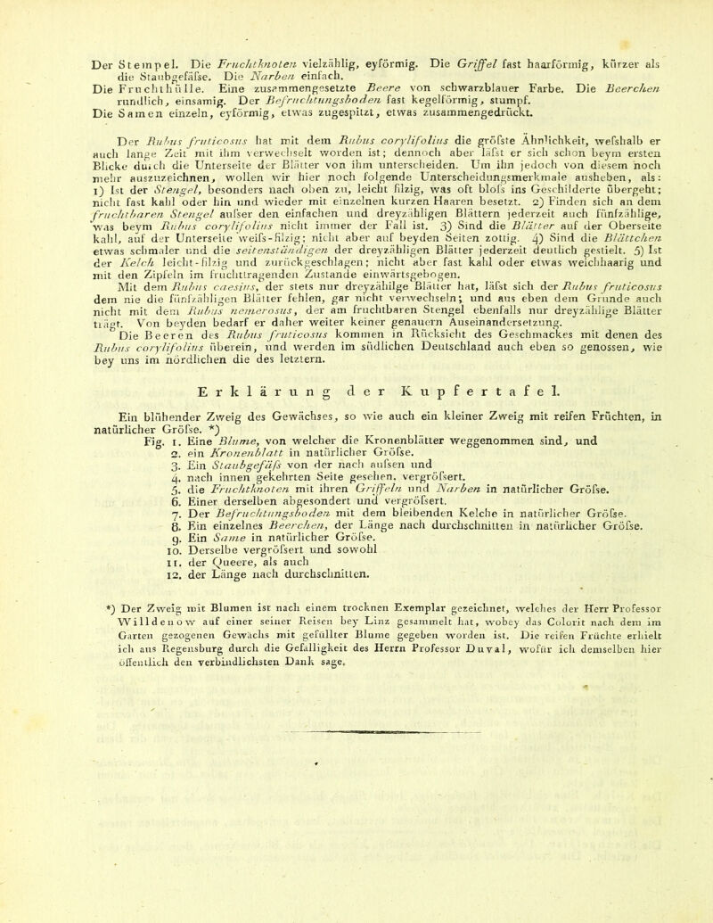 Der Stempel. Die Fruchtknoten vielzählig, eyförmig. Die Griffel fast haarförmig, kürzer als die Staubgefäfse. Die Narben einfach. Die Fruchthülle. Eine zusammengesetzte Beere von scbwarzblauer Farbe. Die Beerchen rundlich, einsamig. Der Befruchtungsboden fast kegelförmig, stumpf. Die Samen einzeln, eyförmig, etwas zugespitzt, etwas zusammengedrückt. Der Rubus fruticosus hat mit dem Rubus corylifolius die gröfste Ähnlichkeit, wefshalb er auch lange Zeit rnit ihm verwechselt worden ist; dennoch aber läfst er sich schon beym ersten Blicke duich die Unterseite der Blätter von ihm unterscheiden. Um ihn jedoch von diesem noch mehr auszuzeichnen, wollen wir hier noch folgende Unterscheidungsmerkmale ausheben, als: i) Ist der Stengel, besonders nach oben zu, leicht filzig, was oft blofs ins Geschilderte übergeht; nicht fast kahl oder hin und wieder mit einzelnen kurzen Haaren besetzt. 2) Finden sich an dem fruchtbaren Stengel aufser den einfachen und dreyzähligen Blättern jederzeit auch fünfzählige, was beym Rubus corylifolius nicht immer der Fall ist. 3) Sind die Blätter auf der Oberseite kahl, auf der Unterseite weifs-filzig; nicht aber auf beyden Seiten zottig. 4) Sind die Blättchen etwas schmaler und die seitenständigen der drej'zähligen Blätter jederzeit deutlich gestielt. 5) Ist der Kelch leicht-filzig und zurückgeschlagen; nicht aber fast kahl oder etwas weichhaarig und mit den Zipfeln im fruchttragenden Zustande einwärtsgebogen. Mit dem Rubus caesius, der stets nur dreyzähilge Blätter hat, läfst sich der Rubus fruticosus dem nie die fi'mfzähligen Blätter fehlen, gar nicht verwechseln; und aus eben dem Grunde auch nicht mit dem Rubus Jiemerosus, der am fruchtbaren Stengel ebenfalls nur dreyzählige Blätter trägt. Von beyden bedarf er daher weiter keiner genauem Auseinandersetzung. Die Beeren des Raibus fruticosus kommen in Rücksicht des Geschmackes mit denen des Rubus corylifolius überein, und werden im südlichen Deutschland auch eben so genossen, wie bey uns im nördlichen die des letztem. Erklärung der Kupfertafel. Ein blühender Zweig des Gewächses, so wie auch ein kleiner Zweig mit reifen Früchten, in natürlicher Gröfse. Fig. 1. Eine Blume, von welcher die Kronenblätter weggenommen sind, und 2. ein Kronenblatt in natürlicher Gröfse. 3. Ein Staubgefäß von der nach aufsen und 4. nach innen gekehrten Seite gesehen, vergröfsert. 5. die Fruchtknoten mit ihren Griffeln und Narben in natürlicher Gröfse. 6. Einer derselben abgesondert und vergröfsert. 7. Der Befruchtungsboden mit dem bleibenden Kelche in natürlicher Gröfse. 8. Ein einzelnes Beerchen, der Länge nach durchschnitten in natürlicher Gröfse. g. Ein Same in natürlicher Gröfse. IO. Derselbe vergröfsert und sowohl ir. der Queere, als auch 12. der Länge nach durchschnitten. *) Der Zweig mit Blumen ist nach einem trocknen Exemplar gezeichnet, welches der Herr Professor Willdenow auf einer seiner Freisen bey Linz gesammelt hat, wobey das Colorit nach dem im Garten gezogenen Gewächs mit gefüllter Blume gegeben worden ist. Die reifen Früchte erhielt ich aus Regensburg durch die Gefälligkeit des Herrn Professor Duval, wofür ich demselben hier öffentlich den verbindlichsten Dank sage,