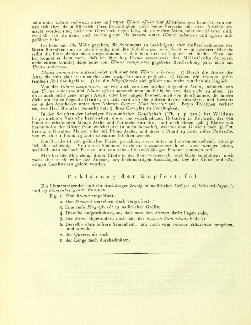 habe unter Ulmus suberosa zwey und unter Ulmus effusa vier Abänderungen bemerkt, von de- nen sich aber, da in Rücksicht ihrer Beständigkeit noch keine Versuche mit dem Aussäen ge- macht worden sind, nicht mit Gewifsheit sagen läfst, ob sie wahre Arten, oder nur Abarten sind, wefshalb ich sie denn auch vorläufig nur als letztere unter Ulmus suberosa und effusa auf- geführet habe. Ich habe mir alle Mühe gegeben, die Synomyma zu berichtigen; aber die Beschreibungen der altern Botaniker sind so unvollständig und ihre Abbildungen so schlecht — in letzterer Hinsicht selbst die Flora danica nicht ausgenommen — dafs man stets in Ungewißheit bleibt. Eben da- her kommt es denn auch, dafs ich hier bey Ulmus campestris das Miller’sche Synonym nicht citiren konnte; denn seine von Ulmus campestris gegebene Beschreibung pafst auch auf Ulmns suberosa. Ulmus campestris unterscheidet sich aber von Ulmus suberosa: i) Durch die Rinde der Äste, die stets glatt ist; niemahls aber rissig-korkartig-geflügelt. 2) Haben die Blumen gröfs- tentheils fünf Staubgefäße. 3) Ist die Flügelfrucht viel gröfser und mehr rundlich als länglich. Von der Ulmus campestris, so wie auch von den beyden folgenden Arten, nämlich von der Ulmus suberosa und Ulmus effusa sammelt man im Frühjahr von den nicht zu alten, je- doch auch nicht ganz jungen Ästen, oder bey jungen Bäumen auch von dem Stamme, die innere dicht am Holze liegende Rinde, so, dafs man also die äufsere davon absondert, und bewahrt sie in den Apotheken unter dem Nahmen Cortex Ulmi inferior auf. Beym Trocknen verliert sie, wie Herr Remler bemerkt hat, % ihres Gewichts an Feuchtigkeit. In den Schriften der Leipziger ökonomischen Gesellschaft (Th. t. p. 2X0.) hat Wilden- hayn mehrere Versuche beschrieben, die er mit verschiedenen Holzarten in Rücksicht der von ihnen zu erhaltenden Menge Asche und Pottasche anstellte , und nach diesen gab -J Klafter von Stammbolze der Rüster (von welcher Art ist nicht bemerkt), welches dem Gewicht nach 4f Ctn. betrug, 2 Dresdner Merzen oder tof Pfund Asche, und diese 1 Pfund 19 Lolh roher Pottasche/ von welcher I Pfund 13 Loth calcinirter erhalten wurde. Die Pein de ist von gelblicher Farbe, geruchlos, etwas bitter und zusammenziehend, vorzüg- lich aber schleimig. Von altern Stämmen ist sie mehr zusammenziehend, aber weniger bitter, Wefshalb man sie nach Banau nur von zehn- bis zwölfjährigen Bäumen sammeln soll. Man hat die Abkochung dieser Rinde in der Bauchwassessucht und Gicht empfohlen; noch mehr aber ist sie wider den Aussatz, bey flechtenartigen Ausschlägen, bey der Krätze und bös- artigen Geschwüren gelobt worden. Erklärung der Kupfertafel. Ein blumentragender und ein fruchttrager Zweig in natürlicher Gröfse; a) blätterbringende und b) blumenbringende Knospen. Fig. I. Eine Blume vergröfsert. 2. Der Stempel derselben stark vergröfsert. 3. Eine reife Flügelfrucht in natürlicher Gröfse. 4. Dieselbe aufgeschnitten, so, dafs man den Samen darin liegen sieht. 5. Der Same abgesondert, noch mit der äufsern Samenhant bedeckt. 6. Derselbe ohne äufsere Samenhaut, nur noch vom innern Häutchen umgeben, und sowohl 7. der Queere, als auch