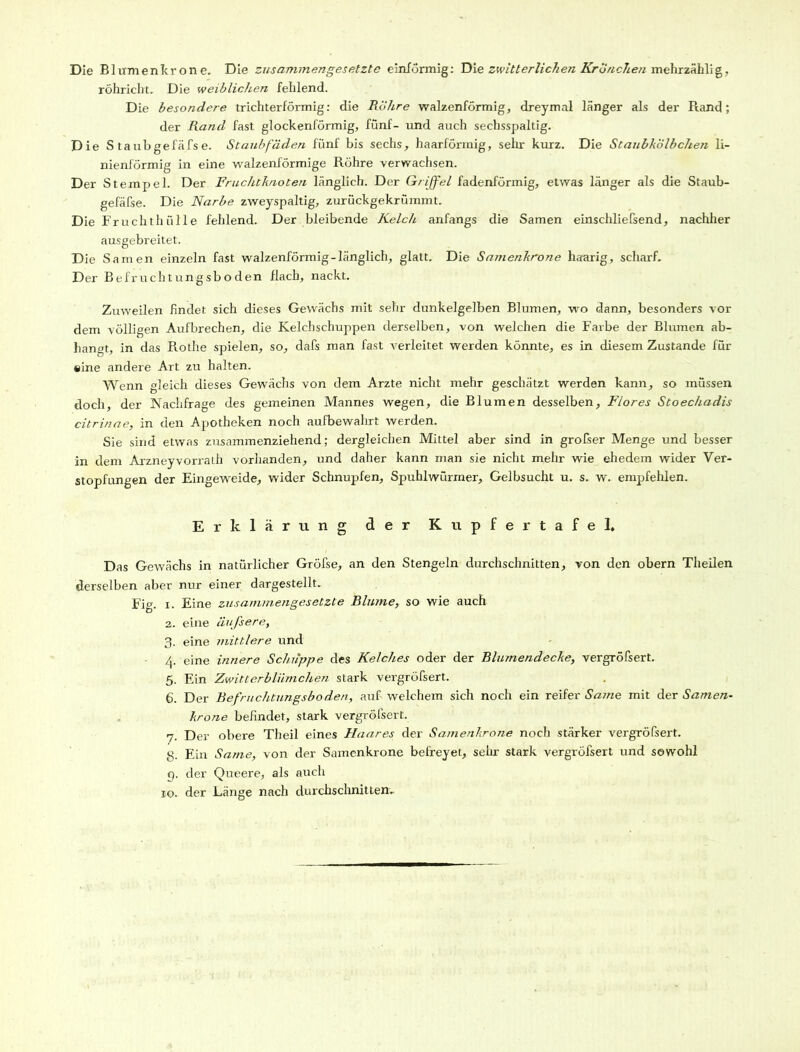 Die Blumenkrone. Die zusammengesetzte einförmig: Die zwitterlichen Kränchen mehrzäblig, röhricht. Die weiblichen fehlend. Die besondere trichterförmig: die Röhre walzenförmig, dreymal länger als der Rand; der Rand fast glockenförmig, fünf- und auch sechsspaltig. Die S taubgefäfse. Staubfäden fünf bis sechs, haarförmig, sehr kurz. Die Staubkölbchen li- nienförmig in eine walzenförmige Röhre verwachsen. Der Stempel. Der Fruchtknoten länglich. Der Griffel fadenförmig, etwas länger als die Staub- gefäße. Die Narbe zweyspaltig, zurückgekrümmt. Die Fruchthülle fehlend. Der bleibende Kelch, anfangs die Samen entschließend, nachher ausgebreitet. Die Samen einzeln fast walzenförmig-länglich, glatt. Die Samenkrone haarig, scharf. Der Befruchtungsboden flach, nackt. Zuweilen findet sich dieses Gewächs mit sehr dunkelgelben Blumen, wo dann, besonders vor dem völligen Aufbrechen, die Kelchschuppen derselben, von welchen die Farbe der Blumen ab- hangt, in das Rothe spielen, so, daß man fast verleitet werden könnte, es in diesem Zustande für «ine andere Art zu halten. Wenn gleich dieses Gewächs von dem Arzte nicht mehr geschätzt werden kann, so müssen doch, der Nachfrage des gemeinen Mannes wegen, die Blumen desselben, Flores Stoechadis citrinae, in den Apotheken noch aufbewahrt werden. Sie sind etwas zusammenziehend; dergleichen Mittel aber sind in großer Menge und besser in dem Arzneyvorrath vorhanden, und daher kann man sie nicht mehr wie ehedem wider Ver- stopfungen der Eingeweide, wider Schnupfen, Spuhlwürmer, Gelbsucht u. s. w. empfehlen. Erklärung der Kupfertafel. Das Gewächs in natürlicher Größe, an den Stengeln durchschnitten, von den obern Theilen derselben aber nur einer dargestellt. Fig. i. Eine zusammengesetzte Blume, so wie auch 2. eine äußere-, 3. eine mittlere und 4. eine innere Schuppe des Kelches oder der Blumendecke, vergrößert. 5. Ein Zwitterblümchen stark vergrößert. 6. Der Befruchtungsboden, auf welchem sich noch ein reifer Same mit der Samen- krone befindet, stark vergrößert. 7. Der obere Theil eines Haares der Samenkrone noch stärker vergrößert. g. Ein Same, von der Samenkrone befreyet, sehr stark vergrößert und sowohl g. der Queere, als auch