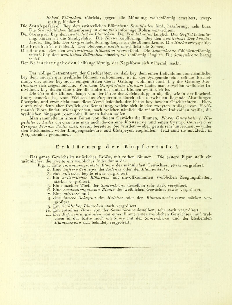 liehen Blümchen rohricht, gegen die Mündung walzenförmig erweitert, zwey- spaltig, bleibend. Die Staubgefafse. Bey den zwitterlichen Blümchen: Staubfäden fünf, haarförmig, sehr kurz. Die Staubkölbchen linienförmig in eine walzenförmige Röhre verwachsen. Der Stempef. Bey den zwitterlichen Blümchen-. Der Fruchtknoten länglich. Der Griffel fadenför- mig, kürzer als die Staubgefafse. Die Narbe kopfförmig. Bey den weiblichen: Der Frucht- knoten länglich. Der Griffel fadenförmig, länger als die Blumenkrone. Die Narbe zweyspaltig. Die Fruchthülle fehlend. Der bleibende Kelch umschliefst die Samen, Die Samen. Bey den zwitterlichen Blümchen verwerfend. Die Samenkrone fühlhörnerförmig, scharf. Bey den weiblichen Blümchen einzeln, walzenförmig länglich. Die Samenkrone haarig schief. Der Befruchtungsboden halbkugelförmig, der Kegelform sich nähernd, nackt. Das völlige Getrenntseyn der Geschlechter, so, dafs bey dem einen Individuum nur männliche, bey dem andern nur weibliche Blumen Vorkommen, ist in der Syngenesie eine seltene Erschei- nung, die, aufser bey noch einigen Arten dieser Gattung wohl nur noch bey der Gattung Par- thenium sich zeigen möchte. Von dem Gnaphalium dioicum findet man zuweilen weibliche In- dividuen, bey denen eine oder die andre der untern Blumen zwitterlich ist. Die Farbe der Blumen hangt von der Farbe der Kelchschluppen ab, die, wie in der Beschrei- bung bemerkt ist, vom Weifsen ins Purpurrothe durch alle dazwischen liegende Abstufungen übergeht, und zwar sieht man diese Verschiedenheit der Farbe bey beyden Geschlechtern. Hier- durch wird denn aber freylich der Bemerkung, welche sich in der zweyten Auflage von Hoff- mamfs Flora findet, widersprochen, nach welcher nämlich die männlichen Individuen weifse, die weiblichen hingegen rosenrothe Blumen haben sollen. Man sammelte in altern Zeiten von diesem Gewächs die Blumen, Flores Gtiaphalii s. His- pidulce s. Fedis cati, so wie man auch davon eine Konserve und einen Syrup, Conserva et Syrupus Florum Fedis cati, davon bereitete. Sie wurden — aber gewifs sehr unverdient — wider den Stickhusten, wider Lungengeschwüre und Blutspeyen empfohlen. Jetzt sind sie mit Recht in [Vergessenheit gekommen. Erklärung der Kupfertafel. Das ganze Gewächs in natürlicher Gröfse, mit rothen Blumen. Die erstere Figur stellt ein männliches, die zweite ein weibliches Individuum dar. Fig. i. Eine zusammengesetzte Blume des männlichen Gewächses, etwas vergröfsert. 2. Eine äufsere Schupfe des Kelches oder der Blumendecke, 5. eine mittlere, beyde etwas vergröfsert. 4. Ein zwitterliches Blümchen mit' unvollkommnen weiblichen Zeugungstheilen, stärker vergröfsert. 5. Ein einzelner Theil der Samenkrone desselben sehr stark vergöfsert. 6. Eine zusammengesetzte Blume des weiblichen Gewächses etwas vergröfsert. 7. Eine mittlere und y. eine innere Schuppe des Kelches oder der Blumendecke etwas stärker ver- größert. g. Ein weibliches Blümchen stark vergrößert. jo. Ein einzelnes FLaar von der Samenkrone desselben, sehr stark vergröfsert. 11. Der Bef ruchtun gsb öden von einer Blume eines weiblichen Gewächses, auf wel- chem in der Mitte noch ein Same mit der Samenkrone und der bleibenden Blumenkrone sich befindet, vergrößert.