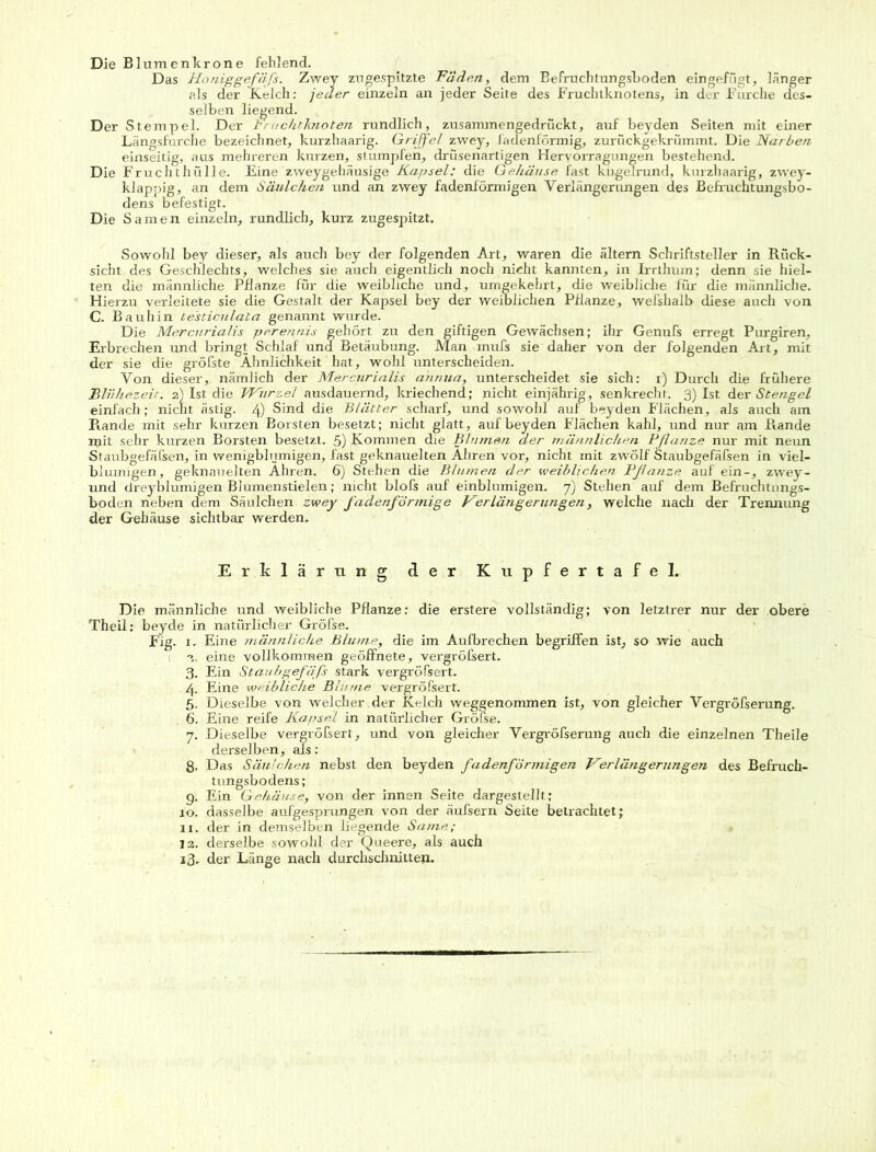 Das Ho niggefäfs. Zwey zu gespitzte Fäden, dem Befruchtungshoden eingefügt, länger als der Kelch: jeder einzeln an jeder Seite des Fruchtknotens, in der Furche des- selben liegend. Der Stempel. Der Fruchtknoten rundlich, zusammengedrückt, auf beyden Seiten mit einer Längsfurche bezeichnet, kurzhaarig. Griffel zwey, fadenförmig, zurückgekrümmt. Die Narben einseitig, aus mehreren kurzen, stumpfen, drüsenartigen Hervorragungen bestehend. Die Fruchthülle. Eine zweygehäusige Kapsel: die Gehäuse fast kugelrund, kurzhaarig, zwey- klappig, an dem Säulchen und an zwey fadenförmigen Verlängerungen des Befruchtungsbo- dens befestigt. Die Samen einzeln, rundlich, kurz zugespitzt. Sowohl bey dieser, als auch bey der folgenden Art, waren die altern Schriftsteller in Rück- sicht des Geschlechts, welches sie auch eigentlich noch nicht kannten, in Irrthum; denn sie hiel- ten die männliche Pflanze für die weibliche und, umgekehrt, die weibliche für die männliche. Hierzu verleitete sie die Gestalt der Kapsel bey der weiblichen Pflanze, wefshalb diese auch von C. Bauhin be'sticulata genannt wurde. Die Mercurialis perennis gehört zu den giftigen Gewächsen; ihr Genufs erregt Purgiren, Erbrechen und bringt Schlaf und Betäubung. Man mufs sie daher von der folgenden Art, mit der sie die gröfste Ähnlichkeit hat, wohl unterscheiden. Von dieser, nämlich der Mercurialis annua, unterscheidet sie sich: i) Durch die frühere Blühezeit. 2) Ist die Wurzel ausdauernd, kriechend; nicht einjährig, senkrecht. 3) Ist der Stengel einfach; nicnt ästig. 4) Sind die Blätter scharf, und sowohl auf beyden Flächen, als auch am Rande mit sehr kurzen Borsten besetzt; nicht glatt, auf beyden Flächen kahl, und nur am Rande mit sehr kurzen Borsten besetzt. 5) Kommen die Blumen der männlichen Pflanze nur mit neun Staubgefäfsen, in wenigblumigen, fast geknauelten Ähren vor, nicht mit zwölf Staubgefäfsen in viel- blumigen, geknauelten Ähren. 6) Stehen die Blumen der weiblichen Pflanze auf ein-, zwey- und dreyblumigen Blumenstielen; nicht blofs auf einblumigen. 7) Stehen auf dem Befruchtungs- boden neben dem Säulchen zwey fadenförmige Verlängerungen, welche nach der Trennung der Gehäuse sichtbar werden. Erklärung der Kupfertafel. Die männliche und weibliche Pflanze: die erstere vollständig; von letztrer nur der obere Theil: beyde in natürlicher Gröfse. Fig. x. Eine männliche Blume, die im Aufbrechen begriffen ist, so wie auch 1 2. eine vollkommen geöffnete, vergröfsert. 3. Ein Staubgefäß stark vergröfsert. 4. Eine weibliche Blume vergröfsert. 5. Dieselbe von welcher , der Kelch weggenommen ist, von gleicher Vergröfserung. 6. Eine reife Kapsel in natürlicher Gröfse. 7. Dieselbe vergröfsert, und von gleicher Vergröfserung auch die einzelnen Theile derselben, als: 8. Das Säulchen nebst den beyden fadenförmigen Verlängerungen des Befruch- tungsbodens; 9. Ein Gehäuse, von der innen Seite dargestellt; 10. dasselbe aufgesprungen von der äufsern Seite betxachtet; 11. der in dexnselbcn liegende Sanne; 12. derselbe sowohl der Queere, als auch