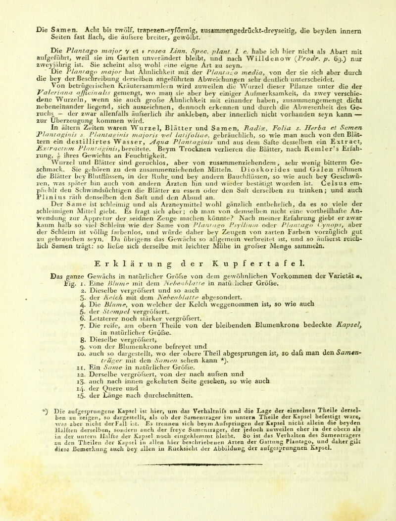 Die Samen. Acht bis zwölf, trapezen-eyförmig, zusammengedrückt-dreyseidg, die beyden innern Seiten fast flach, die äufsere breiter, gewölbt. Die Plantago major y et t rosea Linn. Spec. plant. I. c. habe ich hier nicht als Abart mit aufgeführt, weil sie im Garten unverändert bleibt, und nach Willdenow (.Prodr. p. 6g.) nur zweyjährig ist. Sie scheint also, wohl eine eigne Art zu seyn. Die Plantago major hat Ähnlichkeit mit der Plantago media, von der sie sich aber durch die bey der Beschreibung derselben angeführten Abweichungen sehr deutlich unterscheidet. Von betrügerischen Kräutersammlern wird zuweilen die Wurzel dieser Pflanze unter die der Valeriana ajficinalis gemengt, wo man sie aber bey einiger Aufmerksamkeit, da zwey verschie- dene Wurzeln, wenn sie auch grofse Ähnlichkeit mit einander haben, zusammengemengt dicht nebeneinander liegend, sich auszeichnen, dennoch erkennen und durch die Abwesenheit des Ge- ruchs — der zwar allenfalls äufserlich ihr ankleben, aber innerlich nicht vorhanden seyn kann — zur Überzeugung kommen wird. In altern Zeiten waren Wurzel, Blätter und Samen, Radix, Folia s. Herba et Semen Plant aginis s. Plant aginis majoris vel latifoliae, gebräuchlich, so wie man auch von den Blät- tern ein destillirtes Wasser, Aqua Plantaginis und aus dem Safte desselben ein Extract, Extractum Plant aginis, bereitete. Beym Trocknen verlieren die Blätter, nach Remler’s Erfah- rung, ^ ihres Gewichts an Feuchtigkeit. Wurzel und Blätter sind geruchlos, aber von zusammenziehendem, sehr wenig bitterm Ge- schmack. Sie gehören zu den zusammenziehenden Mitteln. Dioskorides und Galen rühmen die Blätter bey Blutflüssen, in der Ruhr, und bey andern Bauchflüssen, so wie auch bey Geschwü- ren, was später hin auch von andern Ärzten hin und wieder bestätigt worden ist. Celsus em- pfiehlt den Schwindsüchtigen die Blätter zu essen oder den Salt derselben zu trinken ; und auch Plinius räth denselben den Saft und den Absud an. Der Same ist schleimig und als Arzneymittel wohl gänzlich entbehrlich, da es so viele der schleimigen Mittel giebt. Es fragt sich aber; ob man von demselben nicht eine vortheilhafte An- wendung zur Appretur der seidnen Zeuge machen könnte? Nach meiner Erfahrung giebt er zwar kaum halb so viel Schleim wie der Same von Plantago Psyllium oder Plantago Cynops, aber der Schleim ist völlig farbenlos, und würde daher bey Zeugen von zarten Farben vorzüglich gut zu gebrauchen seyn. Da übrigens das Gewächs so allgemein verbreitet ist, und so äufserst reich- lich Samen trägt: so ließe sich derselbe mit leichter Muhe in großer Menge sammeln. Erklärung der Kupfertafel. Das ganze Gewächs in natürlicher Gröfse von dem gewöhnlichen Vorkommen der Varietät *, Fig. x. Eine Blume mit dem Nebenblatte in natürlicher Gröfse. 2. Dieselbe vergröfsert und so auch 3. der Kelch mit dem Neben blatte abgesondert. 4. Die Blume, von welcher der Kelch weggenommen ist, so wie auch 6. der Stempel vergröfsert.. 6. Letzterer noch stärker vergröfsert. 7. Die reife, am obern Theile von der bleibenden Blumenkrone bedeckte Kapsel in natürlicher Gröfse.. 8. Dieselbe vergrößert, g. von der Blumenkrone befreyet und xo. auch so dargestellt, wo der obere Theil abgesprungen ist, so dafs man den Samen- träger mit den Samen sehen kann *). xi. Ein Same va. natürlicher Gröfse. i(2. Derselbe vergröfsert, von der nach aufsen und 13. auch nach innen gekehrten Seite gesehen, so wie auch 14. der Quere und 15. der Länge nach durchschnitten.. *)' Die aufgesprungene Kapsel ist hier, um das Verhältnifs und die Lage der einzelnen Theile dersel- ben zu zeigen, so darg estellt, als ob der Sameniräger im untern Theile der Kapsel befestigt wäre;, was aber nicht derFall ist. Es trennen sich beym Aufspringen der Kapsel nicht allein die beyden Hälften derselben, sondern auch der freye Samenträger, der jedoch zuweilen eher in der obern als in der untern Hälfte der Kapsel noch eingeklemmt bleibt. So ist das Verhalten des Samenträgers zu den Theilen der Kapsel in allen hier beschriebenen Arten der Gattung Plantago,^ und daher gilt diese Bemerkung auch bey allen in Rücksicht der Abbildung der aufgesprungnen Kapsel.