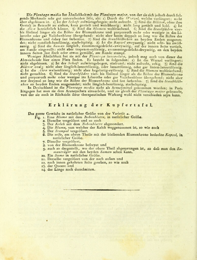Die Planlago media fiat Ähnlichkeit mit der Planlago major, von der sie sich jedoch durch fol- gende Merkmale sehr gut unterscheiden läßt, als: t) Durch die Wurzel, welche verlängert; nicht aber abgebissen ist. 2)Ist der Schaft aufwärtsgebogen; nicht aufrecht. 3) Sind die Blätter, ohne ihre Gestalt in Betracht zu ziehen, kurz gestielt und weicbhearig; nicht lang gestielt und kahl. 4) Ist die Akte beträchtlich kurzer. 5) Sind die Blumen wohlriechend. 6) Sind die Staubfäden vier- bis fünfmal länger als die Röhre der Blumenkrone und purpurroth mehr oder weniger in das Li- larothe oder gar Veilchenblaue abergehend; nicht aber kaum doppelt so lang wie die Röhre der Blumenkrone und dabey fast farbenlos. 7) Sind die Staubkölbchen an beyden Enden ausgeran- det; nicht rundlich-herzförmig, stachelspitzig. 8) Ist die Kapsel zweysamig; nicht acht- bis zwölf- samig. 9) Sind die Sarnen länglich, zusammengedrückt-zweyseitig, auf der innern Seite vertieft, am Rande eingerollt; nicht aber trapezen-eyförmig, zusammengedrückt-dreyseitig, an den beyden innern Seiten Jast flach oder etwas gewölbt, am Rande stumpf. Weniger Ähnlichkeit hat sie mit der Planta go lanceolata, jedoch mag auch von dieser das Abweichende hier einen Platz finden. Es besteht in folgenden: 1) Ist die Wurzel verlängert; nicht abgebissen. 2) Ist der Schaft aufwärtsgebogen, stielrund; nicht aufrecht, eckig. 3) Sind die Blätter oval.j nicht aber länglich-lanzettförmig, oder lanzettförmig, oder gar linien-lanzettförmig. 4) Ist die Ähre walzenförmig; nicht aber kegelartig-eyförmig. 5) Sind die Blumen wohlriechend; nicht geruchlos. 6) Sind die Staubfäden vier- bis fünfmal länger als die Röhre der Blumenkrone und purpurroth mehr oder weniger ins Lilarothe oder gar Veilchenblaue übergehend; nicht aber nur areymal so lang wie die Röhre der Blumenkrone und fast farbenlos. 7) Sind die Staubkölb- chen an beyden Enden ausgerandet; nicht länglich-herzförmig, stachelspitzig. In Deutschland ist die Plantago media nicht als Arzneymittel genommen worden; in Paris hingegen hat man sie dem Arzneyschatz einverleibt, und sie gleich der Plantago major gebraucht, von der sie auch in Rücksicht ihrer therapeutischen Wirkung wohl nicht verschieden seyn kann. Erklärung der Kupfertafel. Das ganze Gewächs in natürlicher Gröfse von der Varietät u. Fig. 1. Eine Blume mit dem Nebenblatte, in natürlicher Größe. 2. Dieselbe vergröfsert und so auch 3. Der Kelch mit dem Nebenblatte abgesondert. 4. Die Blume, von welcher der Kelch weggenommen ist, so wie auch 5- Der Stempel vergröfsert. 6. Die reife, am obei-n Theile mit der bleibenden Blumenkrone bedeckte Kapsel, ia natürlicher Gröfse. 7. Dieselbe vergröfsert, 8. von der Blumenkrone befreyet und 9. auch so dargestellt, wo der obere Theil abgesprungen ist, so dafs man den Sa- menträger mit den beyden Samen sehen kann. 10. Ein Same in natürlicher Gröfse. u. Derselbe vergröfsert von der nach aufsen und 12. nach innen gekehrten Seite gesehen, so wie auch 13. der Queere und
