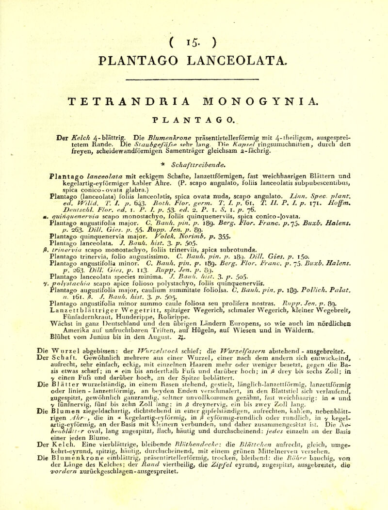 ( *5- ) PLANTAGO LANCEOLATA. TETRANDRIA MONOGYNIA. PLANTAGO. Der Kelch 4 - blättrig. Die Blnmenhrone präsentirtellerförmig mit 4-theiligem, ausgesprei- tetem Rande. Die Staubgefäß* «ehr lang. Die Kapsel ringsumschnitten, durch den freyen, scheidewandförmigen Samenträger gleichsam a-fächrig. * Schafttreibende. Plantago lanceolata mit eckigem Schafte, lanzettförmigen, fast weiehhaarigen Blättern und kegelartig-eyförmiger kahler Ähre. (P. scapo augulato, foliis lanceolatis subpubescentibus, spica conico-ovata glabra.) Plantago (lanceolata) foliis lanceolatis, spica ovata nuda, scapo angulato. Linn. Spec. plant,. ed. Willd. T. I. p. 643- Roth. Flor. germ. T. I. p. 6t. T. II. P. I. p. 171. Koffm. Deutschi. Flor. ed. 1. P. I. p. 53- ed. 2. P. I. S. I. p. 76. m. quinquenervia scapo monostachyo, foliis quinquenerviis, spica conico-|ovata. Plantago augustifolia major. C. Bquh. pin. p. 189. Berg. Flor. Franc, p. 73. Buxb. Halens. p. 263. Dill. Gies. p. 55- Hupp. Jen. p. 8g. Plantago quinquenervia major. Volck. Norimb, p. 355' Plantago lanceolata. J. Bauh. hist. 3. p- 5o5. ß. trinervia scapo monostachyo, foliis trinerviis, spica subrotunda. Plantago trinervia, folio augustissimo. C. Bauh. pin. p. 189. Dill. Gies. p. l5<>. Plantago angustifolia minor. C. Bauh. pin. p. 189. Berg. Flor. Franc, p. 75. Buxb. Halens. p. 263. Dill. Gies. p. 113 Rupp. Jen. p. 8g. Plantago lanceolata species minima. J. Bauh. hist. 3. p. 5o5- y. polystachia scapo apice folioso polystachyo, foliis quinquenerviis. Plantago augustifolia major, caulium summitate foliolsa. C. Bauh. pin. p. 189. Pollich. Palat. n. 161. ß. ./. Bauh. hist. 3. p- 505. Plantago angustifolia minor summo caule foliosa seu prolifera nostras. Rupp. Jen. p. 8g. Lanzettblättriger Wegetritt, spitziger Wegerich, schmaler Wegerich, kleiner Wegebreit, Fünfadernkraut, Hunderippe, Rofsrippe. Wächst in ganz Deutschland und den übrigen Ländern Europens, so wie auch im nördlichen Amerika auf unfruchtbaren Triften, auf Hügeln, auf Wiesen und in Wäldern. Blühet vom Junius bis in den August. 2j.. Die Wurzel abgebissen: der Wurzelstock schief; die Wurzelfasern abstehend - ausgebreitet. Der Schaft. Gewöhnlich mehrere aus einer Wurzel, einer nach dem andern sich entwickelnd, aufrecht, sehr einfach, eckig, mit einzelnen Haaren mehr oder weniger besetzt,, gegen die Ba- sis etwas scharf; in <* ein bis anderthalb Fufs und darüber hoch; in ß drey bis sechs Zoll; in v einen Fufs und darüber hoch, an der Spitze beblättert. Die Blätter wurzelständig, in einem Rasen stehend, gestielt, länglich-lanzettförmig, lanzettförmig oder linien - lanzettförmig, an beyden Enden verschmälert, in den Blattstiel sich verlaufend, zugespitzt, gewöhnlich ganzrandig, seltner unvollkommen gezähnt, fast weichhaarig: in « und V fünfnervig, fünf bis zehn Zoll lang; in ß dreynervig, ein bis zwey Zoll lang. Die Blumen ziegeldachartig, dichtstehend in einer gipfelständigen, aufrechten, kahlen, nebenblätt- rigen Ähre, die in « kegelartig-eyförmig, in ß eyförmig-rundlich oder rundlich, in y kegel- artig-eyförmig, an der Basis mit kleinern verbunden, und daher zusammengesetzt ist. Die i\e- benblätter oval, lang zugespitzt, flach, häutig und durchscheinend: jedes einzeln an der Basis einer jeden Blume. Der Kelch. Eine vierblättrige, bleibende Rlnthendecke: die Blättchen aufrecht, gleich, umge- kehrt-eyrund, spitzig, häutig, durchscheinend, mit einem grünen Mittelnerven versehen. Die Blumenkrone einblättrig, präsentirtellerförmig, trocken, bleibend: die Röhre bauchig, von der Länge des Kelches; der Rand viertheilig, die Zipfel eyrund, zugespitzt, ausgebreitet, die vordem zurückgeschlagen-ausgespreitet.